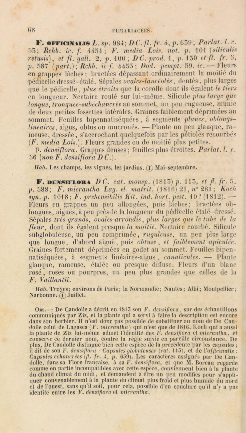 F. oFFirivtMS L. sp. 981; DC. fl. fr. 1, p. 659 ; Parlai. I. c. 55; Rchb. ic. f. 4151; F. media Lois. not. p. 101 (siliculis rctusis), et fl. gall. 2, p. 100 ; DC.prod. 1, p. 150 et fl. fr. 5, p. 587 (pari.); Rchb. ic f. 1455; Dod. pempt. 59, ic.— Fleurs en grappes lâches; bractées dépassant ordinairement la moitié du pédicclledressé-étalé. Sépales ovalcs-lancéolês, dentés, plus larges que le pédicclle, plus étroits que la corolle dont ils égalent le fiers en longueur. Nectaire roulé sur lui-même. Silicule plus large que longue, tronquéc-subéchancrée au sommet, un peu rugueuse, munie de deux petites fossettes latérales. Graines faiblement déprimées au sommet. Feuilles bipennaliséquées , à segments planes, oblongs- linéaires, aigus, obtus ou mucronés. —Plante un peu glauque, ra- meuse, dressée, s’accrochant quelquefois parles pétioles recourbés (F. media Lois.). Fleurs grandes ou de moitié plus petites. p. densiflora. Grappes denses; feuilles plus étroites. Parlât. I. c. 56 (non F. densiflora DC.). Ilab. Les champs, les vignes, les jardins, i Mai-septembre. F. oeksifi.ora DC. cat. monsp. (1815) p. 1 15, et f. fr. 5, p. 588; F. micrantha Lag. cl. matrit. (1816) 21, n° 28J ; Koch syn. p. 1018; F. prehensibilis Kit. ind. hort. pest. 10? (1812). — Fleurs en grappes un peu allongées, puis lâches; bractées ob- longues, aiguës, à peu près de la longueur du pédicclle étalé-dressé. Sépales très-grands, ovales-arrondis, plus larges que le tube de la fleur, dont ils égalent presque la moitié. Nectaire courbé. Silicule subglobulcuse, un peu comprimée, ruguleuse, un peu plus large que longue, d’abord aiguë, puis obtuse, et faiblement apiculée. Graines fortement déprimées en godet au sommet. Feuilles bipen- natiséquées, à segments linéaires-aigus , canaliculés. — Plante glauque, rameuse, étalée ou presque dilTuse. Fleurs d’un blanc rosé, roses ou pourpres, un peu plus grandes que celles de la F. Vaillantii. Ilab. Troyes; environs de Paris; la Normandie; Nantes; Albi ; Montpellier: Narbonne. (T) Juillet. Ons.— De Candolle a décrit en 1815 son F. densiflora , sur des échantillons communiqués par Ziz, et la plante qui a servi à faire la description est encore dans son herbier. Il n’est donc pas possible de substituer au nom de De Can- dolle celui de Lagasca (F. micrantha) qui n'est que de 1810. Koch qui a aussi la plante de Ziz lui-même admet l'identité des F. densiflora et micrantha, et conserve ce dernier nom, contre la règle suivie en pareille circonstance. De plus, De Candolle distingue bien cette espèce de la précédente par les capsules; il dit de son F. densiflora : Capsules globuleuses [rat. 115), et de Voffieinalis : Capsules échancrees (fl. fr. p. 659). Les caractères assignés par De Cau- dolle, dans sa Flore française, à sa F. densiflora, et que M. Bureau regarde comme en partie incompatibles avec cette espèce, conviennent bien à la plante du chaud climat du midi, et demandent à être un peu modifiés pour s’appli- quer convenablement à la plante du climat plus froid et plus humide du nord et de l'ouest, sans qu’il soit, pour cela, possible d'en conclure qu'il n’y a pas identité entre les F. densiflora et micrantha.