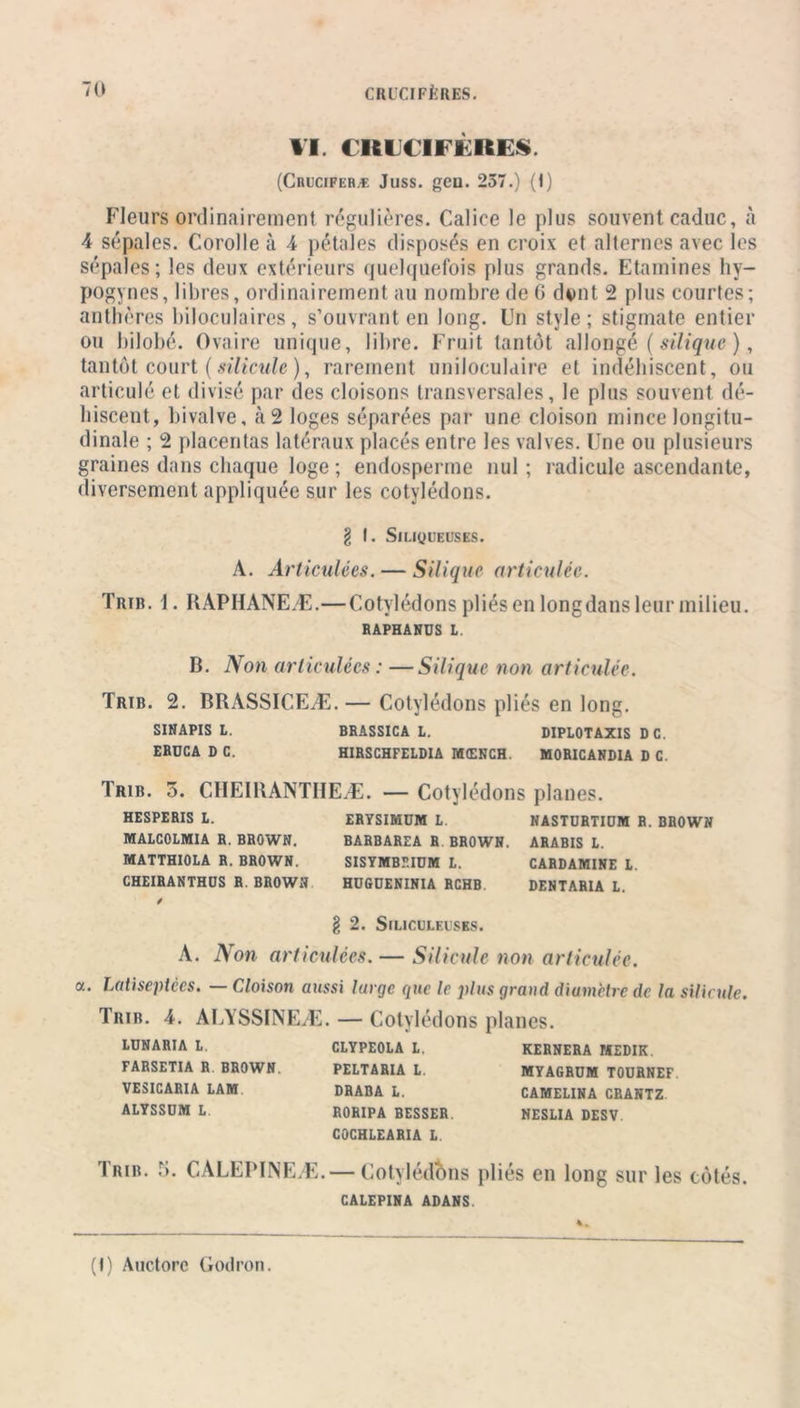 VI (ItLCIFÈRES (Cruciferæ Juss. gcu. 257.) (I) Fleurs ordinairement régulières. Calice le plus souvent caduc, à 4 sépales. Corolle à 4 pétales disposés en croix et alternes avec les sépales; les deux extérieurs quelquefois plus grands. Etamines hy- pogynes, libres, ordinairement au nombre de G d*mt 2 plus courtes; anthères biloculaires, s’ouvrant en long. Un style; stigmate entier ou bilobé. Ovaire unique, libre. Fruit tantôt allongé ( silique ), tantôt court ( silicide ), rarement uniloculaire et indéhiscent, ou articulé et divisé par des cloisons transversales, le plus souvent dé- hiscent, bivalve, à 2 loges séparées par une cloison mince longitu- dinale ; 2 placentas latéraux placés entre les valves. Une ou plusieurs graines dans chaque loge ; endosperme nul ; radicule ascendante, diversement appliquée sur les cotylédons. I f. SlLiyUEUSES. A. Articulées. — Silique articulée. Trib. 1. KAPHANEÆ.—Cotylédons pliés en longdans leur milieu. RAPHANDS L. B. Non articulées : —Silique non articulée. Trib. 2. BRASSICEÆ. — Cotylédons pliés en long. SINAPIS L. BRASSICA L. DIPLOTAXIS DC. ERDCA D C. HIRSCHFELDIA MtENCH. MORICANDIA D C. Trib. 3. C1IEIRANTIIEÆ. — Cotylédons planes. HESPERIS L. ERYSIMÜM L. NASTURTIUM R. BROWN MALCOLMIA R. BROWN. BARBAREA R BROWN. ARABIS L. MATTHIOLA R. BROWN. SISYMBEIÜM L. CARDAMINE L. CHEIRANTHÜS R. BROWN HUGUENINIA RCHB DENTARIA L. / a. § 2. SlLICULElSKS. A. Non articulées. — Siliculc non articulée. Latiseptccs. Cloison aussi lurgc que le plus graud diamètre de la silicule. Trib. 4. AUYSSINEÆ. — Cotylédons planes. LUNARIA L. FARSETIA R BROWN VESICARIA LAM ALYSSUM L CLYPEOLA L. PELTARIA L. DRABA L. RORIPA BESSER COCHLEARIA L. KERNERA MEDIK. MYAGRUM TOURNEF. CAMELINA CRANTZ NESLIA DESV Trib. 5. CALEPINEÆ.— Cotylédons pliés en long sur les côtés. CALEPINA ADANS 4 . (t) Auctore Godron.