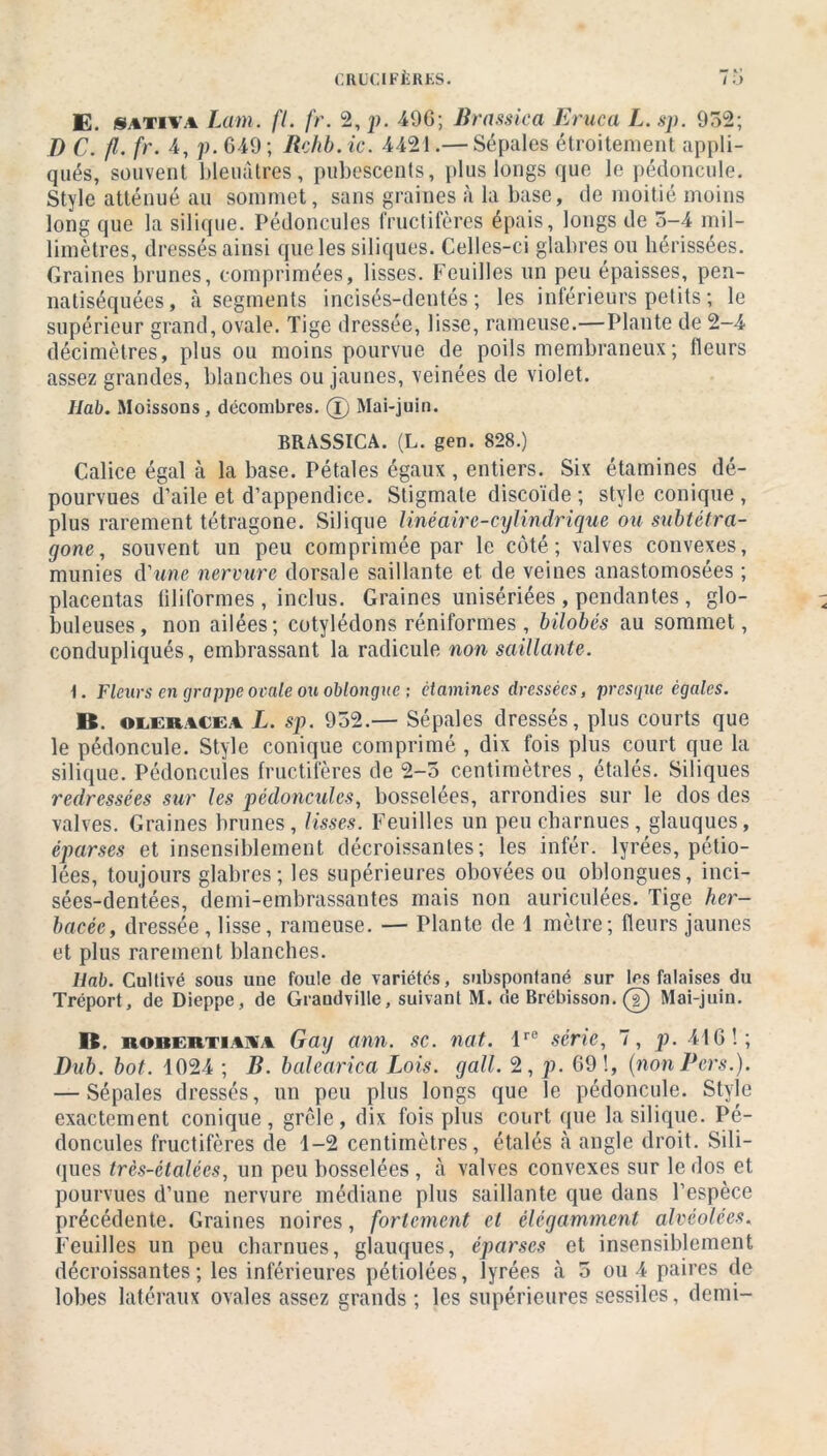 E. siTivi Lam. fl. fr. 2,]). 496; Brassica Eruca L.sp. 952; D C. fl. fr. 4, p. 649 ; Rchb. ic. 4421.— Sépales étroitement appli- qués, souvent bleuâtres, pubescents, plus longs que le pédoncule. Style atténué au sommet, sans graines à la base, de moitié moins long que la silique. Pédoncules fructifères épais, longs de 5-4 mil- limètres, dressés ainsi que les siliques. Celles-ci glabres ou hérissées. Graines brunes, comprimées, lisses. Feuilles un peu épaisses, pen- natiséquées, à segments incisés-dentés ; les inférieurs petits ; le supérieur grand, ovale. Tige dressée, lisse, rameuse.—Plante de 2-4 décimètres, plus ou moins pourvue de poils membraneux ; fleurs assez grandes, blanches ou jaunes, veinées de violet. Hab. Moissons, décombres. (T) Mai-juin. BRASSICA. (L. gen. 828.) Calice égal à la base. Pétales égaux, entiers. Six étamines dé- pourvues d’aile et d’appendice. Stigmate discoïde ; style conique , plus rarement tétragone. Silique liné aire-cylindrique ou subtétra- gone, souvent un peu comprimée par le côté; valves convexes, munies d'une nervure dorsale saillante et de veines anastomosées ; placentas filiformes , inclus. Graines unisériées , pendantes , glo- buleuses, non ailées; cotylédons réniformes, bilobés au sommet, condupliqués, embrassant la radicule non saillante. \. Fleurs en grappe ovale ouoblongue ; étamines dressées, presque égales. B. oleracea L. sp. 952.— Sépales dressés, plus courts que le pédoncule. Style conique comprimé , dix fois plus court que la silique. Pédoncules fructifères de 2-5 centimètres, étalés. Siliques redressées sur les pédoncules, bosselées, arrondies sur le dos des valves. Graines brunes, lisses. Feuilles un peu charnues, glauques, éparses et insensiblement décroissantes; les infér. lyrées, pétio- lées, toujours glabres; les supérieures obovées ou oblongues, inci- sées-dentées, demi-embrassantes mais non auriculées. Tige her- bacée, dressée , lisse, rameuse. — Plante de 1 mètre; fleurs jaunes et plus rarement blanches. Hab. Cultivé sous une foule de variétés, subspontané sur les falaises du Tréport, de Dieppe, de Graudville, suivant M. de Brébisson. (T) Mai-juin. B. robertiaa'a Gag ami. sc. nat. lre série, 7, p. 416!; Dub. bot. 1024 ; B. balearica Lois. gall. 2, p. 69!, (non Bers.). — Sépales dressés, un peu plus longs que le pédoncule. Style exactement conique, grêle, dix fois plus court que la silique. Pé- doncules fructifères de 1-2 centimètres, étalés à angle droit. Sili- ques très-ctalécs, un peu bosselées , à valves convexes sur le dos et pourvues d’une nervure médiane plus saillante que dans l’espèce précédente. Graines noires, fortement et élégamment alvéolées. Feuilles un peu charnues, glauques, éparses et insensiblement décroissantes; les inférieures pétiolées, lyrées à 5 ou 4 paires de lobes latéraux ovales assez grands ; les supérieures sessiles, demi-