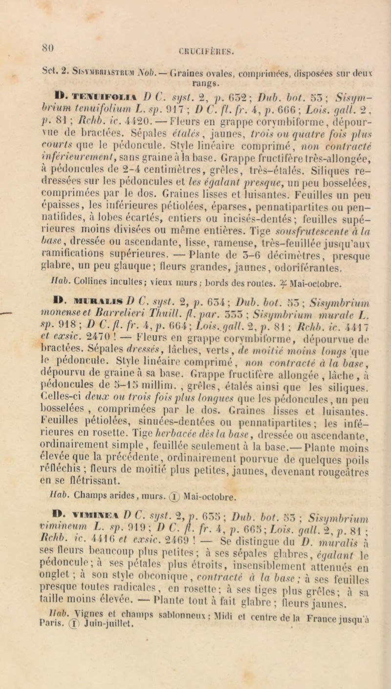 CKOCIFtllKS. Set. 2. Si.sy.miuu vsTiti.M Xob. — Graines ovales, comprimées, disposées sur deux rangs. II. Ti:\i iioij \ DC. s y.si. 2, p. 652; Pub. bot. 55; Sis y n i- brium tenuifolium L. sp. 917 ; l) C. fl. fr. 4, p. 606 ; Lois. gaÜ. 2 . p. SI ; Rchb. ic. 4420. — Fleurs en grappe corymbiforme, dépour- vue de bractées. Sépales étalés, jaunes, trois au quatre, fois plus courts que le pédoncule. Style linéaire comprimé, non contracté inférieurement, sans graine à la base. Grappe fructifère très-allongée, à pédoncules de 2-4 centimètres, grêles, très—étalés. Siliques re- dressées sur les pédoncules et les égalant presque, un peu bosselées, comprimées par le dos. Graines lisses et luisantes. Feuilles un peu épaisses, les inférieures pétiolées, éparses, pennatipartites ou pen- natilides, a lobes écartés, entiers ou incisés-dentés; feuilles supé- rieures moins divisées ou même entières. Tige sousfrutesccnte à la base, dressée ou ascendante, lisse, rameuse, très—feuillée jusqu’aux ramifications supérieures. —Plante de 5-6 décimètres, presque glabre, un peu glauque; fleurs grandes, jaunes, odoriférantes. Ilab. Collines incultes; vieux murs; bords des roules. ^Mai-octobre. O. ihiiraijs P C. syst. 2, p. 654; l)ub. bot. 55; Sisymbrium monenseet Barrelieri Thuill. fl. par. 555 ; Sisymbrium murale /.. sp. 918 ; D C.fl. fr. i, p. 004; Lois.gaU. 2, p. 81 ; Rchb. ic. 4417 et cocsic. 2470 1 — Meurs en grappe corymbiforme, dépourvue de bractées. Sepales dresses, lâches, verts, de, moitié moins longs qui* le pédoncule. Style linéaire comprimé, non contracté à la base, dépourvu de graine à sa base. Grappe fructifère allongée , lâche , à pédoncules de 5—15 millirn. , grêles, étalés ainsi que les siliques. Celles-ci deux ou trois fois plus longues que les pédoncules, un peu bosselées ^comprimées par le dos. Graines lisses et luisantes. Feuilles pétiolées, sinuées-dentées ou pennatipartites; les infé- rieures en rosette, lige herbacée dés la base, dressée ou ascendante, ordinairement simple, fouillée seulement à la base.— Plante moins elevee que la précédente, ordinairement pourvue de quelques poils réfléchis ; fleurs de moitié plus petites, jaunes, devenant rougeâtres en se flétrissant. Ilab. Champs arides, murs. (T) Mai-octobre. » timwea I) C. syst. 2, p. 655 ; Pub. bot. 55 ; Sisymbrium vimmeum L. sp. 919; P C. fl. fr. 4, p. 605; W gall. 2, p. 81 ; Rchb. ic. 4410 et c.rsic. 2409 ! — Se distingue du I). muralis à ses fleurs beaucoup plus petites ; à scs sépales glabres, égalant le pédoncule; a ses pétales plus étroits, insensiblement atténués en onglet ; a son style obeonique, contracté à la base; à ses feuilles presque toutes radicales, en rosette; à ses tiges plus grêles’ à si taille moins élevée. — Plante tout à fait glabre ; fleurs jaunes ‘ P»f0i!in-je„i.uïf'”PS Sabl°nne5;Mi,li « France jusqu'i’l