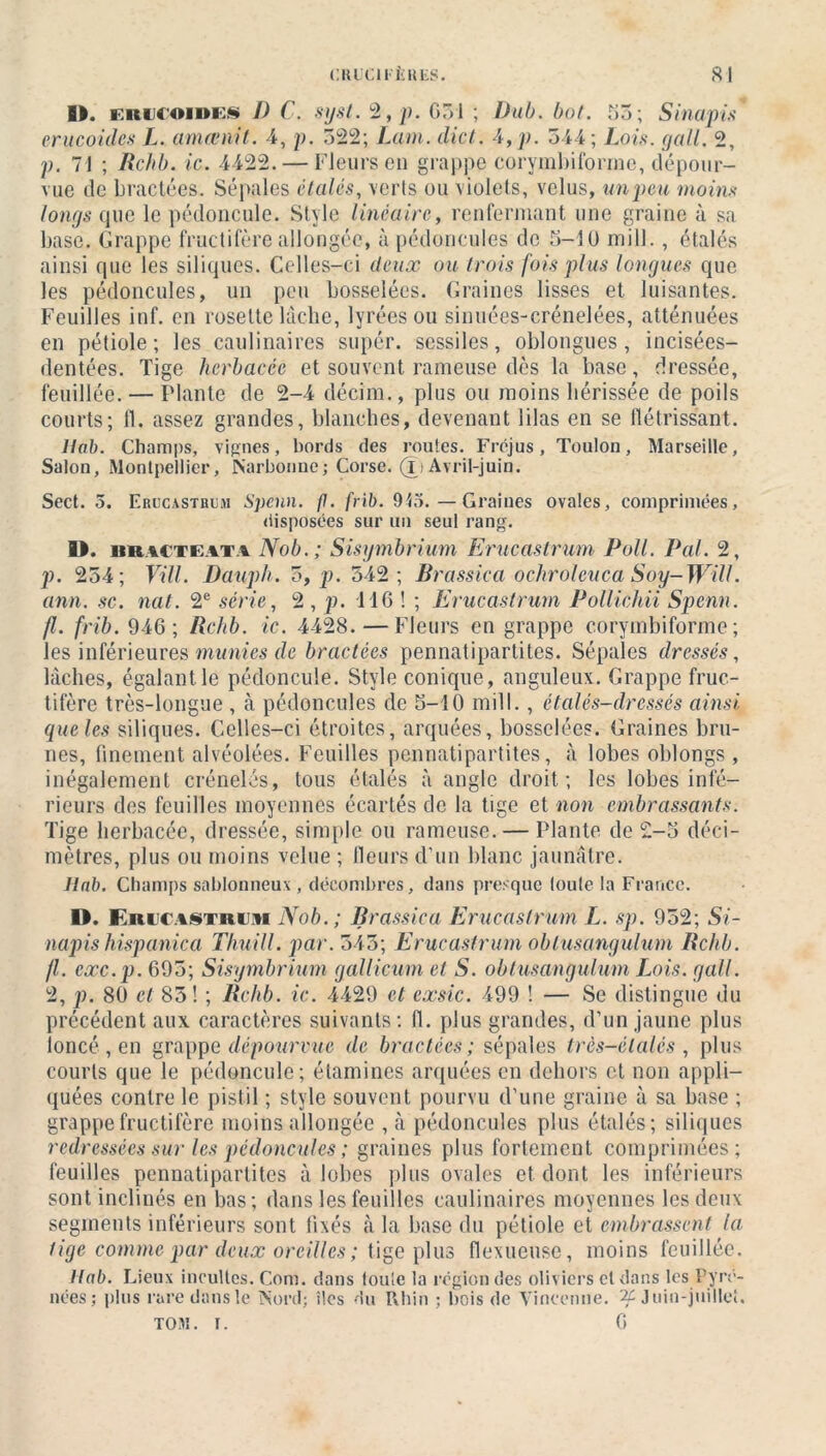 1). i:ni(oi»i:§ I) C. syst. 2, p. GT> 1 ; Dub. bot. 55; S inapis erucoiilcs L. amœnit. 4, p. 522; Lam. dict. 4, p. 544; Lois, g ail. 2, p. 71 ; Rchb. ic. 4422. — Fleurs en grappe corymbiforme, dépour- vue de bractées. Sépales étalés, verts ou violets, velus, un peu moins longs que le pédoncule. Style linéaire, renfermant une graine à sa base. Grappe fructifère allongée, à pédoncules de 5-1 ü mil!., étalés ainsi que les siliques. Celles-ci deux ou trois fois plus longues que les pédoncules, un peu bosselées. Graines lisses et luisantes. Feuilles inf. en rosette lâche, lyrées ou sinuées-crénelées, atténuées en pétiole; les caulinaires supér. scssiles, oblongues, incisées- dentées. Tige herbacée et souvent rameuse dès la base, dressée, feuillée. — Plante de 2-4 décim., plus ou moins hérissée de poils courts; fl. assez grandes, blanches, devenant lilas en se flétrissant. ltab. Champs, vignes, bords des routes. Fréjus, Toulon, Marseille, Salon, Montpellier, Narbonne ; Corse. (î) Avril-juin. Sect. 5. Erucastrum Spcnn. fl. frib. 9t5.—Graines ovales, comprimées, disposées sur un seul rang. D. iir.acteata Nob.; Sisymbrium Erucastrum Poil. Pal. 2, p. 254; Vill. Dauph. 5, p. 542; Brassica ochroleuca,Soy-Will. ann. sc. nat. 2e série, 2, p. 116 ! ; Erucastrum Pollichii Spenn. fl. frib. 946; Rchb. ic. 4428.—Fleurs en grappe corymbiforme ; les inférieures munies de bractées pennatipartites. Sépales dressés, lâches, égalant le pédoncule. Style conique, anguleux. Grappe fruc- tifère très-longue , à pédoncules de 5-10 mill., étalés-dressés ainsi que les siliques. Celles-ci étroites, arquées, bosselées. Graines bru- nes, finement alvéolées. Feuilles pennatipartites, à lobes oblongs , inégalement crénelés, tous étalés à angle droit; les lobes infé- rieurs des feuilles moyennes écartés de la tige et non embrassants. Tige herbacée, dressée, simple ou rameuse. — Plante de 2-5 déci- mètres, plus ou moins velue ; fleurs d’un blanc jaunâtre. ltab. Champs sablonneux, décombres, dans presque loule la France. D. FitLiASiiuvi Nob.; Brassica Erucastrum L. sp. 952; Si- napis hispanica Thuill. par. 545; Erucastrum oblusangulum Rchb. fl. cxc.p. 695; Sisymbrium gallicum et S. obtusangulum Lois. gall. 2, p. 80 et 85 ! ; Rchb. ic. 4429 et cxsic. 499 ! — Se distingue du précédent aux caractères suivants; fl. plus grandes, d’un jaune plus ioncé, en grappe dépourvue de bractées; sépales très-élalés , plus courts que le pédoncule; étamines arquées en dehors et non appli- quées contre le pistil ; style souvent pourvu d’une graine à sa base ; grappe fructifère moins allongée , à pédoncules plus étalés; siliques redressées sur les pédoncules ; graines plus fortement comprimées; feuilles pennatipartites à lobes plus ovales et dont les inférieurs sont inclinés en bas; dans les feuilles caulinaires moyennes les deux segments inférieurs sont fixés à la base du pétiole et embrassent la tige comme par deux oreilles ; tige plus fiexueuse, moins feuillée. ltab. Lieux incultes. Com. dans toute la région des oliviers et dans les Pyré- nées; plus rare dans le Nord; îles du Rhin ; bois de Vincenne. 2C Juin-juillet.