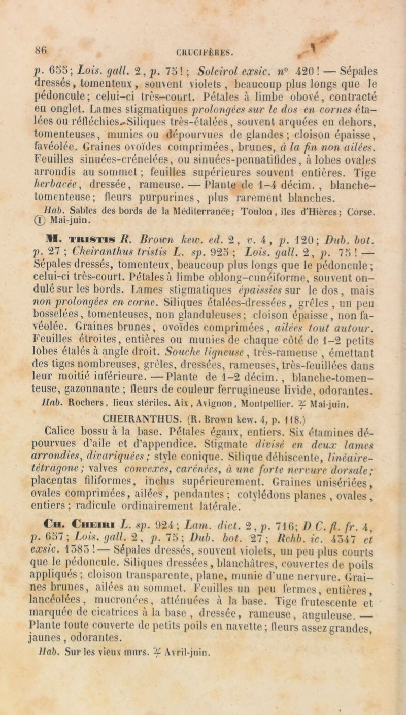 CHlCIFjÈRKS. f. 655; Lois. gall. 2, p. 75! ; Soleirol exsic. n° 420! — Sépales dressés, tomenteux, souvent violets, beaucoup plus longs que le pédoncule; celui-ci très-court. Pétales à limbe obové, contracté en onglet. Lames stigmaliques 'prolongées sur le dos en cornes éta- lées ou réllécliies^Siliques très-étalées, souvent arquées en dehors, tomenteuses, munies ou dépourvues de glandes ; cloison épaisse, lavéolée. Graines ovoïdes comprimées, brunes, « la fin non ailées. Feuilles sinuées-crénelées, ou sinuées-penuatilides, à lobes ovales arrondis au sommet ; feuilles supérieures souvent entières. Tige herbacée, dressée, rameuse. — Plante de 1-4 décim. , blanche- tomenteuse; lleurs purpurines, plus rarement blanches. liai). Sables des bords de la Méditerranée; Toulon, iles d’Hières; Corse. (T) Mai-juin. »■. tristis IL Brown kew. ed. 2, v. 4, p. 120; Dub. bot. p. 27 ; Cheiranthus tristis L. sp. 925 ; Lois. gall. 2, p. 75 ! — Sépales dressés, tomenteux, beaucoup plus longs que le pédoncule; celui-ci très-court. Pétales à limbe oblong-cunéiforme, souvent on- dulé sur les bords. Lames stigmaliques épaissies sur le dos, mais non prolongées encorne. Siliques étalées-dressées , grêles, un peu bosselées, tomenteuses, non glanduleuses; cloison épaisse, non Al- véolée. Graines brunes, ovoïdes comprimées, ailées tout autour. Feuilles étroites, entières ou munies de chaque coté de 1-2 petits lobes étalés ci angle droit. Souche ligneuse , très-rameuse , émettant des tiges nombreuses, grêles, dressées, rameuses, très-feuillées dans leur moitié inférieure.—Plante de 1-2 décim., blanche-tomen- teuse, gazonnante; lleurs de couleur ferrugineuse livide, odorantes. llnb. Rochers, lieux stériles. Aix, Avignon, Montpellier. if Mai-juin. CHEIRANTHUS. (R. Brown kew. 4, p. 118.) Calice bossu à la base. Pétales égaux, entiers. Six étamines dé- pourvues d’aile et d’appendice. Stigmate divisé en deux lames arrondies, divariquées ; style conique. Silique déhiscente, linéairc- tétragone; valves convexes, carénées, à une forte nervure dorsale; placentas filiformes, inclus supérieurement. Graines unisériées, ovales comprimées, ailées , pendantes ; cotylédons planes , ovales , entiers; radicule ordinairement latérale. du. Ciieiri L. sp. 924; Lam. dict. 2, p. 71 G; D C. fl. fr. 4, p. 657 ; Lois. gall. 2, p.l5\I)ub. bol. 27; Rchb. ic. 4547 et exsic. 1585 !— Sépales dressés, souvent violets, un peu plus courts que le pédoncule. Siliques dressées, blanchâtres, couvertes de poils appliqués; cloison transparente, plane, munie d’une nervure. Grai- nes brunes, ailées au sommet. Feuilles un peu fermes, entières, lancéolées, mucronées, atténuées à la base. Tige frutescente et marquée de cicatrices à la base , dressée, rameuse, anguleuse. Plante toute couverte de petits poils en navette; Heurs assez grandes jaunes, odorantes. llab. Sur les vieux murs, Avril-juin.