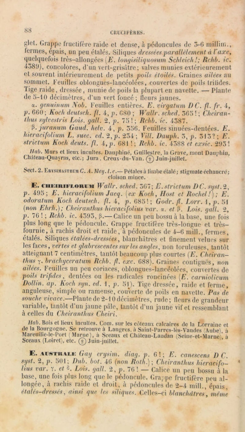glet. Grappe fructifère raide et dense, à pédoncules de 5-0 millim., termes, épais, un peu étalés. Siliques dressées parallèlement à l'axe, quelquefois très-allongées (E. longisiliquosum Schleich!; Re/ib. ic. T389), coneolores, d’un vert-grisâtre; valves munies extérieurement et souvent intérieurement de petits poils étoilés. Graines ailées au sommet. Feuilles oblongues-lancéolees, couvertes de poils triiides. Tige raide, dressée, munie de poils la plupart en navette. — Plante de 5-10 décimètres, d’un vert foncé; Ileurs jaunes. a. gcnuinum Nob. Feuilles entières. E. virgatum DC. fl. fr. 4, V- 000 ; Koch deutsch. fl. 4, p. 080 ; Wallr. sched. 305 ! ; Cheiran- thus s y Iv es Iris Lois. gall. 2, p. 75 ! ; Rchb. ic. 4387. P* juranum Gaud. helv. 4, p. 550. Feuilles sinuées-dentées. E. hieracifolium L. suec. ed. 2,p. 234; Vill. Dauph. 3, p. 515?; E. strictum Koch deuts. fl. 4,p. 081 ! ; Rchb. ic. 4388 et exsic. 293! Ilub. Murs et lieux incultes. Dauphiné, Guillestre, la Grave, mont Dauphin, Chàteau-Quayras, etc.; Jura , Creux-du-Van. (?) Juin-juillet. i>ecf. 2. Ehysimastrum C. A. Meij. I. c.— Pétales à limbe étalé; stigmate écliancré; cloison mince. E. cheiriflorihm Wallr. sched. 507; E. strictum DC. syst. 2, p. 495; E. hieracifolium Jacq. (ex Koch, Host et Roche/!); E. odoratum Koch deutsch. fl. 4, p. 085!; Godr. /I. Lorr. 1, p. 51 (non Ehrh.); Cheiranthus hieracifolius var. a. et P. Lois. gall. 2, p. 70 ! ; Rchb. ic. 4595, p.— Calice un peu bossu à la base, une fois plus long que le pédoncule. Grappe fructifère très-longue et très- fournie, à rachis droit et raide, à pédoncules de 4-0 mill., fermes, étalés. Siliques élalées-dcessées, blanchâtres et finement velues sur les faces, veYtes et glabrescentcs sur les angles, non tondeuses, tantôt atteignant 7 centimètres, tantôt beaucoup plus courtes (E. Cheiran- thus y. brachyceratum Rchb. fl. cxc. G88). Graines contiguës, non ailées. Feuilles un peu coriaces, oblongues-lancéolées, couvertes de poils trifides, dentées ou les radicales roncinées (E. carniolicum Dollin. ap. Koch syn. ed. 1, p. 51j. Tige dressée, raide et ferme, anguleuse, simple ou rameuse, couverte de poils en navette. Pas de souche vivace.^—Plante de 2-10 décimètres, rude; fleurs de grandeur variable, tantôt d’un jaune pâle, tantôt d’un jaune vif et ressemblant à celles du Cheiranthus Cheiri. liai). Bois cl lieux incultes. Corn, sur les coteaux calcaires de la Lorraine cl de la Bourgogne. Se retrouve à Langres. à Saint-Parrcs-los-Vandes (Aube), à Mareuille-Ie-Port (Manie), à Sceaux et Chàleau-Landan (Seine-et-Marue à Sceaux (Loiret), etc. (?) Juin-juillet. E. australe Gay crysim. diag. p. 0!; E. canescens DC. syst. 2, p. 501; Dub. bot. 40 (non Roth; ( liciranthus hieracifo— lius var. y. et *. Lois. gall. 2, p. 70 ! — Calice un peu bossu à la base, une fois plus long que le pédoncule. Grappe fructifère peu al- longée, à rachis raide et droit, à pédoncules de 2-4 mill., épais, étalés-dcessés, ainsi que les siliques. Celles-ci blanchâtres, meme