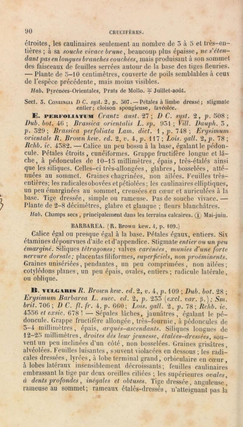 étroites, les caulinaires seulement au nombre de 5 à 5 et très-en- tières ; à sa souche vivace brune, beaucoup plus épaisse, ne s'éten- dant pas en longues branches couchées, mais produisant à son sommet des faisceaux de feuilles serrées autour de la base des tiges fleuries. — Plante de 5-10 centimètres, couverte de poils semblables à ceux de l'espèce précédente, mais moins visibles. liai. Pyrénées-Orientales, Frais de Mollo. ^Juillet-août. Sect. 3. CoiMUNciA D C. syst. 2, p. 507. —Pétales à limbe dressé; stigmate entier; cloison spongieuse, tavéolée. E. «*kiu oi,i \ti m Crantz aust. 27; I) C. syst. 2, p. 508; JJub. bot. 40 ; Brassica orientalis L. sp. 951 ; Vill. Dauph. 5 , p. 529 ; Brassica perfoliata Lam. dict. i , p. 748 ; Erysimum orientale B. Brown kew. ed. 2, v. 4, p. 117 ; Lois. gall. 2, p. 78 ; Bchb. ic. 4582. — Calice un peu bossu à la base, égalant le pédon- cule. Pétales étroits , cunéiformes. Grappe fructifère longue et lâ- che, à pédoncules de 10-15 millimètres, épais, très-étalés ainsi que les siliques. Celles-ci très-allongées, glabres, bosselées, atté- nuées au sommet. Graines chagrinées, non ailées. Feuilles très- entières; les radicales obovées etpétiolées; les caulinaires elliptiques, un peu étnarginées au sommet, creusées en cœur et auriculées à la base. Tige dressée, simple ou rameuse. Pas de souche vivace.— Plante de 2-8 décimètres, glabre et glauque ; fleurs blanchâtres. ltab. Champs secs, principalement dans les terrains calcaires, (jj Mai-juin. BARBAREA. (R. Brown kew. 4, p. 109.) Calice égal ou presque égal à la base. Pétales égaux, entiers. Six étamines dépourvues d’aile et d’appendice. Stigmate entier ou un peu émarginc. Siliques tètragones; valves carénées, munies d'une forte nervure dorsale ; placentas filiformes, superficiels, non proéminents. Graines unisériées, pendantes, un peu comprimées, non ailées; cotylédons planes, un peu épais, ovales, entiers; radicule latérale, ou oblique. I*. vvLemis B. Brown kew. ed. 2, v. 4, p. 109 ; Dub. bot. 28 ; Erysimum Barbarea L. suce. ed. 2, p. 255 [excl. var. p.); Sm. brit. 70G; I) C. fl. fr. 4, p. 660; Lois. gall. 2, p. 78; Bchb. ic. 4556 et eœsic. 678 ! — Sépales lâches, jaunâtres, égalant le pé- doncule. Grappe fructifère allongée, très-fournie, à pédoncules de 5-4 millimètres, épais, arqués-asccndants. Siliques longues de 12-25 millimètres, droites des leur jeunesse, étalécs-dressces, sou- vent, un peu inclinées d’un côté, non bosselées. Graines grisâtres, alvéolées. Feuilles luisantes, souvent violacées en dessous; les radi- cales dressées, lyrées, à lobe terminal grand, orbioulaire en cœur, à lobes latéraux insensiblement décroissants; feuilles caulinaires embrassant la tige par deux oreilles ciliées ; les supérieures ovales, à dents profondes, inégales et obtuses. Tige dressée, anguleuse * rameuse au sommet; rameaux étalés-dressés, n’atteignant pas la
