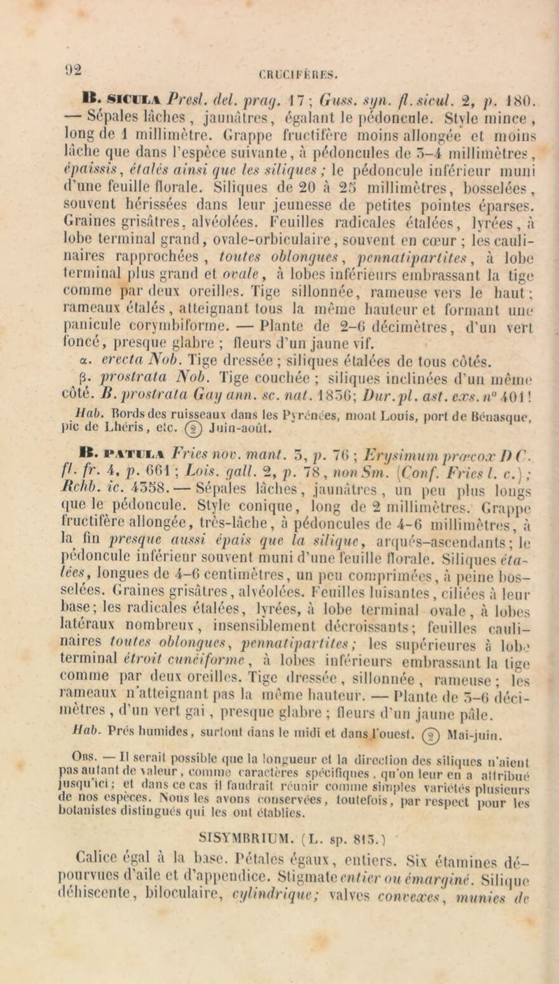 CMC! F it RES. It. siciLi Presl. del. prag. 17; Guss. sun. fl.sieul. 2, />. 1<S0. — Sépales lâches , jaunâtres, égalant le pédoncule. Style mince, long de 1 millimétré. Grappe fructifère moins allongée et moins lâche que dans l’espèce suivante, à pédoncules de 5-4 millimètres, épaissis, étales ainsi que les siliques ; le pédoncule inférieur muni d’une feuille florale. Siliques de 20 à 25 millimètres, bosselées, souvent hérissées dans leur jeunesse de petites pointes éparses. Graines grisâtres, alvéolées. Feuilles radicales étalées, lycées, à lobe terminal grand, ovale-orbiculaire, souvent en cœur ; lescauli- naires rapprochées, toutes oblongues, pcnnatipartites, à lobe terminal plus grand et ovale, à lobes inférieurs embrassant la tige comme par deux oreilles. Tige sillonnée, rameuse vers le haut; rameaux étalés, atteignant tous la même hauteur et formant une panicule corymbiforme. — Plante de 2-0 décimètres, d’un vert foncé, presque glabre ; (leurs d’un jaune vif. a. erecta Nob. Tige dressée ; siliques étalées de tous côtés, p. prostrata Nob. Tige couchée; siliques inclinées d’un même côté. Ji. prostrata Gag ami. sc. nat. 1850; Dur.pl. ast. c.rs.n0 \01 ! llab. Bords des ruisseaux dans tes Pyivn.es, mont Louis, port de Bénasque, pic de Lhéris, etc. 0 Juin-août. IB. i'atul.i Fries nov. mant. 5,p. 70 ; Erysimum protcox DF. fl. fr. 4, p. 601 ; Lois. gall. 2, p. 78, nonSin. [Conf. Frics I. c.) ; Rchb.ic. 4358. — Sépales lâches, jaunâtres , un peu plus longs que le pédoncule. Style conique, long de 2 millimètres. Grappe lructifère allongée, très-lâche, à pédoncules de 4-6 millimètres, à la fin presque aussi épais que la silique, arqués-ascendants ; le pédoncule inférieur souvent muni d’une feuille florale. Siliques éta- lées, longues de 4-6 centimètres, un peu comprimées, à peine bos- selées. Graines grisâtres, alvéolées. Feuilles luisantes, ciliées à leur base; les radicales étalées, lyrées, à lobe terminal ovale, «à lobes latéraux nombreux, insensiblement décroissants; feuilles cauli- naires toutes oblongues, pennatiparlifes ; les supérieures à lobe terminal étroit cunéiforme, à lobes inférieurs embrassant la lige comme par deux oreilles. Tige dressée, sillonnée, rameuse; les rameaux n atteignant pas la même hauteur. — Plante de 5-6 déci- mètres , d’un vert gai , presque glabre ; ileurs d’un jaune pâle. Hab. Près humides, surtout dans le midi et dansj’ouest. 0 Mai-juin. Ons. — Il serait possible (pie la longueur et la direction des siliques liaient pas autant de valeur, comme caractères spécifiques . qu'on leur en a altribué jusqu ici; et dans ce cas il faudrait réunir comme simples variétés plusieurs de nos espèces. Nous les avons conservées, toutefois, par respect pour les botanistes distingués qui les ont établies. SISYMRRIUM. (L. sp. 815.) Calice égal à la base. Pétales égaux, entiers. Six étamines dé- pourvues d’aile et. d’appendice. Stigmate entier ou émarginé. Silique déhiscente, biloculaire, cylindrique; valves convexes, munies de