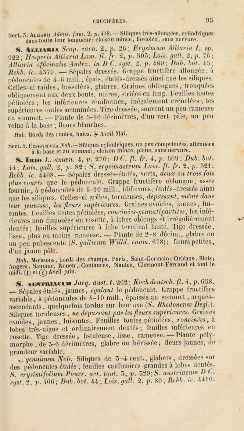 Sect. 3. Alliaria Admis, fam. 2, 418. — Siliques très-allongées, cylindriques dans toute leur longueur; cloison mince, t'avéolée, sans nervure. S. iiMAiti i Scop. carn. 2, p. 26; Erysimum Alliaria L. sp. 922 ; Hesperis Alliaria Lam. fl. fr. 2, p. 503; Lois. gall. 2, p. 76 ; Alliaria officinalis Andrz. in I) C. syst. 2, p. 489; Dub. bot. 45; Rchb. ic. 4379. — Sépales dressés. Grappe fructifère allongée, à pédoncules de 4-6 mill., épais, étalés-dressés ainsi que les siliques. Celles-ci raides, bosselées, glabres. Graines oblongues, tronquées obliquement aux deux bouts, noires, striées en long. Feuilles toutes pétiolées ; les inférieures réniformes, inégalement crénelées ; les supérieures ovales acuminées. Tige dressée, souvent un peu rameuse au sommet. — Plante de 5-10 décimètres, d’un vert pâle, un peu velue à la base ; fleurs blanches. Hab. Bords des routes, haies. ^ Avril-Mai. Sect. 4. Eosisymmua Nob.— Siliques cylindriques, un peu comprimées, atténuées à la base et au sommet; cloison mince, plane, sans nervure. S. Imo L. amœn. 4, p. 270; D C. fl. fr. 4, p. 669; Dub. bot. 44; Lois. gall. 2, p. 82 ; S. erysimastrum Lam. fl. fr. 2, p. 521; Rchb. ic. 4408.— Sépales dressés-étalés, verts, deux ou trois fois plus courts que le pédoncule. Grappe fructifère oblongue, assez fournie, à pédoncules de 6-10 mill., filiformes, étalés-dressés ainsi que les siliques. Celles-ci grêles, tondeuses, dépassant, même dans leur jeunesse, les fleurs supérieures. Graines ovoïdes, jaunes, lui- santes. Feuilles toutes pétiolées, roncinées-pennatipartites; les infé- rieures non disposées en rosette, à lobes oblongs et irrégulièrement dentés; feuilles supérieures à lobe terminal hasté. Tige dressée, lisse, plus ou moins rameuse. — Plante de 2-8 décim., glabre ou un peu pubescente (S. gallicum Willd. enum. 678); fleurs petites, d’un jaune pâle. ltab. Moissons, bords des champs. Paris, Saint-Germain; Orléans, Blois; Angers, Saumur, Rouen, Coutances, Nantes, Clermont-Ferrand et tout le midi. (T) et (t) Avril-juin. S. austbiacum Jacq. aust. t. 262; Kochdeutsch. fl. 4, p. 658. — Sépales étalés, jaunes, égalant le pédoncule. Grappe fructifère variable, à pédoncules de 4—10 mill., épaissis au sommet, aiques— ascendants, quelquefois tordus sur leur axe (S. Rhedonense Degl.). Siliques toruleuses, ne dépassant pas les fleurs supérieures. Graines ovoïdes, jaunes, luisantes. Feuilles toutes pétiolées, roncinécs, à lobes très-aigus et ordinairement dentés ; feuilles inférieures en rosette. Tige dressée, fistuleuse, lisse, rameuse. — Plante poly- morphe , de 3-6 décimètres, glabre ou hérissée ; fleurs jaunes, de grandeur variable. a. genuinum Nob. Siliques de 5-4 cent., glabres , dressees sut des pédoncules étalés ; feuilles caulinaires grandes à lobes dentés. S. erysimifolium Pourr. act. toul. 5, p. 529; 5. austriacum D ( . syst. 2, p. 466 ; Dub. bot. 44 ; Lois. gall. 2, p. 80 ; Rchb. ic. 4410.