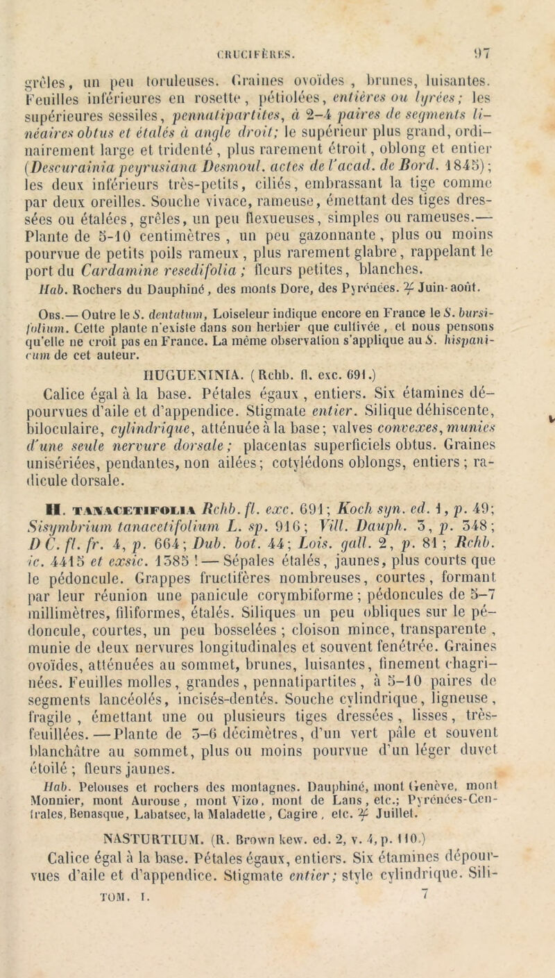 grêles, un peu toruleuses. Graines ovoïdes , brunes, luisantes. Feuilles inférieures en rosette, pétiolées, entières ou lyrées; les supérieures sessiles, pennatipartites, à 2-4 paires de segments li- néaires obtus et étalés à angle droit; le supérieur plus grand, ordi- nairement large et tridenté , plus rarement étroit, oblong et entier (Descurainia peyrusiana Desmoul. actes de l'acad. de Bord. 1845) ; les deux inférieurs très-petits, ciliés, embrassant la tige comme par deux oreilles. Souche vivace, rameuse, émettant des tiges dres- sées ou étalées, grêles, un peu llexueuses, simples ou rameuses.— Plante de 5-10 centimètres, un peu gazonnante, plus ou moins pourvue de petits poils rameux , plus rarement glabre, rappelant le port du Cardamine resedifolia ; fleurs petites, blanches. Uab. Rochers du Dauphiné, des monts Dore, des Pyrénées. Juin-août. Obs.— Outre le 6’. dentalum, Loiseleur indique encore en France le S. bursi- Iolmm. Cette plante n'existe dans son herbier que cultivée , et nous pensons quelle ne croit pas en France. La même observation s’applique au S. kispani- cum de cet auteur. IIUGUENINIA. ( Rchb. fl. esc. 69t.) Calice égal à la base. Pétales égaux , entiers. Six étamines dé- pourvues d’aile et d’appendice. Stigmate entier. Silique déhiscente, biloculaire, cylindrique, atténuée à la base; valves convexes, munies d'une seule nervure dorsale; placentas superficiels obtus. Graines unisériées, pendantes, non ailées; cotylédons oblongs, entiers; ra- dicule dorsale. II. TAHACETiFOiii.4 Rchb. fl. exc. 691 ; Koch syn. ed. i, p. 49; Sisymbrium tanacetifolium L. sp. 916; Vill. Dauph. 5, p. 548; D C. fl. fr. 4, p. 664; Dub. bot. 44; Lois. gall. 2, p. 81 ; Rchb. ic. 4415 et exsic. 1585 ! — Sépales étalés, jaunes, plus courts que le pédoncule. Grappes fructifères nombreuses, courtes, formant par leur réunion une panicule corymbiforme ; pédoncules de 5-7 millimètres, filiformes, étalés. Siliques un peu obliques sur le pé- doncule, courtes, un peu bosselées ; cloison mince, transparente , munie de deux nervures longitudinales et souvent fenétrée. Graines ovoïdes, atténuées au sommet, brunes, luisantes, finement chagri- nées. Feuilles molles, grandes, pennatipartites, à 5—10 paires de segments lancéolés, incisés-dentés. Souche cylindrique, ligneuse, fragile, émettant une ou plusieurs tiges dressées, lisses, très- feuillées.—Plante de 5-6 décimètres, d’un vert pâle et souvent blanchâtre au sommet, plus ou moins pourvue d’un léger duvet étoilé; fleurs jaunes. Uab. Pelouses et rochers des montagnes. Dauphiné, mont Genève, mont Monnier, mont Aurouse , mont Vizo, mont de Laos, etc.; Pyrénées-Cen- trales, Benasque, Labatsec, la Maladctte , Cagire , etc. % Juillet. NASTURTIUM. (R. Brown kew. ed. 2, v. 4,p. HO ) Calice égal à la base. Pétales égaux, entiers. Six étamines dépour- vues d’aile et d’appendice. Stigmate entier ; style cylindrique. Sili- tom. i. ~