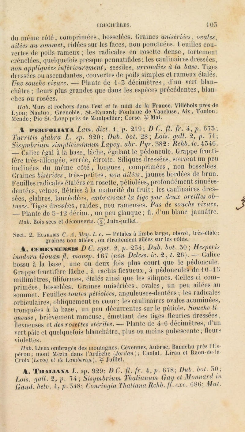 CIlüCU'iiltKS. J 05 du môme côté, comprimées, bosselées. Graines unisériées, ovales, ailées au sommet, ridées sur les faces, non ponctuées. Feuilles cou- vertes de poils rameux ; les radicales en rosette dense, fortement crénelées, quelquefois presque pennatifides; les caulinaires dressées, non appliquées inférieurement, sessiles, arrondies à la base. Tiges dressées ou ascendantes, couvertes de poils simples et rameux étales. Une souche vivace. — Plante de 1-5 décimètres, d’un vert blan- châtre ; (leurs plus grandes que dans les espèces précédentes, blan- ches ou rosées. Unb. Murs et rochers dans l’est et le midi de la France. Viliébois près de Lyon; Nantua, Grenoble. St.-Eynard; Fontaine de Vaucluse, Aix, Toulon; Mende; Pic-St.-Lonp près de Montpellier; Corse, 'if Mai. A. perfoliata Lam. dict. 1, p. 219; D C. fl. fr. 4, p. 675; Turritis glabra L. sp. 920; Dub. bot. 28; Lois. gall. 2, p. 71; Sisymbrium simplicissimum Lapey. abr. Pyr. 582; Rchb. ic. 4546. — Calice égal à la base, lâche, égalant le pédoncule. Grappe fructi- fère très-allongée, serrée, étroite. Siliques dressées, souvent un peu inclinées du même côté, longues, comprimées , non bosselées Graines bisériées, très-petites, non ailées, jaunes bordées de brun. Feuilles radicales étalées en rosette, pétiolées, profondément sinuées- dentées, velues, flétries à la maturité du fruit; les caulinaires dres- sées, glabres, lancéolées, embrassant la tige par deux oreilles ob- tuses. Tiges dressées, raides, peu rameuses. Pas de souche vivace. — Plante de 5-12 déciin., un peu glauque; fl. d’un blanc jaunâtre. llab. Bois secs et découverts, (I) Juin-juillet. Sect. 2. Eiuiubis C. A. Mey. I. c. — Pétales à limbe large, obové, très-étalé; graines non ailées, ou étroitement ailées sur les côtés. A. cebeïiweiïsis I) C. syst. 2, p. 254; Dub. bot. 50 ; Uesperis inodora Gouan fl. monsp. 167 (non Dcless. ic. 2, t. 26). Galice bossu à la base, une ou deux fois plus court que le pédoncule. Grappe fructifère lâche, à rachis flexueux, cà pédoncules de 10-15 millimètres, filiformes, étalés ainsi que les siliques. Celles-ci com- primées, bosselées. Graines unisériées, ovales, un peu ailées au sommet.1 Feuilles toutes pctiolécs, anguleuses-dentées ; les radicales orbiculaires, obliquement en cœur; les caulinaires ovales acuminées, tronquées à la base, un peu décurrentes sur le pétiole. Souche li- gneuse, brièvement rameuse, émettant des tiges fleuries dressées, flexueuses et des rosettes stériles. — Plaute de 4-6 décimètres, d un vert pâle et quelquefois blanchâtre, plus ou moins pubescente; (leurs violettes. Hab. Lieux ombragés des montagnes. Cévennes, Aubrac, Banacbu près 1 Es- pérou ; mont Mézin dans l’Ardècbe (Jordan); Cantal, Liran et Raon-de la- Croix (Lccoy et de I.ambertye). 'if Juillet. A. Thaliana L. sp. 929; l) C. fl. fr. 4, p. 678; Dub. bot. 30; Lois. gall. 2, p. 74; Sisymbrium Thalianum Gay cl Mon nard tn Gaud. helv. 4, p. 548; Conringia Thaliana Rchb. fl. exe. 686; Mut.