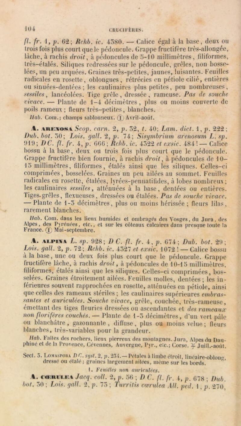 fl. fr. 1, p. 62; Itchb. ic. 4580. — Calice égal à la base, deux ou trois fois plus court que le pédoncule. Grappe fructifère très-allongée, lâche, à rachis droit, à pédoncules de 5-10 millimètres, filiformes, très—étalés. Siliques redressées sur le pédoncule, grêles, non bosse- lées, un peu arquées. Graines très-petites, jaunes, luisantes. Feuilles radicales en rosette, obiongues, rétrécies en pétiole cilié, entières ou sinuées-dentées ; les caulinaires plus petites, peu nombreuses, sessiles, lancéolées. Tige grêle, dressée, rameuse. Pas de souche vivace. — Plante de 1-4 décimètres, plus ou moins couverte de poils ram eux ; fleurs très-petites, blanches. llab. Coin.; champs sablonneux. (î; Avril-août. A. AREiosA Scop. carn. 2, p. 52, t. 40; Lam. dict. 1, p. 222 ; l)ub. bot. 50; Lois, (jall. 2, p. 74; Sisymbrium arenosum L. sp. 019 ; I)C. fl. fr. 4, p. 66G ; Itchb. ic. 4522 et exsic. 484 ! — Calice bossu à la base, deux ou trois fois plus court que le pédoncule. Grappe fructifère bien fournie, à rachis droit, à pédoncules de 10- 15 millimètres, filiformes, étalés ainsi que les siliques. Celles-ci comprimées, bosselées. Graines un peu ailées au sommet. Feuilles radicales en rosette, étalées, lyrées-pennatifides, à lobes nombreux; les caulinaires sessiles, atténuées à la base, dentées ou entières. Tiges.grêles, flexueuses, dressées ou étalées. Pas de souche vivace. — Plante de 1-5 décimètres, plus ou moins hérissée ; fleurs lilas, rarement blanches. llab. Com. dans les lieux humides et ombragés des Vosges, du Jura, des Alpes, des Pyrénées, etc., et sur les coteaux calcaires dans presque toute la France. (T) Mai-septembre. A. alpha L. sp. 928; I) C. fl. fr. 4, p. 674 ; Dub. bot. 29; Lois. gall. 2, p. 72; Rchb. ic. 4527 et e.rsic. 1072 ! — Calice bossu a la base, une ou deux fois plus court que le pédoncule. Grappe fructifère lâche, à rachis droit, à pédoncules de 10-15 millimètres, filiformes, étalés ainsi que les siliques. Celles-ci comprimées, bos- selées. Graines étroitement ailées. Feuilles molles, dentées; les in- férieures souvent rapprochées en rosette, atténuées en pétiole, ainsi que celles des rameaux stériles; les caulinaires supérieures embras- santes et auriculces. Souche vivace, grêle, couchée, très-rameuse, émettant des tiges fleuries dressées ou ascendantes et des rameaux non florifères couches. — Plante de 1-5 décimètres, d’un vert pâle ou blanchâtre, gazonnante, diffuse, plus ou moins velue; fleurs blanches, très-variables pour la grandeur. llab. Faites des rochers, lieux pierreux des montagnes. Jura, Alpes du Dau- phiné et de la Provence, Cévenues, Auvergne, Pyr., etc.; Corse, 'if Juill.-aoùt. Scct. 5. Lo.maspoiu /) C. sijst. 2, p. 251.— Pétales à limbe étroit, linéaire-obloug dressé ou étalé; graines largement ailées, même sur les bords. I. Feuilles non auriculces. A. CŒRIJLEA Jacq. coll. 2, p. 56 ; 1) C. fl. fr. 4, p. 678 ; Dub. bot. 50; Lois. gall. 2, p. 75; Turritis cœrulea AU. ped. 1, p. 270.