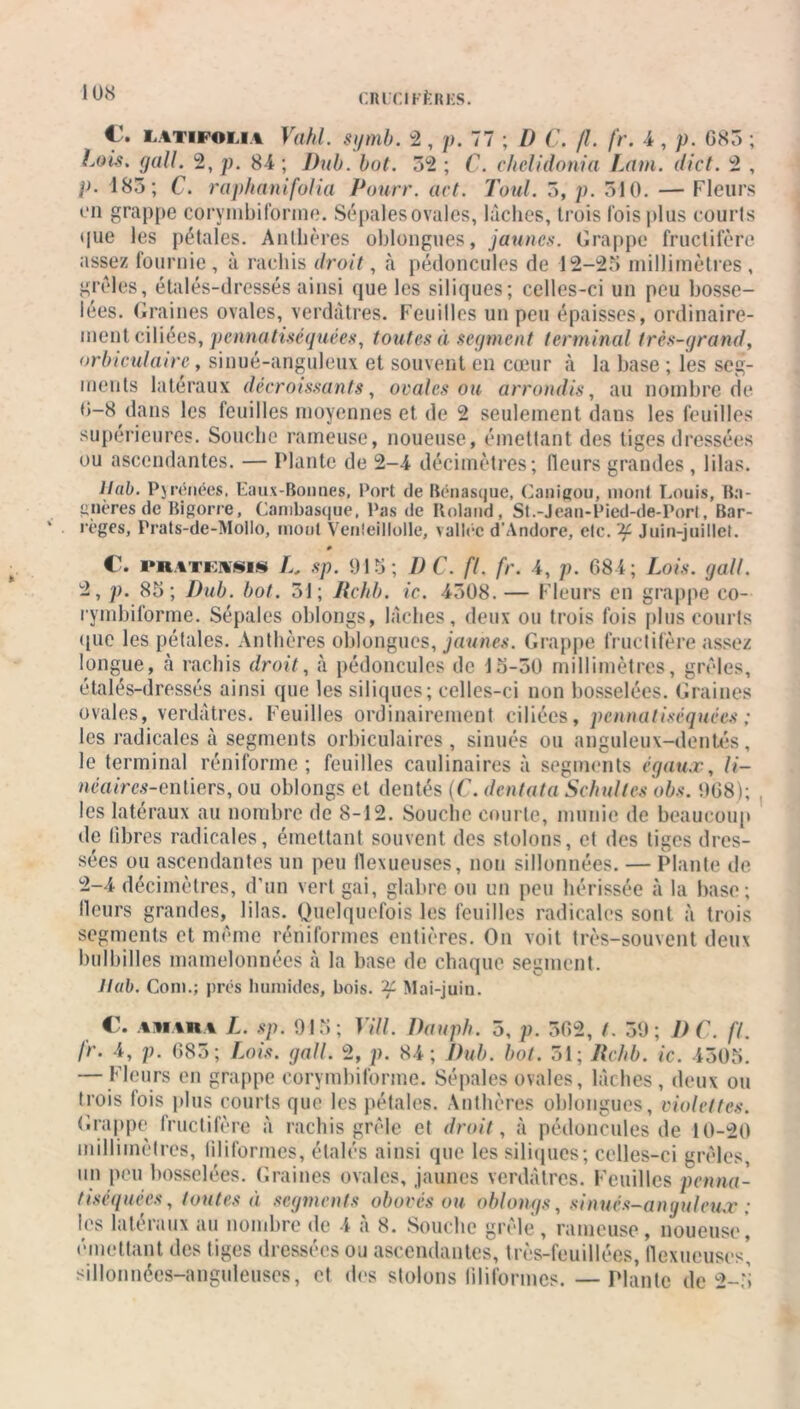 €. LATiFOLi.i Vahl. sijmb. 2 , p. 77 ; D C. fl. fr. 4 , p. 685 ; Loi?, gall. 2, p. 84 ; Dub. but. 52 ; C. chclidonia Lam. dict. 2 , p. 185; C. raphaitifolia Pourr. act. Toul. 5, p. 510. — Fleurs en grappe corymbiforme. Sépales ovales, lâches, trois fois plus courts que les pétales. Anthères oblongues, jaunes. Grappe fructifère assez fournie , à rachis droit, à pédoncules de 12-25 millimètres , grêles, étalés-dressés ainsi que les siliques; celles-ci un peu bosse- lées. Graines ovales, verdâtres. Feuilles un peu épaisses, ordinaire- ment ciliées, pcnnatiséquées, toutes à segment terminal très-grand, orbiculairc, sinué-anguleux et souvent en cœur à la base ; les seg- ments latéraux décroissants, ovales ou arrondis, au nombre de 0-8 dans les feuilles moyennes et de 2 seulement dans les feuilles supérieures. Souche rameuse, noueuse, émettant des tiges dressées ou ascendantes. — Plante de 2-4 décimètres; fleurs grandes , lilas. liai. Pyrénées, Faux-Bonnes, Port de Rcnasque, Cauigou, mont Louis, Ba- gnèresde Bigorre, Cambasque, Pas de Roland, St.-Jean-Pied-de-Port, Bar- rages, Prats-de-MolIo, mont Venîeillolle, vallée d’Andore, etc. ?£ Juin-juillet. » C. PKATEH§1§ L, sp. 915; DC. fl. fr. 4, p. 684; Lois. gall. 2, p. 85; Dub. bot. 51; Rchb. ic. 4508. — Fleurs en grappe co- rymbiforme. Sépales oblongs, lâches, deux ou trois fois plus courts (pie les pétales. Anthères oblongues, jaunes. Grappe fructifère assez longue, à rachis droit, à pédoncules de 15-50 millimètres, grêles, étalés-dressés ainsi que les siliques; celles-ci non bosselées. Graines ovales, verdâtres. Feuilles ordinairement ciliées, pcnnatiséquées ; les radicales à segments orbiculaires , sinués ou anguleux-dentés, le terminal réniforme ; feuilles caulinaires à segments égaux, li- néaires-entiers, ou oblongs et dentés (C. dentata Schultes obs. 968); les latéraux au nombre de 8-12. Souche courte, munie de beaucoup de libres radicales, émettant souvent des stolons, et des tiges dres- sées ou ascendantes un peu flexueuses, non sillonnées. — Plante de 2-4 décimètres, d’un vert gai, glabre ou un peu hérissée à la base; •leurs grandes, lilas. Quelquefois les feuilles radicales sont à trois segments et même réniformes entières. On voit très-souvent deux bulbilles mamelonnées à la base de chaque segment. Jlab. Coin.; prés humides, bois. Mai-juin. C. AiiARA L. sp. 915; Vill. Dauph. 5, p. 562, t. 59; DC. fl. fr. 4, p. 685; Lois. gall. 2, p. 84; Dub. bot. 51; lichb. ic. 4505. — Fleurs en grappe corymbiforme. Sépales ovales, lâches, deux ou trois (ois plus courts que les pétales. Anthères oblongues, violettes. Grappe fructifère à rachis grêle et droit, à pédoncules de 10-20 millimètres, filiformes, étalés ainsi que les siliques; celles-ci grêles, un peu bosselées. Graines ovales, jaunes verdâtres. Feuilles penna- tiséquées, toutes à segments obovès ou oblongs, sinuès-an gui eux ; les latéraux au nombre de 4 a 8. Souche grêle, rameuse, noueuse, émettant des tiges dressées ou ascendantes, très-feuillées, flexueuses’ sillonnées-anguleuses, et dos stolons filiformes. — Plante de 2-5