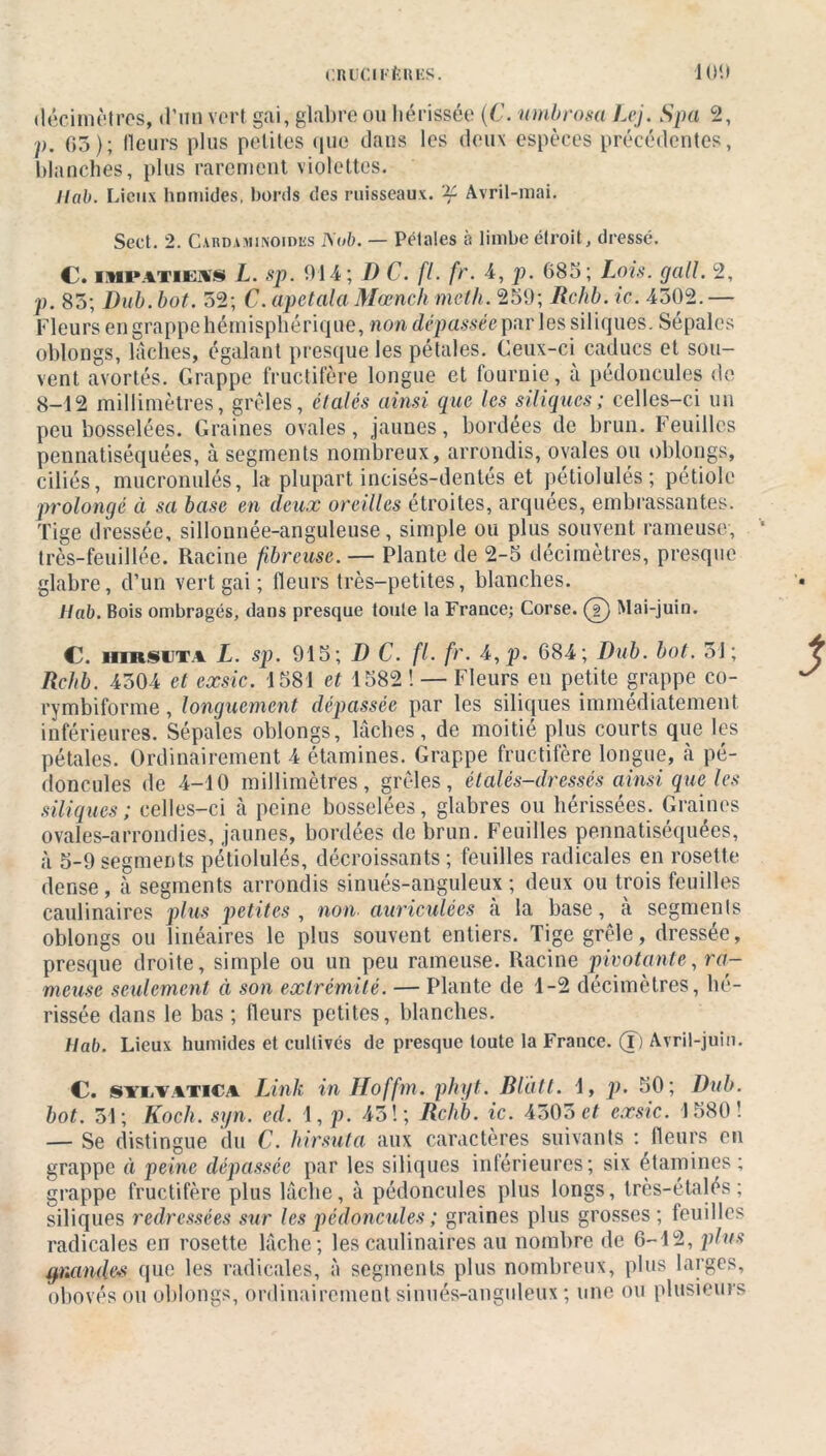 décimètres, d’un vert gai, glabre ou hérissée {C. umbrosa Lej. Spa 2, )>. 03); Heurs plus petites que dans les deux espèces précédentes, blanches, plus rarement violettes. llab. Lieux humides, bords des ruisseaux. ^ Avril-mai. Sert. 2. Cabdaminoidhs JSob. — Pétales à limbe étroit, dressé. C. impatiens L. sp. 914; I) C. fl. fr. 4, p. 685; Lois, cjall. 2, p. 83; Dub. bot. 52; C. apctala Mœnch mcth. 259; Rclib. ic. 4302. — Fleurs en grappe hémisphérique, non dépassée parles siliques. Sépales oblongs, lâches, égalant presque les pétales. Ceux-ci caducs et sou- vent avortés. Grappe fructifère longue et fournie, à pédoncules de 8-12 millimètres, grêles, étalés ainsi que les siliques; celles-ci un peu bosselées. Graines ovales, jaunes, bordées de brun. Feuilles pennatiséquées, à segments nombreux, arrondis, ovales ou oblongs, ciliés, mucronulés, la plupart incisés-dentés et pétiolulés; pétiole prolongé ci sa base en deux oreilles étroites, arquees, embrassantes. Tige dressée, sillonnée-anguleuse, simple ou plus souvent rameuse, très-feuillée. Racine fibreuse. — Plante de 2-5 décimètres, presque glabre, d’un vert gai ; fleurs très-petites, blanches. llab. Bois ombragés, dans presque toute la France; Corse. (J) Mai-juin. C. HinstiTA L. sp. 915; D C. fl. fr. 4,p. 684; Dub. bot. 51; Rchb. 4304 et exsic. 1581 et 1582 ! — Fleurs en petite grappe co- rymbiforme, longuement dépassée par les siliques immédiatement inférieures. Sépales oblongs, lâches, de moitié plus courts que les pétales. Ordinairement 4 étamines. Grappe fructifère longue, à pé- doncules de 4-10 millimètres, grêles, étalés-dressés ainsi que les siliques ; celles-ci à peine bosselées, glabres ou hérissées. Graines ovales-arrondies, jaunes, bordées de brun. Feuilles pennatiséquées, à 5-9segments pétiolulés, décroissants; feuilles radicales en rosette dense, à segments arrondis sinués-anguleux ; deux ou trois feuilles caulinaires plus petites , non auriculées «à la base, à segments oblongs ou linéaires le plus souvent entiers. Tige grêle, dressée, presque droite, simple ou un peu rameuse. Racine pivotante, ra- meuse seulement ci son extrémité. — Plante de 1-2 décimètres, hé- rissée dans le bas; fleurs petites, blanches. llab. Lieux humides et cultivés de presque toute la France. (T) Avril-juin. C. SYEVATICA Link in Hoffm. phyt. Rlàtt. 1, p. 50; Dub. bot. 51; Koch. syn. cd. 1, p. 45!; Rchb. ic. 4503 et exsic. 1580! — Se distingue du C. hirsuta aux caractères suivants -. fleurs en grappe à peine dépassée par les siliques inférieures; six étamines ; grappe fructifère plus lâche, à pédoncules plus longs, très-étalés ; siliques redressées sur les pédoncules ; graines plus grosses; feuilles radicales en rosette lâche; les caulinaires au nombre de 6-12, plus gmndes que les radicales, à segments plus nombreux, plus larges, obovés ou oblongs, ordinairement sinués-anguleux ; une ou plusieurs