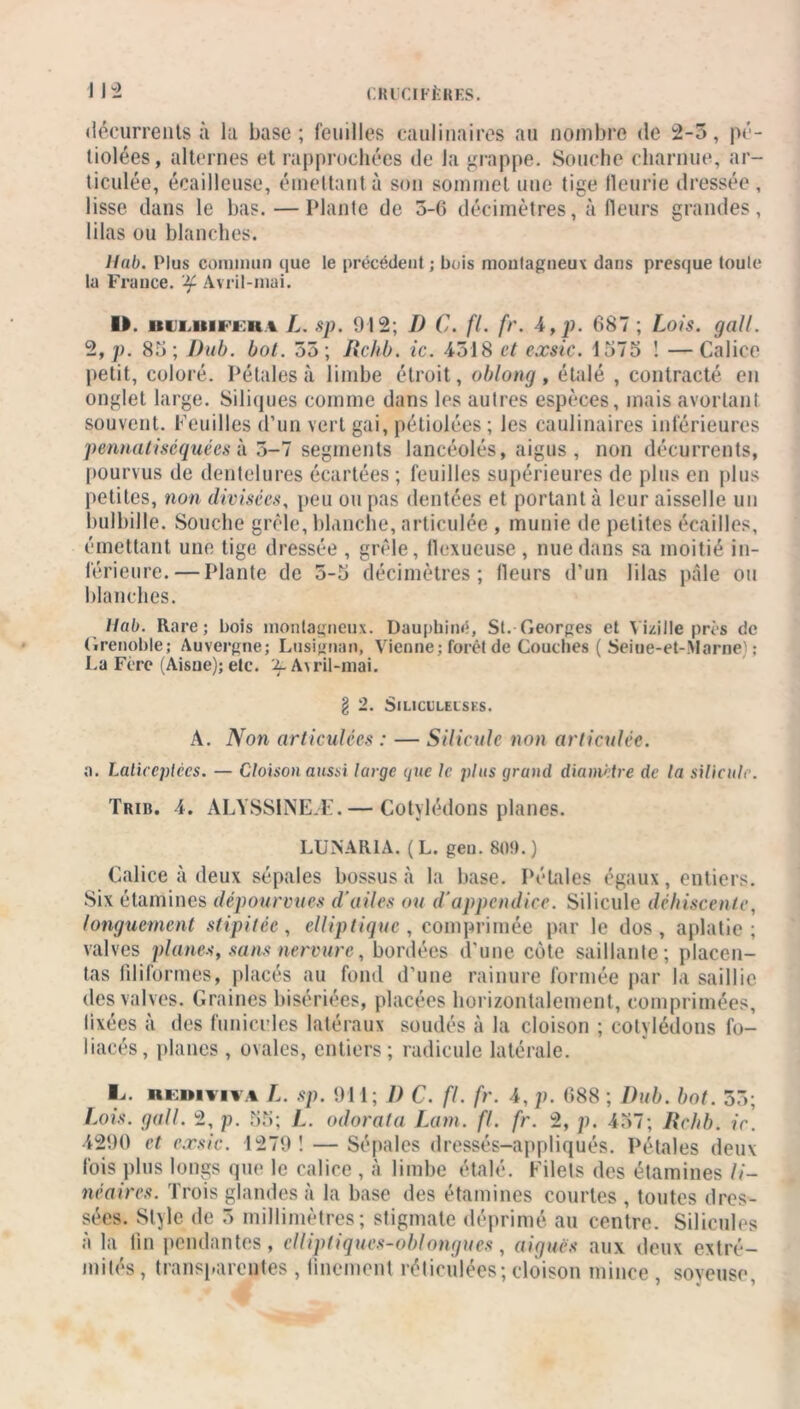 décurrents à la base; feuilles caulinaires au nombre de 2-5, pé- tiolées, alternes et rapprochées de la grappe. Souche charnue, ar- ticulée, écailleuse, émettant à son sommet une tige fleurie dressée , lisse dans le bas. — Plante de 5-6 décimètres, à (leurs grandes, lilas ou blanches. Hab. Plus commun que le précédent; bois montagneux dans presque toute la France. 'if Avril-mai. U. itii.itucii i L. sp. 912; I) C. fl. fr. 4, p. 687 ; Lois. gall. 2, p. 85; Dub. bot. 55; Rchb. ic. 4518 et exsic. 1575 ! —Calice petit, coloré. Pétales à limbe étroit, oblong, étalé , contracté en onglet large. Siliques comme dans les autres espèces, mais avortant souvent. Feuilles d’un vert gai, pétiolées; les caulinaires inférieures pennatiséquées à 5-7 segments lancéolés, aigus , non décurrents, pourvus de dentelures écartées ; feuilles supérieures de plus en plus petites, non divisées, peu ou pas dentées et portant à leur aisselle un bulbille. Souche grêle, blanche, articulée , munie de petites écailles, émettant une tige dressée , grêle, llexueuse, nue dans sa moitié in- férieure.— Plante de 5-5 décimètres; fleurs d’un lilas pâle ou blanches. tlab. Rare; bois montagneux. Dauphiné, St.-Georges et Vizille près de Grenoble; Auvergne; Lusignan, Vienne ; forêt de Couches ( Seiue-et-.Marne) ; La Fèrc (Aisne); etc. 2- A\ril-mai. g 2. Sll.ICCLElSKS. À. Non articulées : — Siliculc non articulée. 0. Laticcplccs. — Cloison aussi large que le plus grand diamètre de la siliculc. Trib. 4. ALYSS1NEÆ. — Cotylédons planes. LUNAR1A. (L. geu. 80!).) Calice à deux sépales bossus à la base. Pétales égaux, entiers. Six étamines dépourvues d'ailes ou d'appendice. Silicule déhiscente, longuement stipitèe, elliptique , comprimée par le dos, aplatie; valves planes, sans nervure, bordées d’une côte saillante; placen- tas (informes, placés au fond d’une rainure formée par la saillie des valves. Graines bisériées, placées horizontalement, comprimées, fixées à des funicides latéraux soudés à la cloison ; cotylédons fo- liacés, planes , ovales, entiers; radicule latérale. Mj. hiihyiva L. sp. 911; I) c. fl. fr. 4, p. 688 ; Dub. bot. 55; Lois. gall. 2, p. 55; L. odorata Lam. fl. fr. 2, p. 457; Rchb. ic. 4290 et exsic. 1279! — Sépales dressés-appliqués. Pétales deux fois plus longs que le calice , à limbe étalé. Filets des étamines li- néaires. Trois glandes à la base des étamines courtes , toutes dres- sées. Style de 5 millimètres; stigmate déprimé au centre. Silicules à la fin pendantes, cllipliques-oblongues, aiguës aux deux extré- mités , transparentes , finement réticulées; cloison mince , soyeuse,