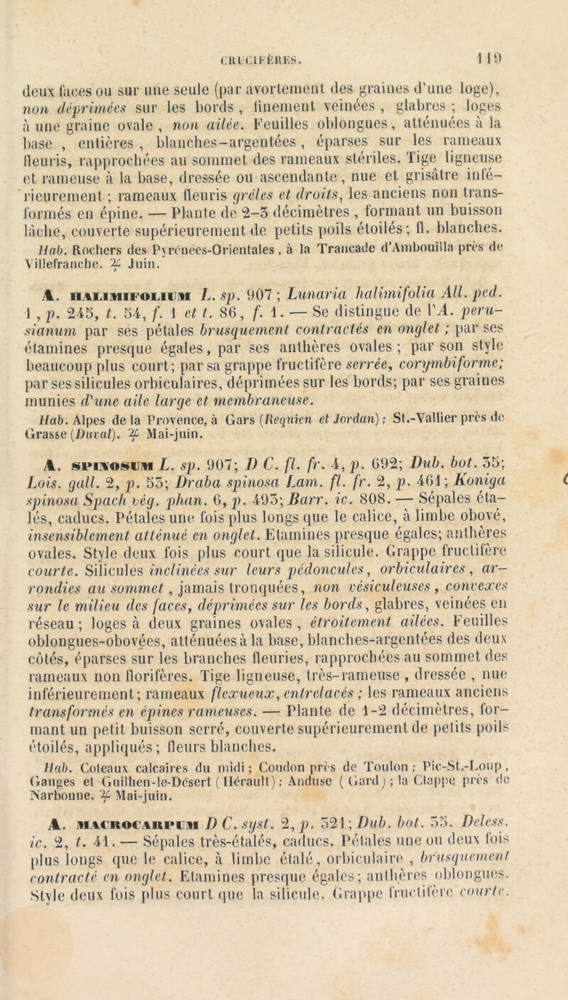 cr ici n': h i:s. 1 19 deux faces ou sur une seule (par avortement des graines d’une loge), 7ion déprimées sur les bords , finement veinées , glabres ; loges à une graine ovale , non ailée. Feuilles oblongues, atténuées a la base , entières , blanches-argentées, éparses sur les rameaux fleuris, rapprochées au sommet des rameaux stériles. Tige ligneuse et rameuse à la base, dressée ou ascendante, nue et grisâtre infé- rieurement ; rameaux fleuris grêles et droits, les anciens non trans- formés en épine. — Plante de 2-3 décimètres , formant un buisson lâche, couverte supérieurement de petits poils étoilés; 11. blanches. llab. Rochers des Pyrénées-Orientales , à la Traucade d’Anibouiila près de Yillefranche. Juin. A. iiAi.uiiioi.itu L. sp. 907 ; Lunaria halimifolia AU. ped. 1 , p. 245, t. 54, f. 1 et t. 86, f. 1. — Se distingue de VA. peru- sianum par ses pétales brusquement contractés en onglet ; par ses étamines presque égales, par ses anthères ovales; par son style beaucoup plus court; par sa grappe fructifère serrée, corymbiforme; par sessilicules orbiculaires, déprimées sur les bords; par ses graines munies d'une aile large et membraneuse. Uab. Alpes de la Provence, à Gars (Reqincn et Jordan) ; St.-Vallier près de Grasse {Durai), if Mai-juin. A. spoïosdhi L. sp. 907; 7) C. fl. fr. 4,p. 692; Dub. bot. 35; Lois. gall. 2, p. 55; Draba spinosa Lam. fl. fr. 2, p. 461 ; Koniga spinosa Spach vég. phan. 6, p. 495; Barr. ic. 808. — Sépales éta- lés, caducs. Pétales une fois plus longs que le calice, à limbe obové, insensiblement atténué en onglet. Etamines presque égales; anthères ovales. Style deux fois plus court que lasilicule. Grappe fructifère courte. Siiicules inclinées sur leurs pédoncules, orbiculaires, ar- rondies au sommet, jamais tronquées, non vésiculeuses, convexes sur le milieu des faces, déprimées sur les bords, glabres, veinées en réseau ; loges à deux graines ovales , étroitement ailées. Feuilles oblongues-obovées, atténuéesàla base, blanches-argentées des deux côtés, éparses sur les branches fleuries, rapprochées au sommet des rameaux non florifères. Tige ligneuse, très-rameuse , dressée , nue inférieurement; rameaux flexueux, entrelacés ; les rameaux anciens transformés en épines rameuses. — Plante de 1-2 décimètres, for— mant un petit buisson serré, couverte supérieurement de petits poils étoilés, appliqués; fleurs blanches. llab. Coteaux calcaires du midi ; Coudon près de Toulon ; Pic-St.-L.oup, Ganges et Guilhen-le-Désert ( Hérault) ; Anduse ( Gardj ; la Clappe près de Narbonne. Mai-juin. A. macroc.arpijm DC.syst. 2,p. 521 ; Dub. bot. 55. Deless. ic. 2, t. 41. — Sépales très-étalés, caducs. Pétales une ou deux lois plus longs que le calice, à limbe étalé, orbiculaire , brusquement contracté en onglet. Etamines presque égales; anthères oblongues. Style deux fois plus court que la silicule. Grappe fructifère courte.