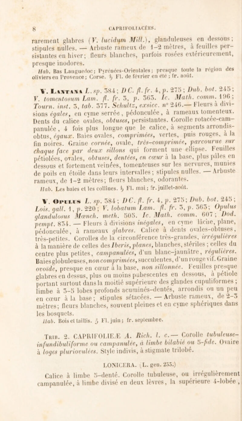 s rarement glabres (V. lundum Mtll.), glanduleuses en dessous, stipules nulles. — Arbuste rameux de 1-2 mètres, à feuilles per- sistantes en hiver ; fleurs blanches, parfois rosées extérieurement, presque inodores. llab. Bas Languedoc; Pyréoées-Orientales; presque toute la région des oliviers en Provence; Corse. i; Fl. de février en été ; fr. août. Y. I^AiiTAU’A L.sp. 384; DC. fl.fr4, p. 2/3; Dub. bot. 2»5, V. tomcntosum Lam. fl. fr. 3, p. 3(53. le. Math, connu. 1 UC>, Tourn. inst. 3, tab. 377. Schultz, exsicc. n° 246.— Fleurs à divi- sions égales, en cyme serree , pedonculée, à rameaux tomenteux. Dents du calice ovales, obtuses, persistantes. Corolle rotacée-cam— panulée , 4 fois plus longue que le calice, à segments arrondis- obtus, égaux. Raies ovales, comprimées, vertes, puis rouges, a la lin noires. Graine cornée, ovale, très-comprimée, parcourue sur Chaque face par deux sillons qui forment une ellipse. Feuilles pétiolées, ovales, obtuses, dentées, en coeur à la base, plus pales en dessous et fortement veinées, tomenteuses sur les nervures, munies de poils en étoile dans leurs intervalles; stipules nulles. — Arbuste rameux, de 1-2 mètres; fleurs blanches, odorantes. llab. Les baies et tes collines. \} Fl. mai; fr.juillet-août. V. Opili§ L. sp. 384 ; DC. fl. fr. 4, p. 273; Dub. bot. 245 ; Lois, g ail. 1, p. 220 ; V. lobatum Lam. fl. fr. 3, p. 303; Opulus glandulosus Mœncli. meth. 505. Ic. Math. comm. 007; Dod. pempt. 834. — Fleurs à divisions inégales, en cyme lâche, plane, pedonculée, à rameaux glabres. Calice à dents ovales-obtuses, très-petites. Corolles de la circonférence très-grandes, irrégulières à la manière de celles des Iberis, planes, blanches, stériles ; celles du centre plus petites, campanulées, d’un blanc-jaunatre, régulières. Baies globuleuses, non comprimées, succulentes, d’un rouge vif. G raine ovoïde, presque en cœur à la base, non sillonnée. Feuilles presque glabres en dessus, plus ou moins pubescentes en dessous, a pétiole portant surtout dans la moitié supérieure des glandes cupuliformes ; limbe à 3-5 lobes profonds acuminés-dentés, arrondis ou un peu en cœur à la base; stipules setacées. • Arbuste laineux, de 2-.> mètres; fleurs blanches, souvent pleines et en cyme sphériques dans les bosquets. ilab. Bois et taillis. 5 Fl. juin; fr. septembre. Trib. 2. CAPRIFOLIEÆ A. Rich. I. c.— Corolle tubuleuse- infundibuliforme ou campanulée, à limbe bilabié ou $-fide. Ovaire à loges pluriovulècs. Style indivis, astigmate trilobé. LOIN'ICERA. (L. geo. 235.) Calice à limbe 5-denté. Corolle tubuleuse, ou irrégulièrement campanulée, à limbe divisé en deux lèvres, la supérieure 4-lobée ,