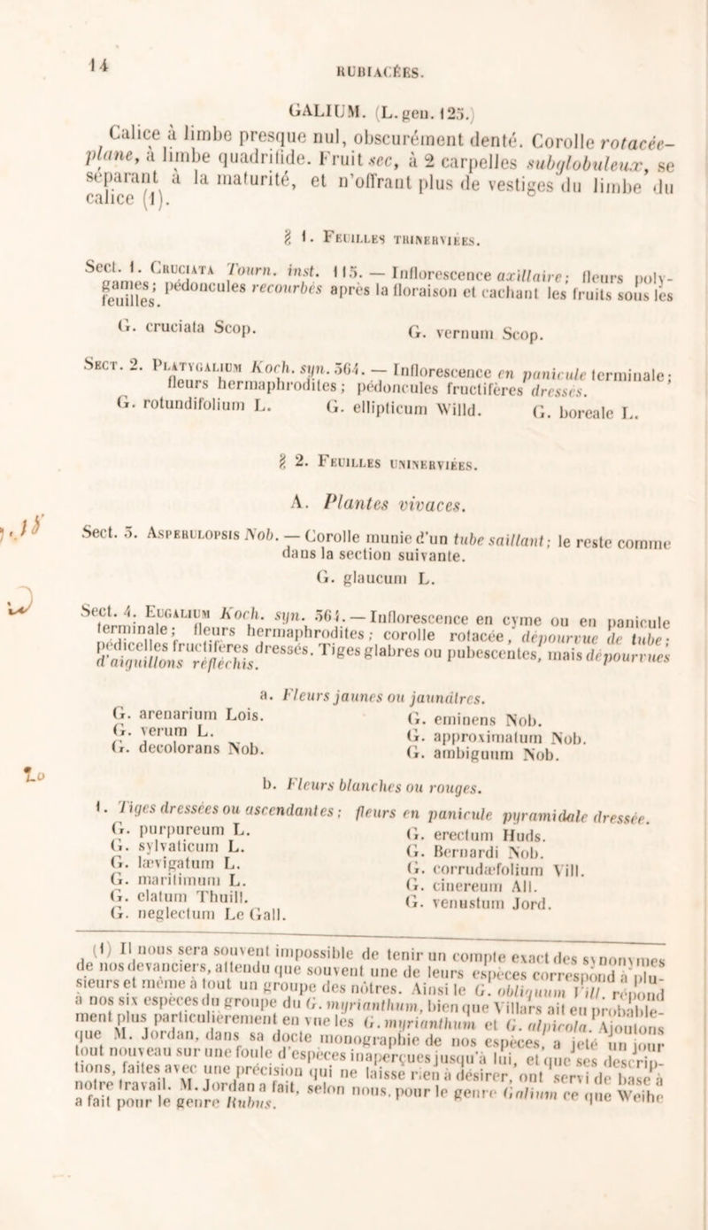 U GALIÜM. (L.geu. <25. Calice à limbe presque nul, obscurément denté. Corolle rotacée- Vlane, a limbe quadrifide. Fruitée, à 2 carpelles *ubnlobuleuœ, se ealicT(0 a ^ matUnté> Gl n offraut I>lus <le vestiges du limbe du % 1. Feuilles thinbhyikes. Secl. 1. Chdciata l'ourn. inst. H5. — Inflorescence axillaire; Heurs nolv- feuTlS.,)éd0üCU,e8 recourbé* «Près la floraison et cachant les fruits sous les (i. crueiata Scop. G. vernum Scop. Skct. 2. Plu ygaliüm hoch. syn.564. — Inflorescence ni panicule terminale; fleurs hermaphrodites; pédoncules fructifères dresses. G. rotundifolium L. G. ellipticum Willd. G. boreale L. 8 2. Feuilles unijyerviébs. A. Plantes vivaces. Sect. o. Aspebulopsis Xob. — Corolle munie d’un tube saillant ; le reste comme dans la section suivante. G. glaucum L. Scct. i. I LG ALI u >1 Koch. sijn. 564. — Inflorescence en cyme ou en panicule ermmnie; fleurs hermaphrodites; corolle rotacée, dépourvue de tube • “rijlS Tige8g'abreS ou I,ube*ccntes, mai. dépourvu 3 • G. arenarium Lois. G. verum L. G. decolorans Nob. Fleurs jaunes ou jaunâtres. G. eminens Nob. G. approximatum Nob. (L ambiguum Nob. b. Fleurs blanches ou rouges. t. l iges dressées ou ascendantes ; G. purpureum L. (L sylvaticum L. G. lævigatum L. G. ma ri !i muni L. G. clatum Thuill. G. neglectum Le Gall. feurs en punicule pyramidale dresser. (i. erectum Huds. G. Bernardi Nob. G. corrudæfolium Vill. G. cinereum Ail. (i. venustum Jord. 1) Il nous sera sou\enl impossible de tenir un compte exact des s\nommes de nos devanciers, attendu que souvent une de leurs especes correspond a'plu- sieurs et meme a tout un groupe des nôtres. Ainsi le q[ obliguum ïT répond a nos six especes du groupe du (,. mynanthum, bien que Villars ait eu probable- men plus.particulièrement en vue les G. myrianthum et G.alnirola. Ajoutons ‘,ue -1- Jor<lan» <Ians 8,'[ (i<),cte monographie de nos espèces, a jeté un jour tout nouveau sur une fmi p ; . ’ J 1 un joui tout tions noiro .rav.il M.Jordan n faiC selnn’ «Stf a fait pour le genre Kubns. nouveau sur une foule d'espèces inaperçue» jus(|u a lui, cl'quc ses desS,- V Œ 2L*_ tai«* «! » désirer, nul 'servi de »