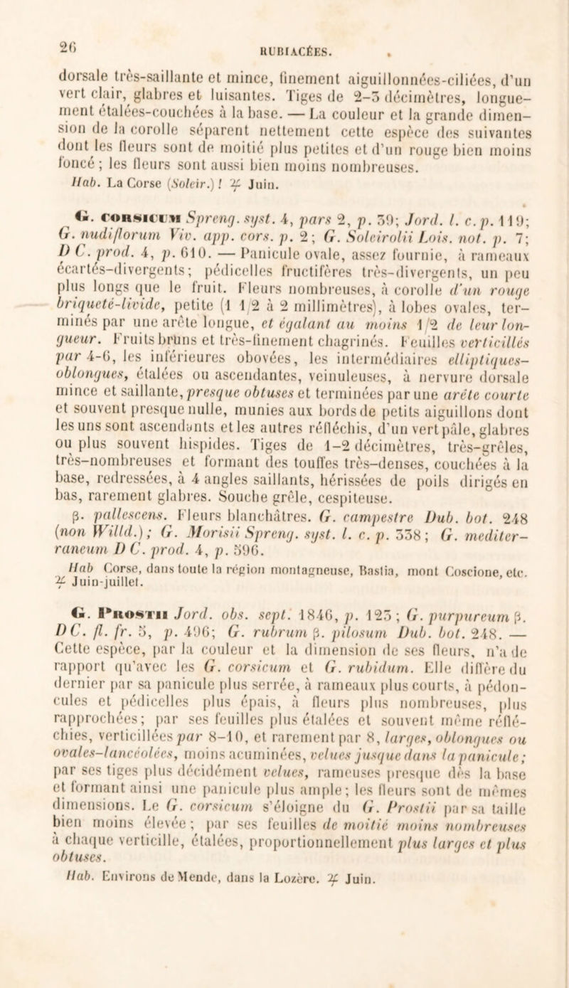 dorsale très-saillante et mince, finement aiguillonnées-ciliées, d’un vert clair, glabres et luisantes. Tiges de 2-3 décimètres, longue- ment etalees-couchées à la base. — La couleur et la grande dimen- si°n de l;i corolle séparent nettement cette espèce des suivantes dont les fleurs sont de moitié plus petites et d’un rouge bien moins loncé ; les fleurs sont aussi bien moins nombreuses. llcib. La Corse (Solcir.) ! Juin. G. cousin >1 Spreng. syst. 4, pars 2, p. 59; Jord. I. c.p. 1 19; G. nudiflorum Yiv. app. cors, p. 2 ; G. Soleirolii Lois. not. j). 7; l) ( . prod. 4, p. G10. — Panicule ovale, assez fournie, à rameaux écartés-divergents; pédicelles fructifères très-divergents, un peu plus longs que le fruit. Fleurs nombreuses, à corolle d'un rouge briqueté-livide, petite (1 12 à 2 millimètres), à lobes ovales, ter- mines par une arete longue, et égalant au moins 1 2 de leur lon- gueur . Fruits bruns et très-linement chagrinés, f euilles verticillés par 4-6, les inférieures obovées, les intermédiaires elliptiques- oblonguesy étalées ou ascendantes, veinuleuses, à nervure dorsale mince et saillante, presque obtuses at terminées par une arête courte et souvent presque nulle, munies aux bords de petits aiguillons dont les uns sont ascendants et les autres réfléchis, d’un vert pâle, glabres ou plus souvent hispides. Tiges de 1-2 décimètres, très-grêles, très-nombreuses et formant des touffes très-denses, couchées à la base, redressées, à 4 angles saillants, hérissées de poils dirigés en bas, rarement glabres. Souche grêle, cespiteuse. p. pallescens. Fleurs blanchâtres. G. campestre Dub. bot. 248 (non Willd.); G. Morisii Spreng. syst. I. c. p. 538; G. mediter- raneum I) C. prod. 4, p. 596. llab Corse, dans toute la région montagneuse, Bastia, mont Coscione etc. Juin-juillet. <i. Prostii Jord. obs. sept. 184G, p. 125; G. purpureum p PC. jl. fr. o, p. 496; G. rubrum p. pilosum Pub. bot. 248. — Cette espèce, par la couleur et la dimension de ses fleurs, n’a de rapport qu’avec les G. corsicum et G. rubidum. Elle diffère du dernier par sa panicule plus serrée, à rameaux plus courts, à pédon- cules et pédicelles plus épais, à fleurs plus nombreuses, plus rapprochées; par ses feuilles plus étalées et souvent même réflé- chies, verticillées par 8-10, et rarement par 8, larges, oblongues ou ovales-lancéolécs, moins acuminées, velues jusque dans la panicule; par ses tiges plus décidément velues, rameuses presque dès la base et formant ainsi une panicule plus ample; les fleurs sont de mêmes dimensions. Le G. corsicum s’éloigne du G. Proslii par sa taille bien moins elevée ; par ses feuilles de moitié moins nombreuses a chaque verticille, étalées, proportionnellement plus larges et plus obtuses. Hab. Environs de Mende, dans la Lozère. 2f Juin.