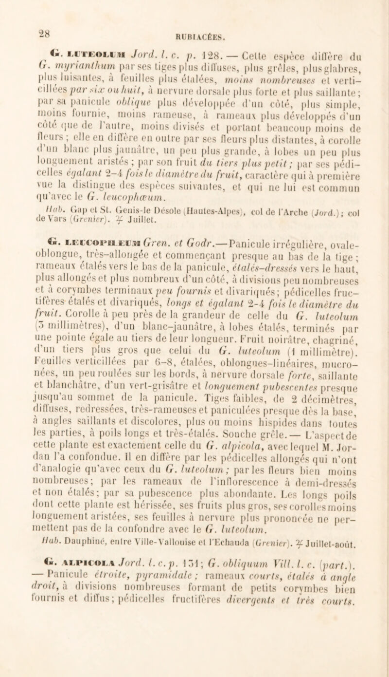 O. luteoliu Jord.l.c. p. 128. — Celle espace diffère du 11. myrianthum par ses tiges plus diffuses, plus grêles, plusglabres, plus luisantes, a leuilles plus étalées, moins nombreuses et verti— cilU*es par six ou huit, a nervure dorsale plus (brie et plus saillante ; j).ii sa paiiiculti oblique plus développée d'un côté, plus simple, moins fournie, moins rameuse, a rameaux plus développés d’un cote que de 1 autre, moins divises et portant beaucoup moins de (leurs ; elle en diffère en outre par ses fleurs plus distantes, à corolle d un blanc plus jaunâtre, un peu plus grande, à lobes un peu plus longuement aristés ; par son fruit du tiers plus petit ; par ses pédi- celles égalant 2-4 fois le diamètre du fruit, caractère qui à première vue la distingue des espèces suivantes, et qui ne lui est commun qu avec le G. Icucophœum. Hui). Gap et St. Genis-le Désole (Hautes-Alpes), col de l’Arche Jord.); col de Vais (Grenier), -g Juillet. im oi ii n nGren. et Godr.—Panicule irrégulière, ovale- oblongue, très—allongée et commençant presque au bas de la lige; rameaux étalés vers le bas de la panicule, étalés-dressés vers le liant, plus allongés et plus nombreux d’un côté, à divisions peu nombreuses et ii corxmbes terminaux peu fournis et divariqués; pédicelles fruc- tifères-étalés et divariqués, longs et égalant 2-i fois le diamètre du fruit. Corolle a peu près de la grandeur de celle du G. luteolum (3 millimètres), d’un blanc-jaunâtre, à lobes étalés, terminés par une pointe égale au tiers de leur longueur. Fruit noirâtre, chagriné, d’un tiers plus gros que celui du G. luteolum (1 millimètre)! Feuilles verticillées par G-8, étalées, oblongues-linéaires, mucro- nées, un peu roulées sur les bords, à nervure dorsale forte, saillante et blanchâtre, d un vert-grisâtre et longuement pubesrentes presque jusqu’au sommet de la panicule. Tiges faibles, de 2 décimètres, diffuses, redressées, très-rameuses et paniculées presque dès la base! a angles saillants et discolores, plus ou moins hispides dans toutes les parties, à poils longs et très-étalés. Souche grêle. — L’aspect de cette plante est exactement celle du G. alpicola, avec lequel M. Jor- dan l'a confondue. 11 en diffère par les pédicelles allongés qui n’ont d'analogie qu’avec ceux du G. luteolum; parles fleurs bien moins nombreuses; par les rameaux de l’inflorescence à demi-dressés et non étalés; par sa pubescence plus abondante. Les longs poils dont cette plante est hérissée, ses fruits plus gros, ses corolles moins longuement aristées, ses feuilles à nervure plus prononcée ne per- mettent pas de la confondre avec le G. luteolum. Ilub. Dauphiné, entre Ville- Vallouise et l’Echauda (Grenier;. ^Juillet-août. in. alpicola Jord. I. c. p. 131 ; G. obliquum Vill. I. c. part.). — Panicule étroite, pyramidale; rameau\ courts, étalés à angle droit, h divisions nombreuses formant de petits corymbes bien fournis et diffus; pédicelles fructifères divergents et très courts.