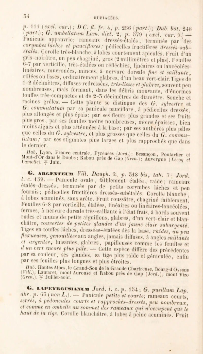 P‘ 11 1 [e-rcl. var.) ; DC. fl. fr. 4, p. 256 part.); Dub. bot. 2-48 (part.)-, (r. umbellatum Lam. diet. 2, p. 579 (excl. var. p.) I anii uli* appauvrie; rameaux dresses-étalés, terminés par des cory tubes lâches et pauci/lores; pédicelles fructifères dressés-sub- ètalés. Corolle très-blanche, à lobes courtement apiculés. Fruit d’un iris-noirâtre, un peu chagriné, gros (2 millimètres et plus). Feuilles >-/ par vert ici Ile, très-étalées ou réfléchies, linéaires ou lancéolées- linéaires, mucronées, minces, à nervure dorsale fine et saillante, ciliées ou lisses, ordinairement, glabres, d’un beau vert-clair.Tiges de 1 -2 décimètres, dilïuses-redressées, très-lisses et glabres, souvent peu nombreuses, mais formant, dans les débris mouvants, d’énormes tou fies très-compactes et de 2-3 décimètres de diamètre. Souche et racines grêles. — Cette plante se distingue des G. sylvestre et (i. commutatum par sa panicule paucillore, à pédicelles dressés, plus allonges et plus épais; par ses fleurs plus grandes et ses fruits plus gros, par ses feuilles moins nombreuses, moins épaisses, bien moins aigues et plus atténuées à la base; par ses anthères plus'pâles que celles du G. sylvestre, et plus grosses que celles du G. commu- tatum; par ses stigmates plus larges et plus rapprochés que dans le dernier. Mon, France centrale, P)rénées (,Jord.); Besançon, Pontarlier et I fnno7/e?r^ajuin Doubs;Rabou Pre* de Cap (6ren.) ; Auvergne (Leeog et Ci. aboeuteuim Vill. Dauph. 2, p. 318 bis, tab. 7; Jord. L c. 152. — Panicule ovale, faiblement étalée, raide; rameaux étalés-dressés, terminés par de petits corymbes lâches et peu fournis; pédicelles fructifères dressés-subétalés. Corolle blanche à lobes aeuminés, sans arête. Fruit roussâtre, chagriné faiblement.’ Feuilles 6-8 par verticille, étalées, linéaires ou linéaires-lancéolées* fermes, à nervure dorsale très-saillante à l’état frais, à bords souvent rudes et munis de petits aiguillons, glabres, d'un vert-clair et blan- châtre, couvertes de petites glandes d'un jaune clair subargenté. 1 iges en toulfes lâches, dressées-étalées dès la base, raides, un peu fiexueuses, genouillées aux angles, jamais diffuses, à angles saillants et argentés, luisantes, glabres, papille uses comme les feuilles et d’un vert encore plus pâle. — Cette espèce diffère des précédentes par sa couleur, ses glandes, sa tige plus raide et géniculée, enfin par ses feuilles plus longues et plus étroites. Joutes Alpes, le Grand-Son de la Grande-Chartreuse, Bourg-d Ovsans Lauterel, mont Aurouse et Rabou près de Gap (Jord. ; montVizo {(jren.,. 2f Juillet-aout. ii. LtPEi RoisuKiiM Jord. I. c. p. 4 54 ; G. pusillum Lap. abr. p. 63 (non L.). — Panicule petite et courte; rameaux courts serrés, à pédoncules courts et rapprochés-dressés, peu nombreux’ et comme en ombelle au sommet des rameaux gui n'occupent que le haut de la tige. Corolle blanchâtre, à lobes à peine aeuminés. Fruit