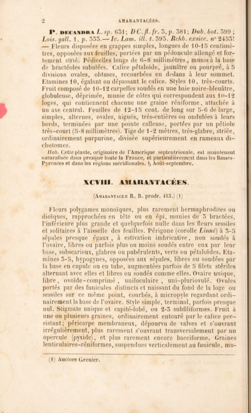 -) I*. % L.sp. 031; DC.fl.fr. 5,p. 381; Dub. bot. 599 ; Lois, tjall. 1, p. 333.— le. Lam. ill. t. 593. Re/tb. eæsicc. n° 2-455! — Fleurs disposées en grappes simples, longues de 10-15 centimè- tres, opposées aux feuilles, portées par un pédoncule allongé et for- tement strié. Pédicelles longs de 0-8 millimètres, munis à la base de bractéoles subulées. Calice pétaloïde, jaunâtre ou pourpré, à 5 divisions ovales, obtuses, recourbées en dedans à leur sommet. Etamines 10, égalant ou dépassant le calice. Styles 10, très-courts. Fruit composé de 10-12 carpelles soudés en une baie noire-bleuâtre, globuleuse, déprimée, munie de côtes qui correspondent aux lu-12 loges, qui contiennent chacune une graine réniforme, attachée à un axe central. Feuilles de 12-15 cent, de long sur 5-0 de large, simples, alternes, ovales, aiguës, très-entières ou ondulées à leurs bords, terminées par une pointe calleuse, portées par un pétiole très-court (5-8 millimètres). Tige de 1-2 mètres, très-glabre, striée, ordinairement purpurine, divisée supérieurement en rameaux di- chotoines. llab. Cette plante, originaire de l'Amérique septentrionale, est maintenant naturalisée dans presque toute la France, et particulièrement dans les Basses- P\renées et dans les régions méridionales. Août-septembre. \CYI1I. AMAIUITACÉKS. (Amabantaceæ K. B. prodr. 415.) (I) Fleurs polygames monoïques, plus rarement hermaphrodites ou dioïques, rapprochées en tète ou en épi, munies de 3 bractées, l’inférieure plus grande et quelquefois nulle dans les fleurs sessiles et solitaires à Faisselle des feuilles. Périgone (corolle Linné) à 3-5 sépales presque égaux, à estivation imbricative, non soudés à l’ovaire, libres ou parfois plus ou moins soudés entre eux par leur base, subscarieux, glabres ou pubérulents, verts ou pétaloïdes. Eta- mines 3-5, bypogynes, opposées aux sépales, libres ou soudées par la base en cupule ou en tube, augmentées parfois de 5 filets stériles alternant avec elles et libres ou soudés comme elles. Ovaire unique, libre, ovoïde-comprimé , uniloculaire, uni-pluriovulé. Ovules portés par des funicules distincts et naissant du fond de la loge ou sessiles sur ce même point, courbés, à micropyle regardant ordi- nairement labase de l’ovaire. Style simple, terminal, parfois presque nul. Stigmate unique et capité-lobé, ou 2-5 subfiliformes. Fruit à une ou plusieurs graines, ordinairement entouré par le calice per- sistant; péricarpe membraneux, dépourvu de valves et s’ouvrant irrégulièrement, plus rarement s’ouvrant transversalement par un opercule (pyxide), et plus rarement encore bacciforme. Graines lenticulaires-réniformes, suspendues verticalement au funicule, inu-