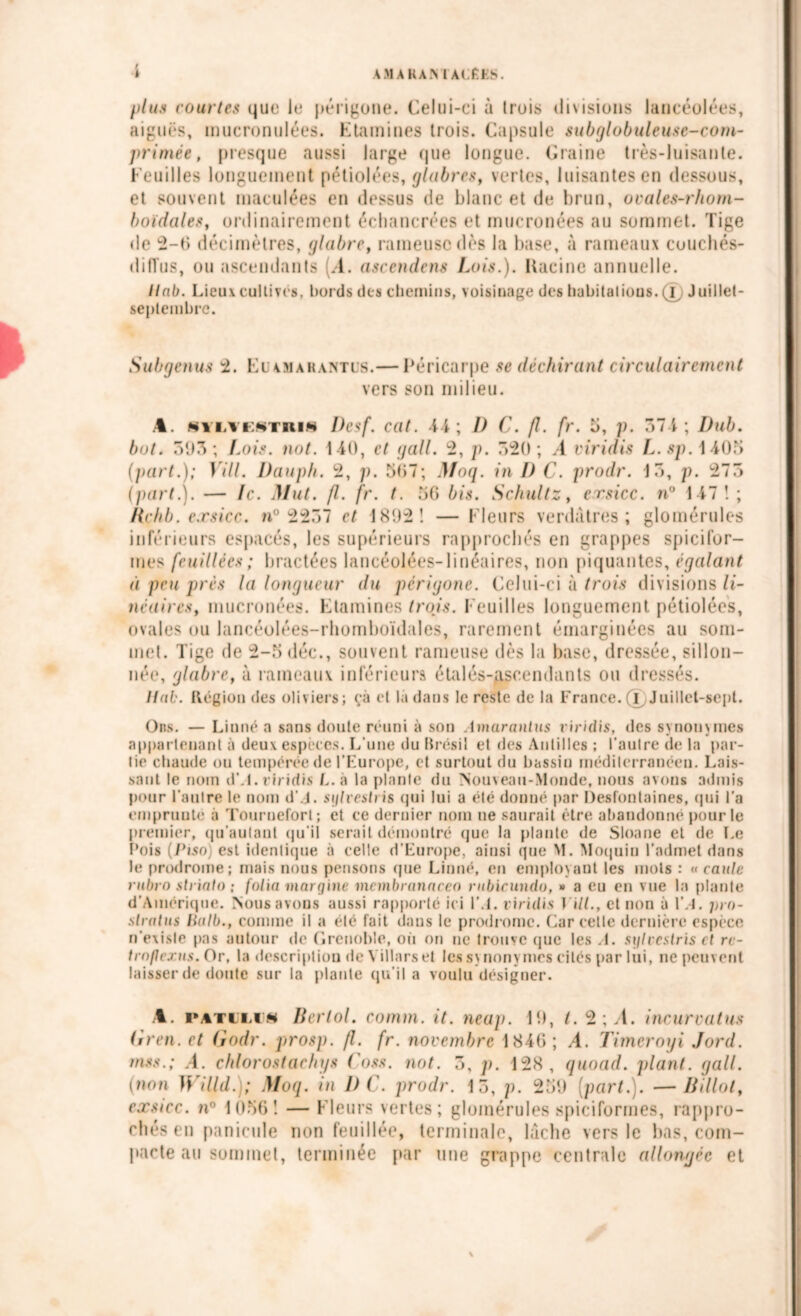 t \MARA.\ l'ACfiKS. plus courtes que le périgone. Celui-ci à trois divisions lancéolées, aiguës, mucronulées. Etamines trois. Capsule subglobuleuse-com- primée, presque aussi large (pie longue. Graine très-luisante. Feuilles longuement pétiolées, glabres, vertes, luisantes en dessous, et souvent maculées en dessus de blanc et de brun, ovales-rhom- boïdales, ordinairement échancrées et mucronées au sommet. Tige de 2-6 décimètres, glabre, rameuse dès la base, à rameaux couchés- diffus, ou ascendants (.4. ascendens Lois.). Racine annuelle. Ilab. Lieux cultivés, bords des chemins, voisinage des habitalious. (I Juillet- septembre. Subgenus 2. Fc amarantls.— Péricarpe se déchirant circulairement vers son milieu. A. nylyektiun I)esf. cat. 44; I) C. fl. fr. b, p. 374; Dub. bot. 393; Lois. not. 140, et gall. 2, p. 320; A viridis L.sp. 1405 (part.); Vill. Dauph. 2, p. 507; Moq. in I) C. prodr. 13, p. 273 (part.). — le. Mut. fl. fr. t. 56 bis. Schultz, crsicc. n° 147! ; Rchb. e.rsicc. n° 2237 et 1892! — Fleurs verdâtres; glomérules inférieurs espacés, les supérieurs rapprochés en grappes spieilbr- mes [caillées ; bractées lancéolées-linéaires, non piquantes, égalant à peu prés la longueur du périgone. Celui-ci à trois divisions li- néaires, mucronées. Etamines trois. Feuilles longuement pétiolées, ovales ou lancéolées-rhomboïdales, rarement émarginées au som- met. Tige de 2-5 déc., souvent rameuse dès la base, dressée, sillon- née», glabre, à rameaux inférieurs étalés-ascendants ou dressés. Itab. Région des oliviers; çà et la dans le reste de la France. (F Juillet-sept. Ons. — Linné a sans doute réuni à son .Imarcmtus viridis, des synonvmes appartenant à deux espèces. L’une du Brésil et des Antilles ; l'autre de la par- tie chaude ou tempérée de l'Europe, et surtout du bassin méditerranéen. Lais- sant le nom d’.L viridis L. a la plante du Nouveau-Monde, nous avons admis pour l'autre le nom d'.-J. sglvestris qui lui a été donné par Desfontaines, qui l’a empruute a Touruefort ; et ce dernier nom ne saurait être abandonné pour le premier, qu’aulanl qu'il serait démontré que la plante de Sloane et de Le t’ois (Piso) est identique à celle d'Europe, ainsi que M. Moquin l’admet dans le prodrome; mais nous pensons (pie Linné, en employant les mots : « vante rubro sh into ; folia marqine membranaceo rnbicundo, » a eu en vue la plante d’Amérique. Nous avons aussi rapporté ici l'.t. viridis 1 ill., et non à VA. pro- stratus tlnlb., comme il a été fait dans le prodrome. Car cette dernière espèce n'existe pas autour de Grenoble, ou on ne trouve que les A. sglvcstris et rc- trnftezns. Or, la description deVillarset les svnonymcs cités par lui, ne peuvent laisser de doute sur la plante qu’il a voulu désigner. A. patimn Berlol. comm. it. neap. 19, t. 2;.4. incurvât us Gren.et Godr. prosp. fl. fr. novembre 1846; A. Timeroyi Jord. mss.; ,4. chlorostachgs Coss. not. 3, p. 128, quoad. plant, gall. (non Willd.); Moq. in 1)C. prodr. 13, p. 259 (part.). —Billot, exsicc. n° 1056! — Fleurs vertes; glomérules spiciformes, rappro- chés en pnnicule non fetiiliée, terminale, lâche vers le lias, com- pacte au sommet, terminée par une grappe centrale allongée et
