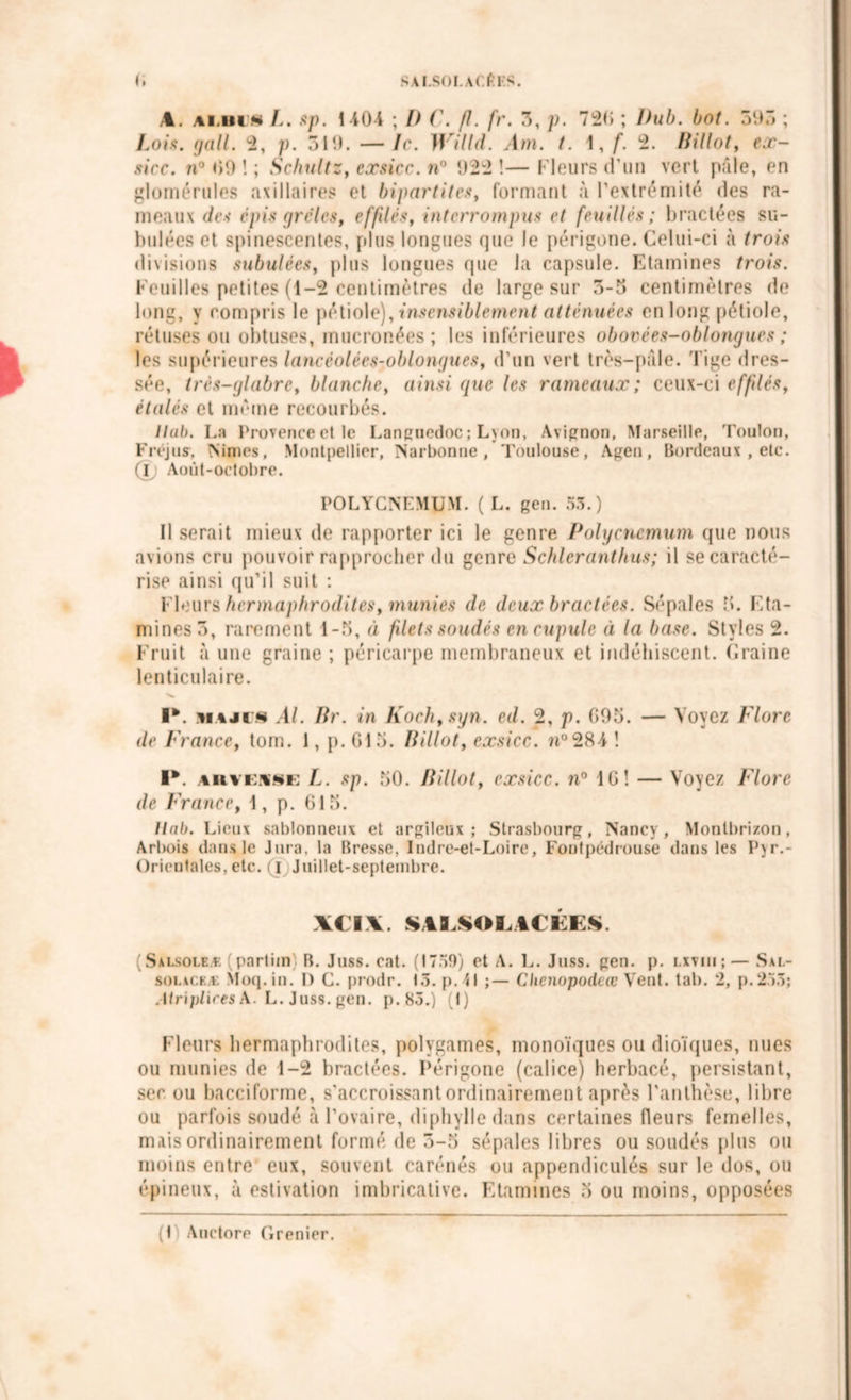 SAI.SOI.ACÊI'S. A. ai.uim sp. 1404 ; P ('. fl. fr. 3, p. 720 ; Pub. bot. 59.“* ; Lois. gall. 2, p. 319. —le. Willd. Am. t. 1, f. 2. Billot, ex- sicc. n° 09 î ; Schultz, exsicc. n° 922 !— Fleurs d'un vert pâle, en glomérules axillaires et bipartites, formant à l’extrémité des ra- meaux des épis grêles, effilés, interrompus et feuilles; bractées su- bulées et spinescentes, plus longues que le périgone. Celui-ci à trois divisions subulées, plus longues que la capsule. Etamines trois. Feuilles petites (1-2 centimètres de large sur 5-3 centimètres de long, y compris le pétiole), insensiblement atténuées en long pétiole, rétuses ou obtuses, mucronées ; les inférieures obovées-oblongues ; les supérieures lancéolêes-oblongues, d’un vert très-pâle, l ige dres- sée, très-glabre, blanche, ainsi que les rameaux; ceux-ci effilés, étalés et même recourbés. llab. La Provence et le Languedoc; Lyon, Avignon, Marseille, Toulon, Fréjus, Nimes, Montpellier, Narbonne, Toulouse, Agen, Bordeaux , etc. fl Août-octobre. POLYCNEMUM. ( L. gen. 53.) Il serait mieux de rapporter ici le genre Polycncmum que nous avions cru pouvoir rapprocher du genre Schleranthus; il se caracté- rise ainsi qu’il suit ; Fleurs hermaphrodites, munies de deux bractées. Sépales 5. Eta- mines 3, rarement 1-5, à filets soudés en cupule à la base. Styles 2. Fruit à une graine ; péricarpe membraneux et indéhiscent. Graine lenticulaire. I*. maji§ .4/. Br. in Koch,syn. ed. 2, p. 095. — Voyez Flore de France, tom. 1, p. G15. Billot, exsicc. n°284 î ■V AnvEiSE L. sp. 50. Billot, exsicc. n° 10! — Voyez Flore de France, 1, p. 615. llab. Lieux sablonneux et argileux; Strasbourg, Nancy, Montbrizon, Arbois dans le Jura, la Bresse, Indre-et-Loire, Fontpédrouse dans les Pyr.- Orientales, etc. (J Juillet-septembre. XCIA. SAESOLACÉES. (Salsole* (partim) B. Juss. cat. (1759) et A. L. Juss. gen. p. lxviii;— Sal- solaceæ Moq.in. I) G. prodr. 13. p.4l ;— Clienopodeœ Vent. tab. 2, p.253; Atriplices A. L. Juss. gen. p.85.) (1) Fleurs hermaphrodites, polygames, monoïques ou dioïques, nues ou munies de 1-2 bractées. Périgone (calice) herbacé, persistant, sec ou bacciforme, s'accroissant ordinairement après l'anthèse, libre ou parfois soudé à l'ovaire, diphylle dans certaines fleurs femelles, mais ordinairement formé de 3-5 sépales libres ou soudés plus ou moins entre eux, souvent carénés ou appendiculés sur le dos, ou épineux, à estivation imbricative. Etamines 3 ou moins, opposées