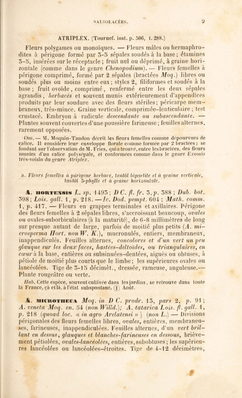 ATRIPLEX. (Tournef. inst. p. 500, t. 288.) Fleurs polygames ou monoïques. — Fleurs mâles ou hermaphro- dites à périgone formé par 3-5 sépales soudés à la base; étamines 5-5, insérées sur le réceptacle ; fruit nul ou déprimé, à graine hori- zontale (comme dans le genre Chenopoclium).— Fleurs femelles à périgone comprimé, formé par 2 sépales (bractées Moq.) libres ou soudés plus ou moins entre eux ; styles 2, filiformes et soudés à la base; fruit ovoïde, comprimé, renfermé entre les deux sépales agrandis, herbacés et souvent munis extérieurement d’appendices produits par leur soudure avec des lleurs stériles; péricarpe mem- braneux, très-mince. Graine verticale, comprimée-lenticulaire ; test crustacé. Embryon à radicule descendante ou subascendante. — Plantes souvent couvertes d’une poussière farineuse; feuilles alternes, rarement opposées. Obs.— M. Moquin-Tandon décrit les fleurs femelles comme dépourvues de calice. 11 considéré leur euveloppe florale comme formée par 2 bractées; se fondaut sur l’observation de M. Fries, quia trouvé, entre les bractées, des fleurs munies d'un calice polysépale, et conformées comme dans le genre Eccomis très-voisin du genre Atriplex. a. Fleurs femelles à périgone herbacé, tantôt bipartite et à graine verticale, tantôt ô-phglle et à graine horizontale. A. noiiTEHSis L. sp. 1495; D C. fl. fr. 3, p. 588 ; Dub. bot. 398; Lois. gall. 1, p. 218. —le. Dod. pempt. 604 ; Math. comm. \, p. 417. — Fleurs en grappes terminales et axillaires. Périgone des fleurs femelles à 2 sépales libres, s’accroissant beaucoup, ovales ou ovales-suborbiculaires (à la maturité), de 6-8 millimètres de long sur presque autant de large, parfois de moitié plus petits (.4. mi- crosperma Hort. nonW. K.), mucronulés, entiers, membraneux, inappendiculés. Feuilles alternes, concolores et d’un vert un peu glauque sur les deux faces, hastées-deltoïdes, ou triangulaires, en cœur h. la base, entières ou subsinuées-dentées, aiguës ou obtuses, à pétiole de moitié plus courts que le limbe; les supérieures ovales ou lancéolées. Tige de 3-15 décimèt., dressée, rameuse, anguleuse.— Plante rougeâtre ou verte. Itab. Cette espèce, souvent cultivée dans les jardins, se retrouve dans toute la France, çà etlà, à l’état subspontané, (jj Août. A. xiiCROTiiECA Moq. in D C. prodr. 15, pars 2, p. 91; A. veneta Moq. en. 54 (non Willd.); A. tatarica Lois. fl. gall. 1, p. 218 (quoad loc. « in agro Arelatensi » ) (non L.) — Divisions périgonales des fleurs femelles libres, ovales, entières, membraneu- ses, farineuses, inappendiculées. Feuilles alternes, d’un vert bril- lant en dessus, glauques et blanches-farineuses en dessous, briève- ment pétiolées, ovales-lancéolées, entières, subobtuses ; les supérieu- res lancéolées ou lancéolées-étroites. Tige de 4-12 décimètres,