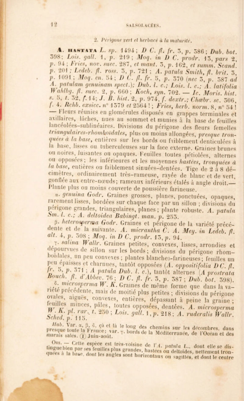 2. Périgone vert et herbacé à la maturité. .4. inwTATA L. sp. 1494; I) C. fl. fr. 3, p. 586; Dub. bot. 398; Lois. gall. 1, p. 219; Moq. in I) C. prodr. 13.pars 2, p. 94 ; Fries, nov. suec. 287, et niant. 3, p. 102, et summ. Scand. p. 201 ; Ledeb. fi. ross. 3, p. 721 ; A. patula Smith, fl. brit. 3 p. 1091 ; Moq. en. 54; D ( . fl. fr. 5, p. 570 (nec 5, p. 587 arf A. patulam genuinam spect.); Dub. I. c.; Lois. I. c.; A. latifolia ahlbg. fl. suec. 2, p. 660; Koch, syn. 702. — le. Moris. hist. s. ;>, t. 52, f. 14; J. IJ. hist. 2, p. 974, f. dextr.; Chœbr. sc. 306, f. 4. Ik< hb. exsicc. u J o7!) et 2564 ! ; Iries, herb. norm. 8, n° 54 ! — Fleurs réunies en glomérules disposés en grappes terminales et axillaires, lâches, nues au sommet et munies à la base de feuilles lancéolées-sublinéaires. Divisions du périgone des fleurs femelles triangulaires-rhomhoidoles, plus ou moins allongées, presque tron- quées à la base, entières sur les bords ou faiblement denticulées à la base, lisses ou tuberculeuses sur la face externe. Graines brunes ou noires, luisantes ou opaques. Feuilles toutes pétiolées, alternes ou opposées ; les inférieures et les moyennes hastees, tronquées à la base, entières ou faiblement sinuées-dentées. Tige de 2 à 8 dé- cimètres, ordinairement très-rameuse, rayée de blanc et de vert, gonflée aux entre-nœuds; rameaux inférieurs étalés à angle droit.— I lante plus ou moins couverte de poussière farineuse. a. genuina Godr. Graines grosses, planes, ponctuées, opaques, rarement lisses, bordées sur chaque face par un sillon ; divisions du p cri go ne grandes, triangulaires, planes; plante robuste. A. patula /. c.; A. deltoidca JJabingt. man. p. 253. p. heterosperma Godr. Graines et périgone de la variété précé- dente et de la suivante. .4. micrantha C. A. Me y. in Ledeb. fl. ait. 4, p. 508 ; Moq. in I) C. prodr. 13, p. 94. . salma Wallr. Graines petites, convexes, lisses, arrondies et dépourvues de sillon sur les bords; divisions du périgone rhom- I>oidams, un peu convexes; plantes blanches-farineuses; feuilles un peu épaisses et charnues, tantôt opposées (A. opposilifolia DG. fl. V °\ P'' ' l\£ Vcllu,a Dub. I. c.), tantôt alternes [A prostrata Bouch. fl. d Abbu.lt ; 1) C. fl. fr. 3, p. 587 ; Dub. bot. 398). o. nnerosperma W. A. Graines de même forme que dans la va- riété précédente, mais de moitié plus petites ; divisions du périgone ovale.s, aigues, convexes, entières, dépassant à peine la graine ; œnlles minces, pales, toutes opposées, dentées. A. microsperma SchcdP'\n'' L 250’ L°iS‘ 9aü' P* 218; A- ruderalis Wallr. Xeà7.n,c sü‘!fkfihpsi1 Rraîdhe'’ i'™**» .7'Iwîl)r!ie'(,7éî!™wVi'(mn7 q ' la hntr ri01 lcs anS|es sonl horizontaux ou . et dont le centre