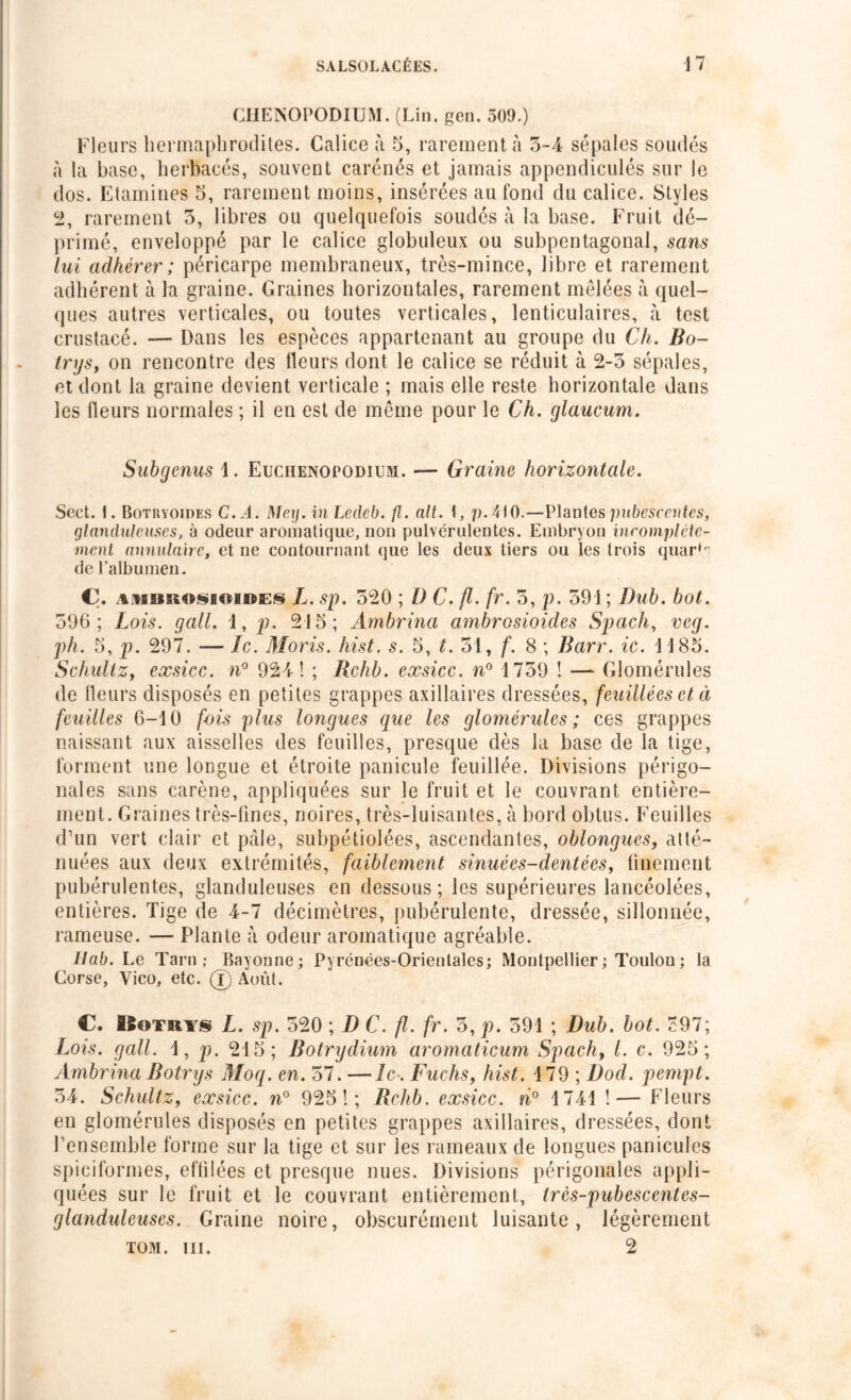 CHENOPODIUM. (Lin. gen. 509.) Fleurs hermaphrodites. Calice à 5, rarement à 3-4 sépales soudés à la hase, herbacés, souvent carénés et jamais appendiculés sur le dos. Etamines 5, rarement moins, insérées au fond du calice. Styles 2, rarement 5, libres ou quelquefois soudés à la base. Fruit dé- primé, enveloppé par le calice globuleux ou subpentagonal, sans lui adhérer ; péricarpe membraneux, très-mince, libre et rarement adhérent à la graine. Graines horizontales, rarement mêlées à quel- ques autres verticales, ou toutes verticales, lenticulaires, à test crustacé. — Dans les espèces appartenant au groupe du Ch. Bo- trys, on rencontre des fleurs dont le calice se réduit à 2-3 sépales, et dont la graine devient verticale ; mais elle reste horizontale dans les fleurs normales ; il en est de même pour le Ch. glaucum. Suhgenus 1. Euchenopodium. — Graine horizontale. Sect. t. Botryoides C.A. Me y. in Leclcb. fl. ait. 1, p.4\0.—Plantes pubescentes, glanduleuses, ù odeur aromatique, non pulvérulentes. Embryon incomplète- ment annulaire, et ne contournant que les deux tiers ou les trois quar* ' de l’albumen. Ç. AMBRO§ioiDE§ L. sp. 520 ; L) C. fl. fr. 5, p. 591 ; Dub. bot. 596; Lois, g ail. 1, p. 215; Ambrina ambrosioides Spach, veg. ph. 5, p. 297. — le. Moris. hist. s. 5, t. 31, f. 8 ; Barr. ic. 1185. Schultzf exsicc. n° 924! ; Rchb. exsicc. n° 1739 ! — Glomérules de fleurs disposés en petites grappes axillaires dressées, feuille es et et feuilles 6-1 ü fois plus longues que les glomérules ; ces grappes naissant aux aisselles des feuilles, presque dès la base de la tige, forment une longue et étroite panicule feuillée. Divisions périgo- nales sans carène, appliquées sur le fruit et le couvrant entière- ment. Graines très-fines, noires, très-luisantes, à bord obtus. Feuilles d’un vert clair et pâle, subpétiolées, ascendantes, oblongues, atté- nuées aux deux extrémités, faiblement sinuées-dentées, finement pubérulentes, glanduleuses en dessous; les supérieures lancéolées, entières. Tige de 4-7 décimètres, pubérulente, dressée, sillonnée, rameuse. — Plante à odeur aromatique agréable. Ilab. Le Tarn,* Bayonne; Pyrénées-Orientales; Montpellier ; Toulon ; la Corse, Yico, etc. (j) Août. C. Kotrys L. sp. 520 \DC.fl. fr. 5, p. 591 ; Dub. bot. *97; Lois. gall. 1, p. 215; Botrydium aromaticum Spach, l. c. 925; Ambrina Botrys Moq. en. 57. —le . Fuchs, hist. 179 ; Docl. pempt. 34. Schultz, exsicc. n° 925!; Rchb. exsicc. ri0 1741 !— Fleurs en glomérules disposés en petites grappes axillaires, dressées, dont l’ensemble forme sur la tige et sur les rameaux de longues panicules spiciformes, effilées et presque nues. Divisions périgonales appli- quées sur le fruit et le couvrant entièrement, très-pubescentes- glanduleuses. Graine noire, obscurément luisante, légèrement TOM. III. 2