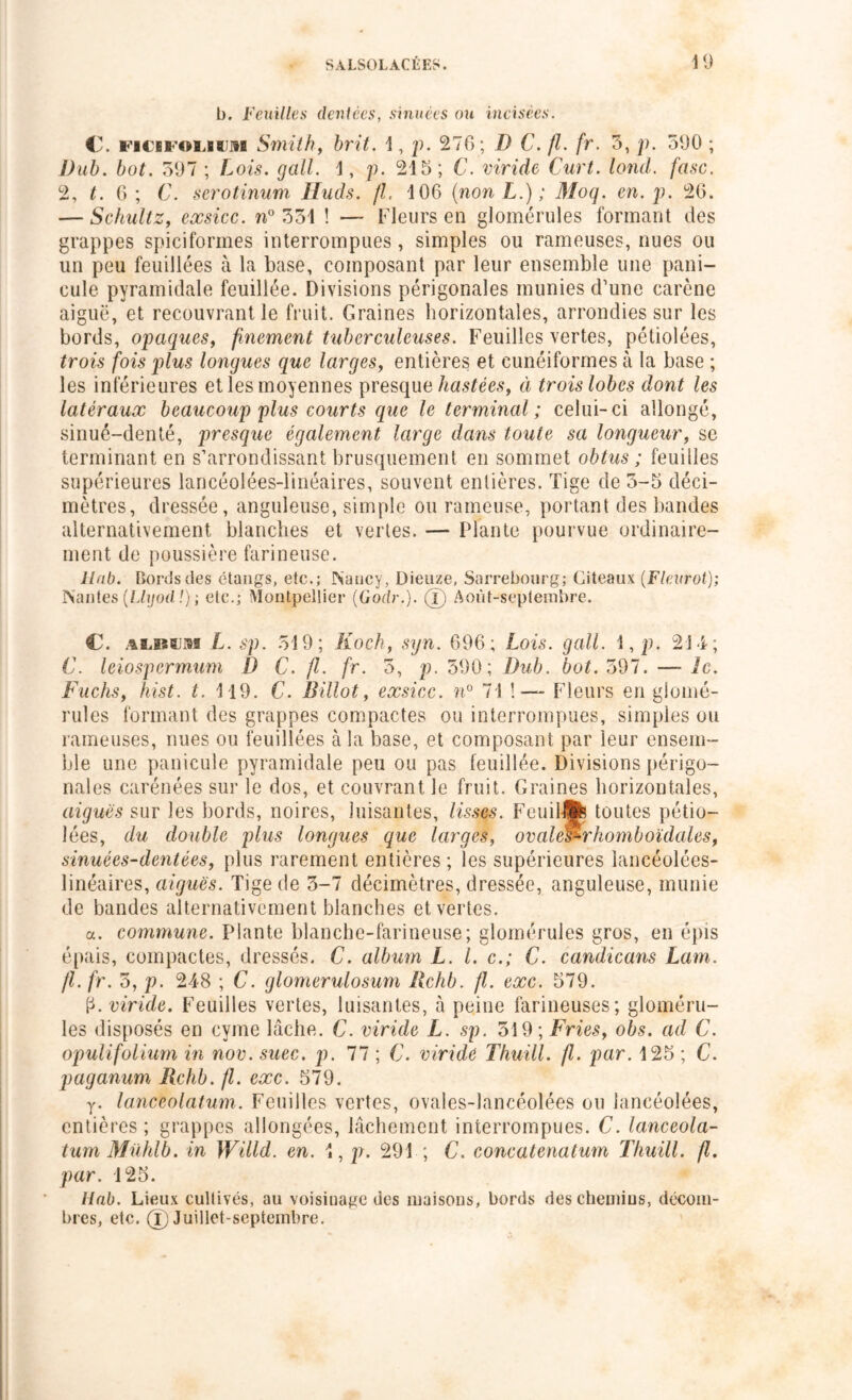 b. Feuilles dentées, sinuèes ou incisées. €5. FiciioLium Smith, fcnT. 1, ]). 276; /> C. //. fr. 3, ]>. 51)0 ; Dub. but. 597 ; Lois. gall. 1, p. 215; C. viride Curt. tond. fasc. 2, t. 6 ; C. serotinum Huds. fl. 106 (non L.) ; Moq. en. p. 26. — Schultz, exsicc. n° 531 ! — Fleurs en glomérules formant des grappes spiciformes interrompues, simples ou rameuses, nues ou un peu feuillues à la base, composant par leur ensemble une pani- cule pyramidale feuillée. Divisions périgonales munies d’une carène aiguë, et recouvrant le fruit. Graines horizontales, arrondies sur les bords, opaques, finement tuberculeuses. Feuilles vertes, pétiolées, trois fois plus longues que larges, entières et cunéiformes à la base ; les inférieures etlesmoyennes presque hastées, à trois lobes dont les latéraux beaucoup plus courts que le terminal; celui-ci allongé, sinué-denté, presque également large dans toute sa longueur, sc terminant en s’arrondissant brusquement en sommet obtus ; feuilles supérieures lancéolées-linéaires, souvent entières. Tige de 3-5 déci- mètres, dressée, anguleuse, simple ou rameuse, portant des bandes alternativement blanches et vertes. — Plante pourvue ordinaire- ment de poussière farineuse. llab. Cords des étangs, etc.; Nancy, Dietize, Sarrebourg; Giteaux (Flevrot); Nantes (Llyod !) ; etc.; Montpellier (Godr.). (î) Août-septembre. C. album L. sp. 519; Koch, syn. 696; Lois. gall. \ , p. 214; C. leiospermum D C. fl. fr. 5, p. 390; Dub. bot. 597. — le. Fuchs, hist. t. 119. C. Billot, exsicc. n° 71 !•— Fleurs en glomé- rules formant des grappes compactes ou interrompues, simples ou rameuses, nues ou feuillées à la base, et composant par leur ensem- ble une panicule pyramidale peu ou pas feuillée. Divisions périgo- nales carénées sur le dos, et couvrant le fruit. Graines horizontales, aiguës sur les bords, noires, luisantes, lisses. FeuillSfe toutes pétio- lées, du double plus longues que larges, ovalès^rhomboïdales, sinuées-dentées, plus rarement entières ; les supérieures lancéolées- linéaires, aiguës. Tige de 3-7 décimètres, dressée, anguleuse, munie de bandes alternativement blanches et vertes. a. commune. Plante blanche-farineuse; glomérules gros, en épis épais, compactes, dressés. C. album L. I. c.; C. candicans Lam. fl. fr. 3, p. 248 ; C. glomerulosum llchb. fl. exc. 579. p. viride. Feuilles vertes, luisantes, à peine farineuses; gloméru- les disposés en cyme lâche. C. viride L. sp. 519; Fries, obs. ad C. opulifolium in nov. suec. p. 77 ; C. viride Thuill. fl. par. 125 ; C. paganum Rchb. fl. exc. 579. y. lanceolatum. Feuilles vertes, ovales-lancéolées ou lancéolées, entières ; grappes allongées, lâchement interrompues. C. lanceola- tum Mühlb. in Willd. en. 1, \i. 291 ; C. concatenatum Thuill. fl. par. 125. llab. Lieux cultivés, au voisinage des maisons, bords deschemius, décom- bres, etc. Qp Juillet-septembre.