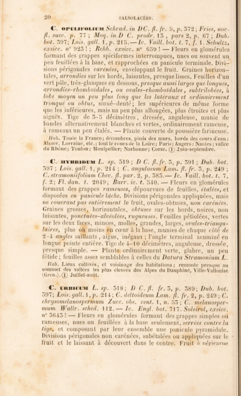 V. opuiihu ii m Schrad. in PC. fl. fr. 5, /;. 372; Fries, noc- fl. suec. p. 77 ; Moq. in 1) C. prodr. 13 , pars 2, p. 07 ; l)ub. bot. 397; Lois. gall. \,p. 215. — Je. Vaill. bot. t. 7, f. \. SchuUz, exsicc. n° 923 ! ; Rchb. exsicc. n° 051) ! — Fleurs en glomérules formant des grappes spiciformes interrompues, nues ou souvent un peu feuilléesà la base, et rapprochées en panieule terminale. Divi- sions périgonales carénées, enveloppant le fruit. Graines horizon- tales, arrondies sur les bords, luisantes, presque lisses. Feuilles d’un vert pâle, très-glauques en dessous, presque aussi larges que longues, arrondies-rhomboïdales, ou ovales-rhomboïdales , subtrilobécs, à lobe moyen un peu plus long que les latéraux et ordinairement tronqué ou obtus, sinué-denté; les supérieures de meme forme que les inférieures, mais un peu plus allongées, plus étroites et plus aiguës. Tige de 3-5 décimètres, dressée, anguleuse, munie de bandes alternativement blanches et vertes, ordinairement rameuse, a rameaux un peu étalés. — Plante couverte de poussière farineuse. Hab. Toute la France; décombres, pieds des murs, bords des cours d’eau ; Alsace, Lorraine, etc.; tout le coins de la Loire; Paris; Augers ; Nantes ; vallée du Rhône; Foulon; Montpellier; Narbonne; Corse, ti Juin-septembre. €. uvimiinu L. sp. 310 ; J) C. fl.fr. 3, p. 391 ; Pub. bot. 397 ; Lois. gall. 1, p. 214 ; C. angulosum Lam. fl. fr. 3, p. 249 ; ('. stramoniifolium Cher. fl. par. 2, p. 383.— le. Vaill. bot. t. 7, f. 2; Fl. dan. t. 2019; ÎJarr. ic. t. 510. — Fleurs en glomérules formant des grappes rameuses, dépourvues de feuilles, étalées, et disposées en panieule lâche. Divisions périgonales appliquées, mais ne couvrant pas entièrement le fruit, ovales-obtuses, non carénées. Graines grosses, horizontales, obtuses sur les bords, noires, non luisantes, poncluées-alvéolées, rugueuses. Feuilles pétiolées, vertes sur les deux faces, minces, molles, grandes, larges, ovales-triangu- laires, plus ou moins eu cœur à la base, munies de chaque côté de 2-1 angles saillants, aigus, inégaux ; l’angle terminal acuminé en longue pointe entière. Tige de-1-10 décimètres, anguleuse, dressée, presque simple. — Plante ordinairement verte, glabre, un peu fétide; feuilles assez semblables à celles du Datura Stramonium !.. ttab. Lieux cultivés, et voisinage des habitations; remonte presque au sommet des vallées les plus élevées des Alpes du Dauphiné, Ville-Yallouise Hircn.).(i) Juillet-août. €. CHRIC1M L. sp. 318; I) C. fl. fr.otp. 389; Pub. bot. 397; Lois. gall. 1, p. 214; C. deltoideum Lam. fl. fr. 2, p. 249 ; C. chrysomclanospcrmum Zucc. obs. cent. 1, n. 53; C. melanosper- mum Wallr. sched. 112.— le. Engl. bot. 717. Solcirol, exsicc. n 3643 1 — Meurs en glomérules formant des grappes simples on rameuses, nues ou feuillées à la base seulement, serrées contre la tige, et composant par leur ensemble une panieule pyramidale. Divisions périgonales non carénées, subétalées ou appliquées sur le fruit et le laissant à découvert dans le centre. Fruit à nérimrnn