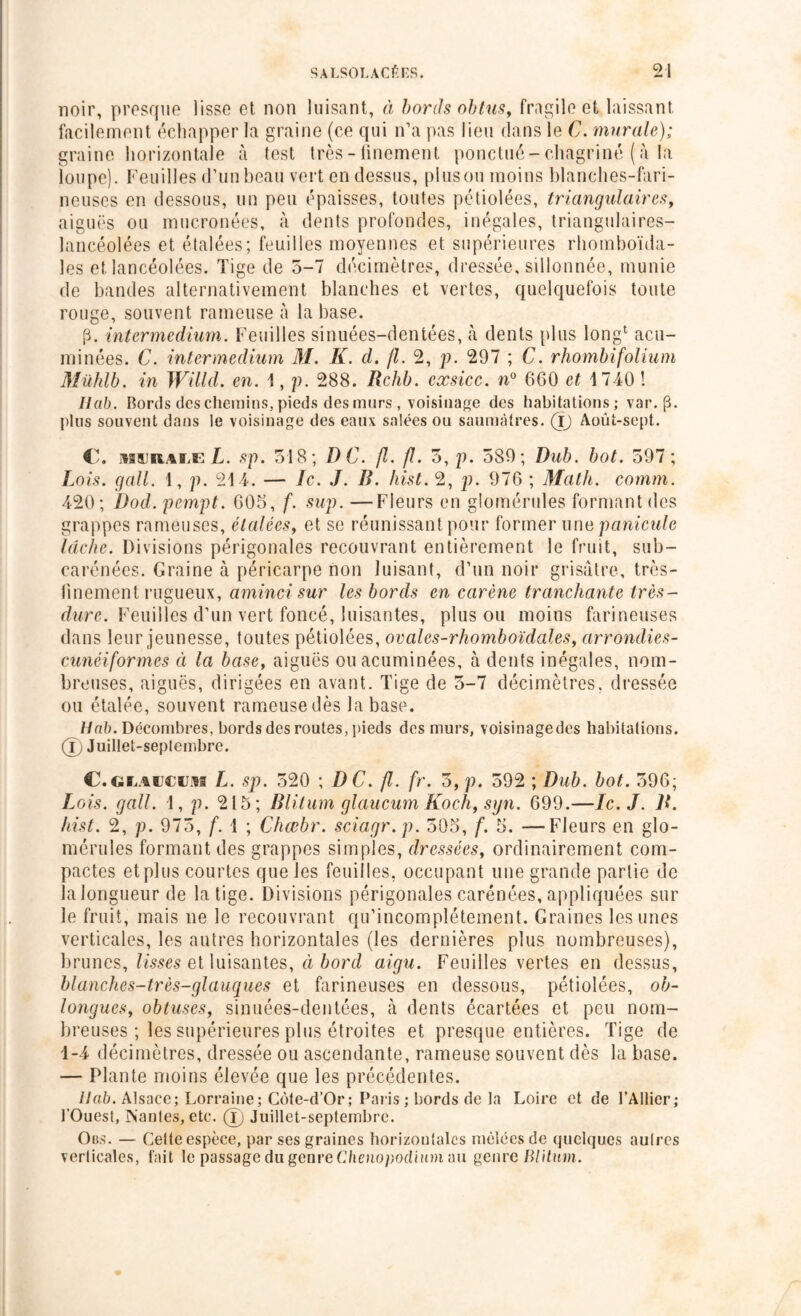 noir, presque lisse et non luisant, à bords obtus, fragile et laissant facilement échapper la graine (ce qui n’a pas lieu dans le C. murale); graine horizontale à test très - finement ponctué-chagriné ( à la loupe). Feuilles d’un beau vert en dessus, pinson moins blanches-fari- neuses en dessous, un peu épaisses, toutes pétiolées, triangulaires, aiguës ou mucronées, à dents profondes, inégales, triangulaires- lancéolées et étalées; feuilles moyennes et supérieures rhomboïda- les et lancéolées. Tige de 5-7 décimètres, dressée, sillonnée, munie de bandes alternativement blanches et vertes, quelquefois toute rouge, souvent rameuse à la base. p. intermedium. Feuilles sinuées-dentées, à dents {dus long1 acu- minées. C. intermedium M. K. d. fl. 2, p. 297 ; C. rhombifolium Mühlb. in Willd. en. 1, p. 288. Rchb. exsicc. n° 660 et 1740 ! Ilab. Bords des chemins, pieds des murs , voisinage des habitations; var. (3. plus souvent dans le voisinage des eaux salées ou saumâtres. (J) Aoùt-sept. C. miiRALE L. sp. 518; D C. Jl. fl. 5, p. 589; Dub. bot. 597 ; Lois, g ail. 1, p. 214. — le. J. B. liist. 2, p. 976 ; Math. comm. 420; Dod. pempt. 605, f. sup. —Fleurs en glomérules formant des grappes rameuses, étalées, et se réunissant pour former une particule lâche. Divisions périgonales recouvrant entièrement le fruit, sub- carénées. Graine à péricarpe non luisant, d’un noir grisâtre, très- finement rugueux, aminci sur les bords en carène tranchante très- dure. Feuilles d’un vert foncé, luisantes, plus ou moins farineuses dans leur jeunesse, toutes pétiolées, ovales-rhomboïdales, arrondies- cunéiformes à la base, aiguës ouacuminées, à dents inégales, nom- breuses, aiguës, dirigées en avant. Tige de 5-7 décimètres, dressée ou étalée, souvent rameuse dès la base. Hab. Décombres, bords des routes, pieds des murs, voisinagedes habitations. (Ii Juillet-septembre. C.cuiaw L. sp. 520 ; DC. fl. fr. 5,p. 592 ; Dub. bot. 596; [.ois. g ail. 1, p. 215; Blitum glaucum Koch, syn. 699.—le. J. B. hist. 2, p. 975, f. 1 ; Chœbr. sciagr. p. 505, f. 5. —Fleurs en glo- mérules formant des grappes simples, dressées, ordinairement com- pactes et plus courtes que les feuilles, occupant une grande partie de lalongueurde la tige. Divisions périgonales carénées, appliquées sur le fruit, mais ne le recouvrant qu’incornplétement. Graines les unes verticales, les autres horizontales (les dernières plus nombreuses), brunes, lisses et luisantes, à bord aigu. Feuilles vertes en dessus, blanches-très-glauques et farineuses en dessous, pétiolées, ob- longues, obtuses, sinuées-dentées, à dents écartées et peu nom- breuses ; les supérieures plus étroites et presque entières. Tige de 1-4 décimètres, dressée ou ascendante, rameuse souvent dès la base. — Plante moins élevée que les précédentes. Uab. Alsace; Lorraine; Côte-d’Or; Paris ; bords de la Loire et de l’Ailier; l’Ouest, Nantes, etc. (ij Juillet-septembre. Obs. — Cette espèce, par ses graines horizoufales mêlées de quelques aulres verticales, fait le passage du genre Chenopodium au genre Blitum.