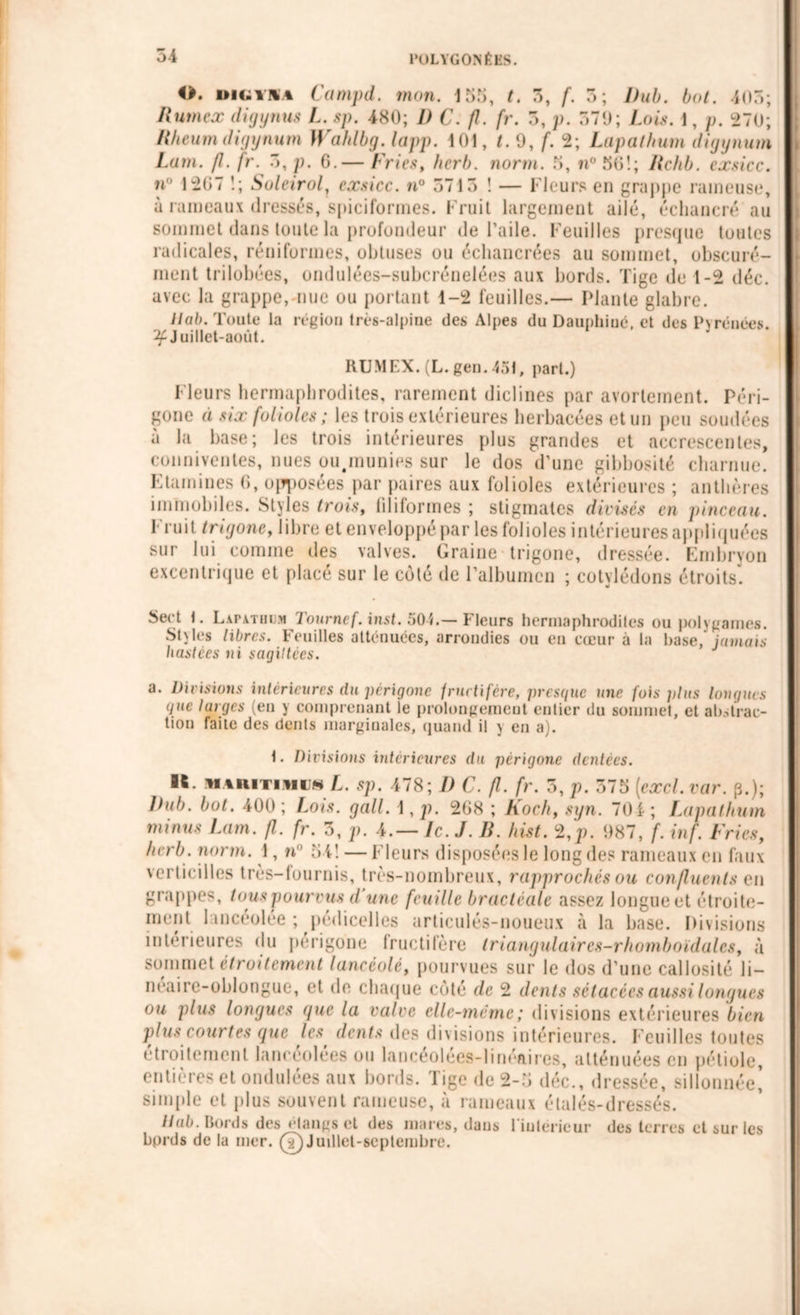 O. DiGVNt Campd. mon. 155, t. 5, f. 5; Dub. bot. 405; Ilutnex digynus L. sp. 480; 1) C. fl. fr. 5, p. 579 ; Lois. 1, p. 270; Rhtum digynum Wahlbg. lapp. 101, t. 9, f. 2; Lapai hum digynum Lam. fl. fr. 5, p. G.— Fries, herb. norm. 5, n° 5G!; lichb. exsicc. n° 12G7 !; Soleirol, eæsicc. n° 5715 ! — Fleurs en grappe rameuse, à rameaux dressés, spiciformes. Fruit largement ailé, échancré au sommet dans toute la profondeur de l’aile. Feuilles presque toutes radicales, réuiformes, obtuses ou échancrées au sommet, obscuré- ment trilobées, ondulées-subcrénelées aux bords. Tige de 1-2 déc. avec la grappe, nue ou portant 1-2 feuilles.— Plante glabre. Hab. Toute la région très-alpine des Alpes du Dauphiné, et des Pyrénées. ^Juillet-août. RUMEX. (L. gen. 451, part.) Fleurs hermaphrodites, rarement diclines par avortement. Péri- gone à six folioles; les trois extérieures herbacées et un peu soudées à la base; les trois intérieures plus grandes et accrescentes, commentes, nues ou.munies sur le dos d’une gibbosité charnue. Etamines 6, opposées par paires aux folioles extérieures ; anthères immobiles. Styles trois, filiformes ; stigmates divisés en pinceau. Fruit trigone, libre et enveloppé par les folioles intérieures appliquées sur lui comme des valves. Graine trigone, dressée. Embryon excentrique et placé sur le coté de l’albumen ; cotylédons étroits. Sert 1. Lapatiicm Tournef. inst. 504.— Fleurs hermaphrodites ou polygames. St\les libres. Feuilles atténuées, arrondies ou en cœur à la base, jamais hastées ni sagittées. a. Divisions intérieures du périgone fructifère, presque une fois plus longues gué lurges (en y comprenant le prolongement entier du sommet, et abstrac- tion faite des dents marginales, quand il y en a). t. Divisions intérieures du périgone dentées. ■ï. maritime18 I. sp. 478; D C. fl. fr. 5, p. 575 (excl.var. p.); lhib. bot. 400 ; Lois, g ail. 1, p. 2G8 ; Koch, syn. 704 ; Lapathnm minus Lam. fl. fr. 3, p. 4.— Ic. J. R. hist. 2,p. 987, f. inf. Fries, herb. norm. 1, n° 54! — Fleurs disposées le long des rameaux en faux vertici 1 les très-fournis, très-nombreux, rapprochés ou confluents en grappes, tous pourvus d une feuille bractéale assez longue et étroite- ment lancéolée ; pédicelles articulés-noueux à la base. Divisions intérieures du perigone fructifère Iriangulaires-rhomboïdales, à sommet étroitement lancéolé, pourvues sur le dos d’une callosité li- neaii c-oblongue, et de chaque cote de 2 dents sétacées aussi longues ou plus longues que la valve elle-même ; divisions extérieures bien plus courtes que les, dents des divisions intérieures. Feuilles toutes étroitement lancéolées ou lancéolees-linéaires, atténuées en pétiole, entières et ondulées aux bords. Tige de 2-5 déc., dressée, sillonnée! simple et plus souvent rameuse, à rameaux élalés-dressés. Hab. Bords des étangs et des mares, dans riulerieur des terres et sur les bprds de la mer. (?) Juillet-septembre.