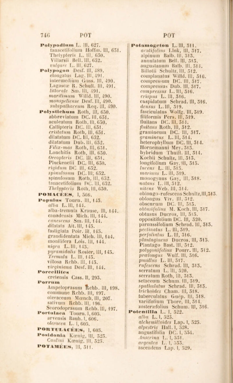 Polypodium L. 111, 627. tauacelifolium Hoffm. 111, 031. Theljpteris L. 111, 630. Villarsii Bell. 111, 632. vulgarc L. III, 627. Polypogon Desf. 111, 489. elongatus Lag. 111,491. inlermedium (iuss. 111, 490. Lagascæ K. Schult. III, 491. littorale Sm. III, 491. maritimum Willd. III, 490. monspeliense Desf. III, 490. subspalhaceum Req. 111, 490. PolyNtleliuin Rolh, III, 630. abbreyiatum DC. 111,631. actileatum Roth, 111,630. Callipteris DC. III, 631. cristatum Roth, 111, 631. dilatation DC. lll, 632. dilatatum Dub. 111, 632. Filix-mas Roth, lll, 631. Lonchitis Roth, lll, 630. Oreopteris DC. lll, 631. Phickenctii DC. III, 630. rlgidum DC lll, 652. spinulnsam DC. lll; 632. spinnlosum Roth, lll, 632. tanacetifolium DC. lll, 652. Thehjpteris Roth, lll, 630. i>ouui;E8, 1,566. PopuliiM Tourn. lll, 143. all/a L. lll, 144. alba-tremula Krause, lll, 144. canadensis Midi, lll, 144. ranesrens Sm. lll, 144. dilatala Ait. lll, 143. fastigiala Poir. Ml, 145. grandidentata Midi, lll, 144. monilifera Lois, lll, 144. nigra L. lll, 145. pgramidalis Rosier, lll, 145. Tremula L. 111,145. villosa Rchb. lll, 143. virginiana Desf. lll, 144. PoreelIltCM crelensis Cass. Il, 293. Porrmn Ampeloprasum ftchb. lll, 198. commune Rchb. lll, 197. oleraceum Mœncb, lll, 207. salivum Rchb. lll, 196. Scorodoprasum Rchb. lll, 197. Portulnca Tourn. 1,605. arvensis Bauh. 1,606. oleracca L. I, 605. PORTI'UfÉES, 1, 605. PoNifionia Kœnig, lll, 525. Caitlini Kcrnig, lll, 325. POTAMKKN, lll, 31 I. Potumogeton L. lll, 51 I. aeulijolins I.lnk, lll, 317. alpinum Bail), lll, 513. auuulatum Bell. III, 313. augustanum Balb. lll, 51 {. Billotii Schullz, lll, 512. complanalus Willd. lll, 316. compresNurn DC. lll, 517. compressas Dub. lll, 317. compressas L. lll, 516. crispas L. lll, 516. cuspidatum Schrad. lll, 516. de ns us L.lll, 519. fasciculatus Wolfp. 111,519. filiformis Pers. lll, 519. lluitans DC. 111,514. flaitans Roth, lll, 312. praminemn DC. lll, 517. gramincus L.lll, 514. heterophyllum DC. lll, 314. Hornemanni Mey. 515. h>bridum Thuill. lll, 514. Kochii Schultz, 111,313. longifolium Gay, lll, 315. lacens L. lll, 315. marinas L.lll, 519. monopvnus (in), 111,318. notons L.lll, 512. nilcns Web. 111,314. oblonpo-rufescens Schullz,lll,515. obloupus Viv. lll, 512. obscurum DC. lll, 315. obtasifoUns M. Koch, lll, 317. obtusus Ducros, lll, 515. oppositifolium DC. lll, 520. parnassifolium Schrad. 111,313. pectinalus L. lll, 519. perjolialas L.lll, 316. jilantagineus Ducros, lll, 315. Plantago Bast. lll, 512. polygonifolius Pourr. lll, 312. prœlongus Wulf. lll, 516. pasillas L. III, 317. rufesccns Schrad. lll, 515. serratum L. lll, 520. serratum Rolh, lll, 515. setaceum Schum. lll, 519. spathulatus Schrad. lll, 513. triclwides Cham. 111,518. tuberculatus Guép. lll, 518. variifolium Thore, 111,314. zosleræfoliiis Schum. lll, 516. Potcntllla L. I, 522. alba L. 1, 523. alchemilloides Lap. I, 525. alpcstris Ilall. I, 528. aupuslifolia DC. I, 554. Anscrina L. 1,551. argcntea L. I, 535. ascendens Lap. I, 529.
