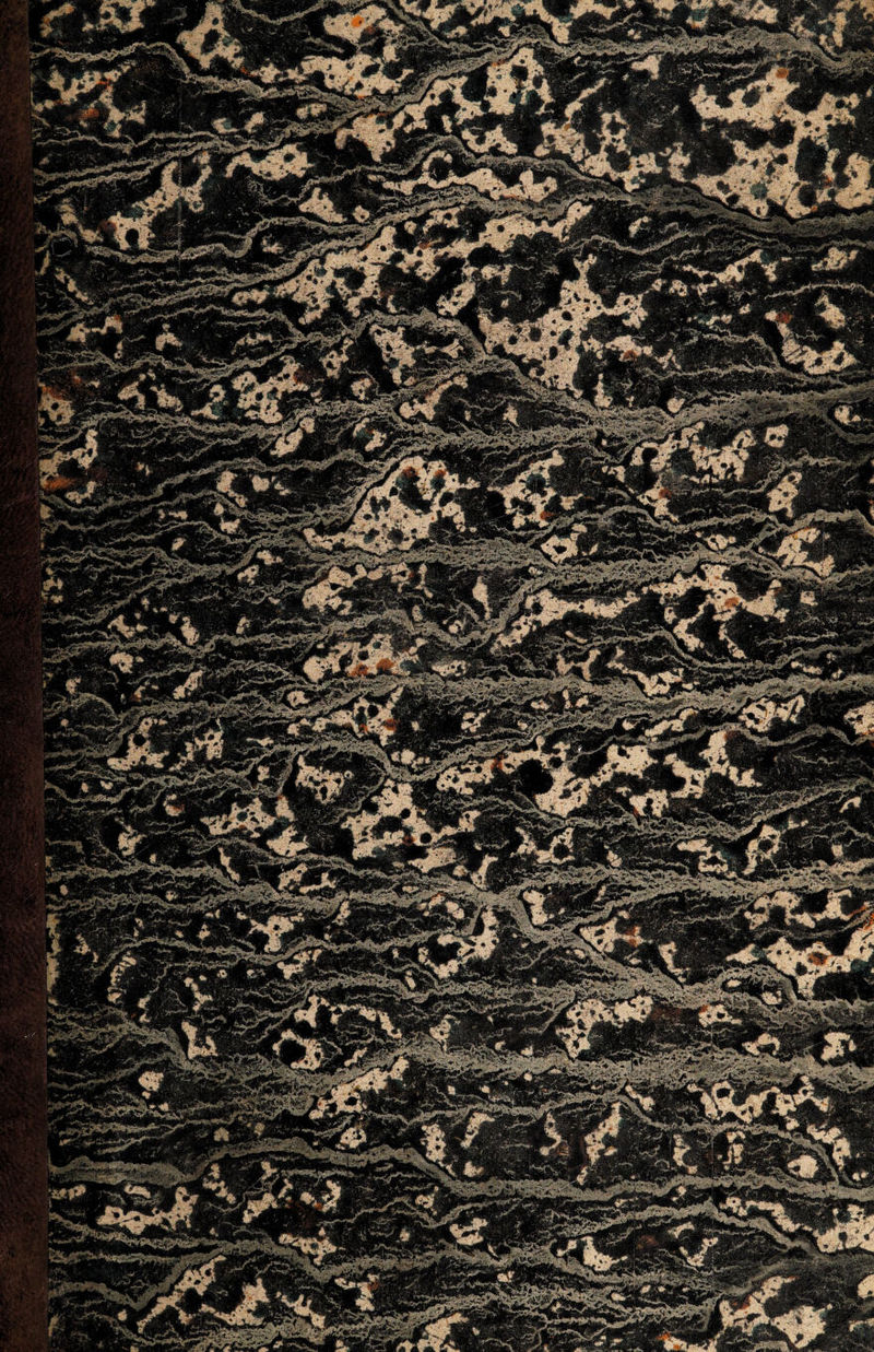 jÉuyiflIfejjí^yÉÍ j^, '^^^iik'^JUliMr* 4 -w iir jK^IÉ ^[■f ^■ »i -A ' ' ; t . -Él^Wi A ki JKCt- .^-T^ w^mm■-■: . -mESMlÉuSm m 1^^ mnj^M «' ■./ áÉIÉb SGSHI^nTv^'^^^^BHH9|^M