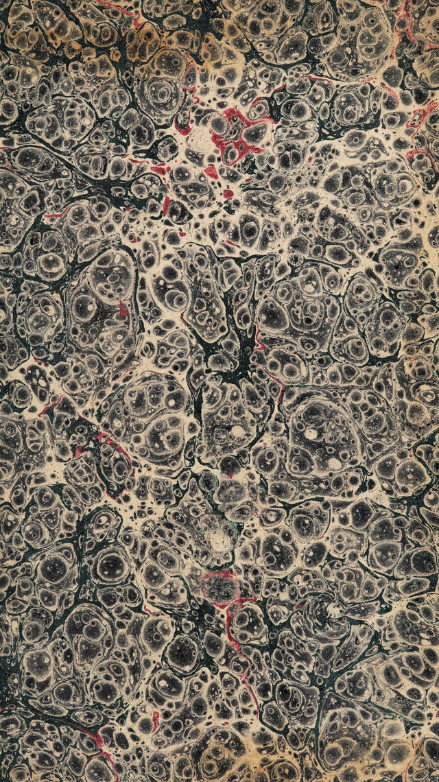 No text description is available for this image