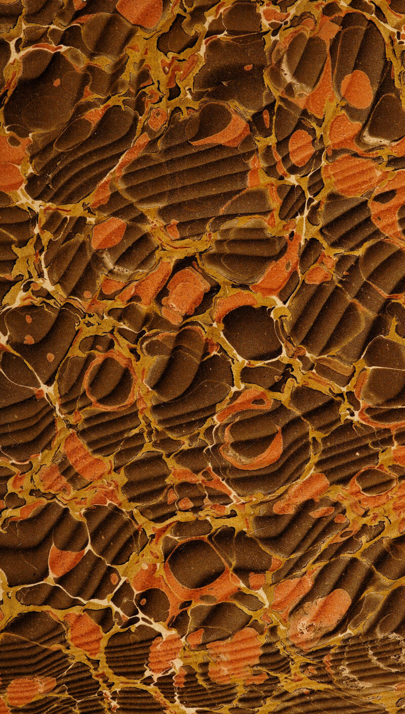 No text description is available for this image