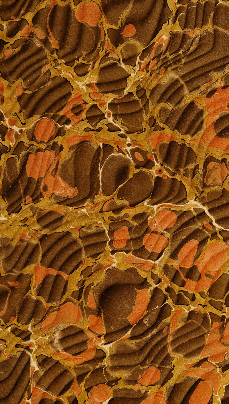 ■Kj# ' ^ ^^■pr. mryoHlilBS 'I't'^^Bytf'