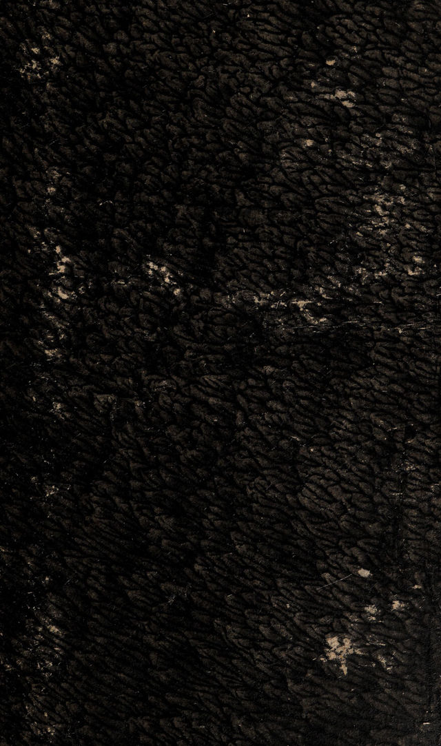 digitised image 1