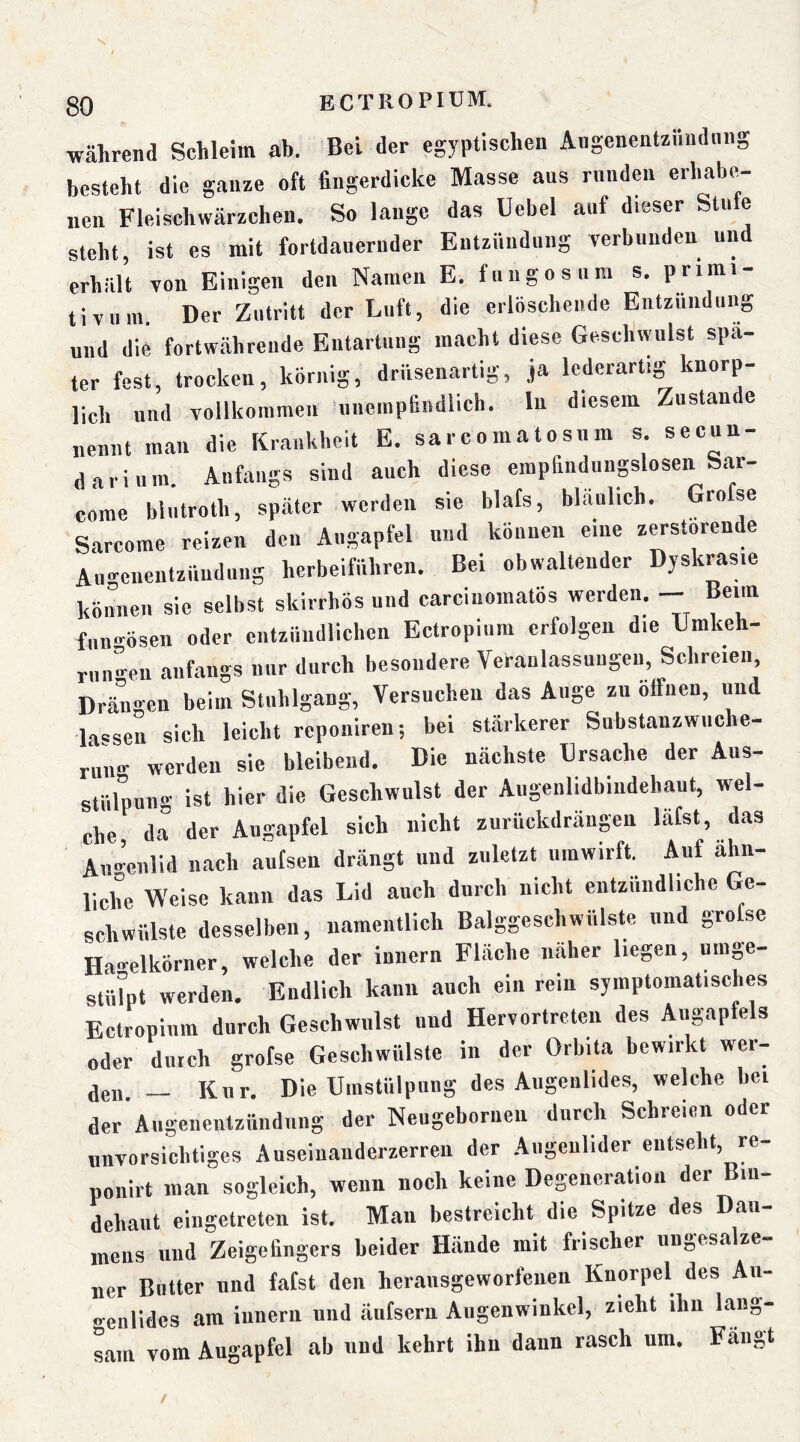 ‘S während Schleim ab. Bel der egyptischen Augenentzündiini besteht die ganze oft fingerdicke Masse aus rnndeu erhabe^- nen Fleischwärzchen. So lange das Uebel auf dieser Stute steht, ist es mit fortdauernder Entzündung Terbuuden und erhält von Einigen den Namen B. fungosura s. primi- tiv um. Der Zutritt der Luft, die erlöschende Eutziindung und die fortwährende Entartung macht diese Geschwulst spa- ter fest, trocken, körnig, driisenartig, ja lederartig knorp- lich und vollkommen ’unempfindlich. ln diesem Zustan e nennt man die Krankheit E. sarcomatosum s. secun- dariiim Anfangs sind auch diese empfindungslosen Sar- corae bliitroth, später werden sie blats, bläulich. Grofse Sarcome reizen den Augapfel und können eine zerstörende Augenentzündung herbeiführen. Bei obwaltender Dyskrasie können sie selbst skirrhös und carcinoinatös werden, — Beim fnn<-ösen oder eiitziiiidlichen Ectropium erfolgen die Lmkeh- rnn-en anfangs nur durch besondere Veranlassungen, Schreien, Drängen beim Stuhlgang, Versuchen das Auge zn ötfiien, und lassen sich leicht reponiren; bei stärkerer Substanzwiiche- run«- werden sie bleibend. Die nächste Ursache der Aus- stülpung ist hier die Geschwulst der Augenlidbindebaut, wel- che ia der Augapfel sich nicht zurückdrängen läfst, das Au-enlid nach autsen drängt und zuletzt iimwirft. Auf ähn- liche Weise kann das Lid auch durch nicht entzündliche Ge- schwülste desselben, namentlich Balggeschwülste und gro se Ha-elkörner, welche der Innern Fläche näher liegen, umge- stiBpt werden. Endlich kann auch ein rein symptomatisches Ectropium durch Geschwulst und Hervortreten des Augapfels oder durch grofse Geschwülste in der Orbita bewirkt wer- aen — Kur. Die Umstülpung des Augenlides, welche bei der'Augenentzündiing der Neugebornen durch Schreien oder unvorsichtiges Auseinanderzerren der Augenlider entseht, re- ponirt man sogleich, wenn noch keine Degeneration der Bin- dehaut eingetreten ist. Man bestreicht die Spitze des Dau- mens und Zeigefingers beider Hände mit frischer ungesalze- ner Butter und fafst den herausgeworfenen Knorpel des An- o-enlides am iunerii und äiifsern Augenwinkel, zieht ihn lang- sam vom Augapfel ah und kehrt ihn dann rasch um. Fängt