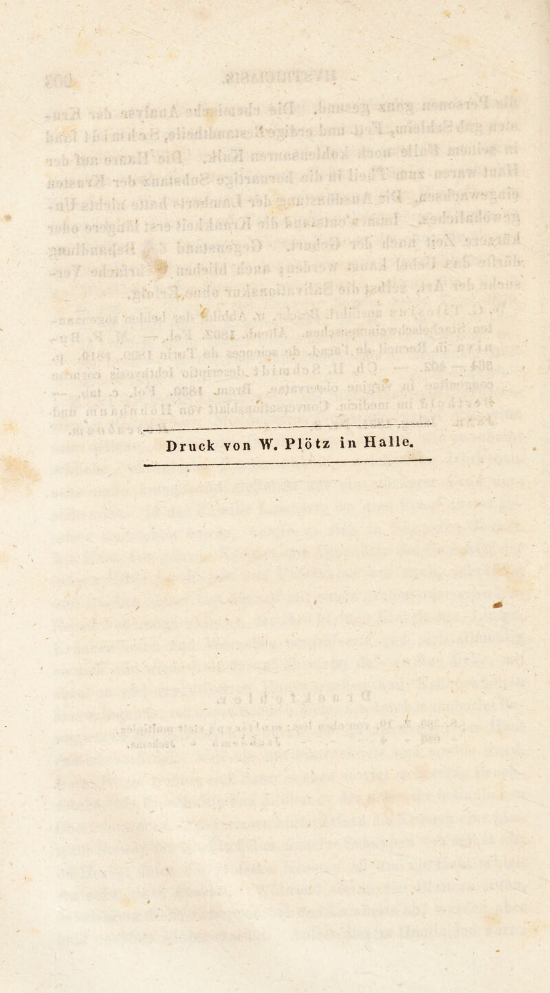 Druck von W. Plötz in Halle.