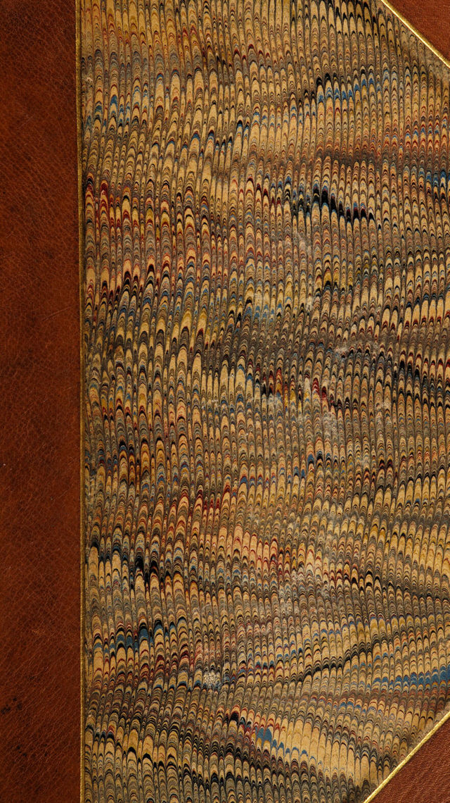 No text description is available for this image