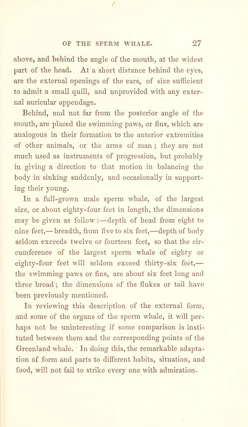 above, and behind the angle of the mouth, at the widest part of the head. At a short distance behind the eyes, are the external openings of the ears, of size sufficient to admit a small quill, and unprovided with any exter- nal auricular appendage. Behind, and not far from the posterior angle of the mouth, are placed the swimming paws, or fins, which are analogous in their formation to the anterior extremities of other animals, or the arms of man ; they are not much used as instruments of progression, but probably in giving a direction to that motion in balancing the body in sinking suddenly, and occasionally in support- ing their young. In a full-grown male sperm whale, of the largest size, or about eighty-four feet in length, the dimensions may be given as follow :—depth of head from eight to nine feet,—breadth, from five to six feet,—depth of body seldom exceeds twelve or fourteen feet, so that the cir- cumference of the largest sperm whale of eighty or eighty-four feet will seldom exceed thirty-six feet,— the swimming paws or fins, are about six feet long and three broad; the dimensions of the flukes or tail have been previously mentioned. In reviewing this description of the external form, and some of the organs of the sperm whale, it will per- haps not be uninteresting if some comparison is insti- tuted between them and the corresponding points of the Greenland whale. In doing this, the remarkable adapta- tion of form and parts to different habits, situation, and food, will not fail to strike every one with admiration.