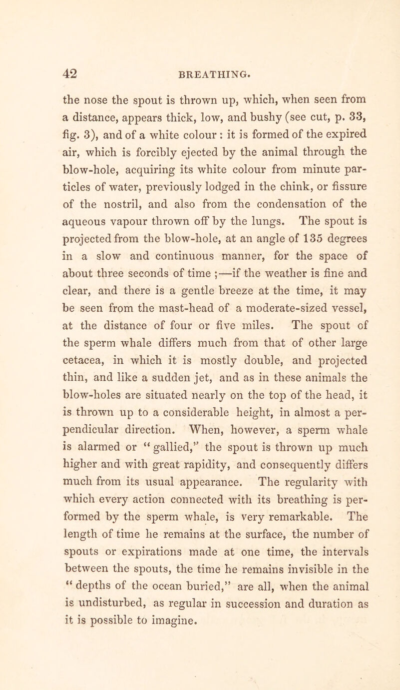 the nose the spout is thrown up, which, when seen from a distance, appears thick, low, and bushy (see cut, p. 33, fig. 3), and of a white colour : it is formed of the expired air, which is forcibly ejected by the animal through the blow-hole, acquiring its white colour from minute par- ticles of water, previously lodged in the chink, or fissure of the nostril, and also from the condensation of the aqueous vapour thrown off by the lungs. The spout is projected from the blow-hole, at an angle of 135 degrees in a slow and continuous manner, for the space of about three seconds of time ;—if the weather is fine and clear, and there is a gentle breeze at the time, it may be seen from the mast-head of a moderate-sized vessel, at the distance of four or five miles. The spout of the sperm whale differs much from that of other large cetacea, in which it is mostly double, and projected thin, and like a sudden jet, and as in these animals the blow-holes are situated nearly on the top of the head, it is thrown up to a considerable height, in almost a per- pendicular direction. When, however, a sperm whale is alarmed or “ gallied,’’ the spout is thrown up much higher and with great rapidity, and consequently differs much from its usual appearance. The regularity with which every action connected with its breathing is per- formed by the sperm whale, is very remarkable. The length of time he remains at the surface, the number of spouts or expirations made at one time, the intervals between the spouts, the time he remains invisible in the “ depths of the ocean buried,” are all, when the animal is undisturbed, as regular in succession and duration as it is possible to imagine.