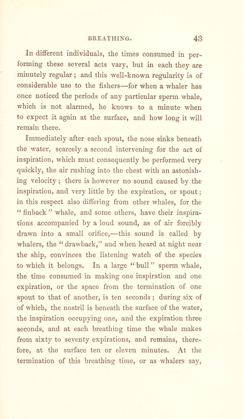 In different individuals, the times consumed in per- forming these several acts vary, but in each they are minutely regular; and this well-known regularity is of considerable use to the fishers—for when a whaler has once noticed the periods of any particular sperm whale, which is not alarmed, he knows to a minute when to expect it again at the surface, and how long it will remain there. Immediately after each spout, the nose sinks beneath the water, scarcely a second intervening for the act of inspiration, which must consequently be performed very quickly, the air rushing into the chest with an astonish- ing velocity; there is however no sound caused by the inspiration, and very little by the expiration, or spout; in this respect also differing from other whales, for the “ finback ” whale, and some others, have their inspira- tions accompanied by a loud sound, as of air forcibly drawn into a small orifice,—this sound is called by whalers, the “ drawback,” and when heard at night near the ship, convinces the listening watch of the species to which it belongs. In a large “ bull ” sperm whale, the time consumed in making one inspiration and one expiration, or the space from the termination of one spout to that of another, is ten seconds ; during six of of which, the nostril is beneath the surface of the water, the inspiration occupying one, and the expiration three seconds, and at each breathing time the whale makes from sixty to seventy expirations, and remains, there- fore, at the surface ten or eleven minutes. At the termination of this breathing time, or as whalers say,