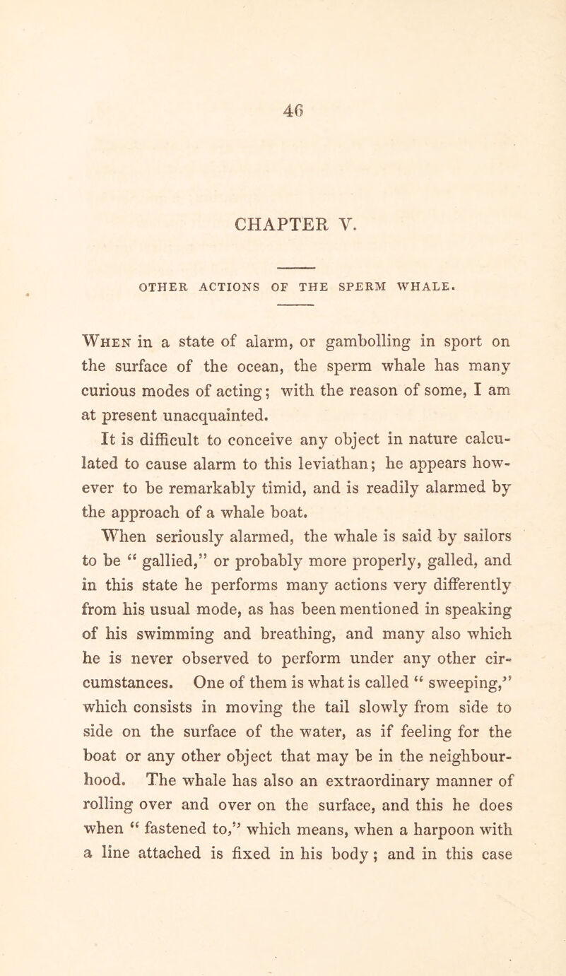 CHAPTER V. OTHER ACTIONS OF THE SPERM WHALE. When in a state of alarm, or gambolling in sport on the surface of the ocean, the sperm whale has many curious modes of acting; with the reason of some, I am at present unacquainted. It is difficult to conceive any object in nature calcu- lated to cause alarm to this leviathan; he appears how- ever to be remarkably timid, and is readily alarmed by the approach of a whale boat. When seriously alarmed, the whale is said by sailors to be “ gallied,” or probably more properly, galled, and in this state he performs many actions very differently from his usual mode, as has been mentioned in speaking of his swimming and breathing, and many also which he is never observed to perform under any other cir- cumstances. One of them is what is called “ sweeping,^’ which consists in moving the tail slowly from side to side on the surface of the water, as if feeling for the boat or any other object that may be in the neighbour- hood. The whale has also an extraordinary manner of rolling over and over on the surface, and this he does when “ fastened to,’^ which means, when a harpoon with a line attached is fixed in his body; and in this case