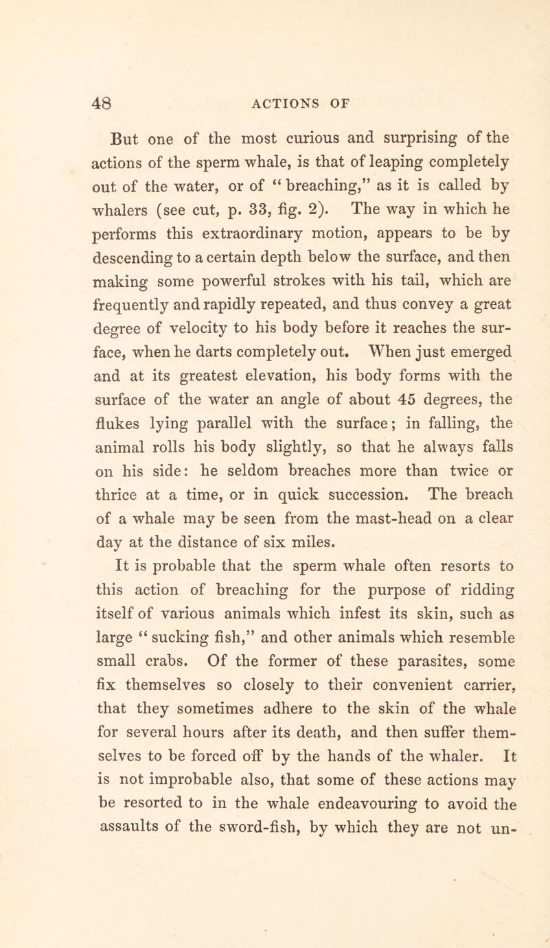 But one of the most curious and surprising of the actions of the sperm whale, is that of leaping completely out of the water, or of “ breaching,” as it is called by whalers (see cut, p. 33, fig. 2). The way in which he performs this extraordinary motion, appears to be by descending to a certain depth below the surface, and then making some powerful strokes with his tail, which are frequently and rapidly repeated, and thus convey a great degree of velocity to his body before it reaches the sur- face, when he darts completely out. When just emerged and at its greatest elevation, his body forms with the surface of the water an angle of about 45 degrees, the flukes lying parallel with the surface; in falling, the animal rolls his body slightly, so that he always falls on his side: he seldom breaches more than twice or thrice at a time, or in quick succession. The breach of a whale may be seen from the mast-head on a clear day at the distance of six miles. It is probable that the sperm whale often resorts to this action of breaching for the purpose of ridding itself of various animals which infest its skin, such as large “ sucking fish,” and other animals which resemble small crabs. Of the former of these parasites, some fix themselves so closely to their convenient carrier, that they sometimes adhere to the skin of the whale for several hours after its death, and then suffer them- selves to be forced off by the hands of the whaler. It is not improbable also, that some of these actions may be resorted to in the whale endeavouring to avoid the assaults of the sword-fish, by which they are not un-