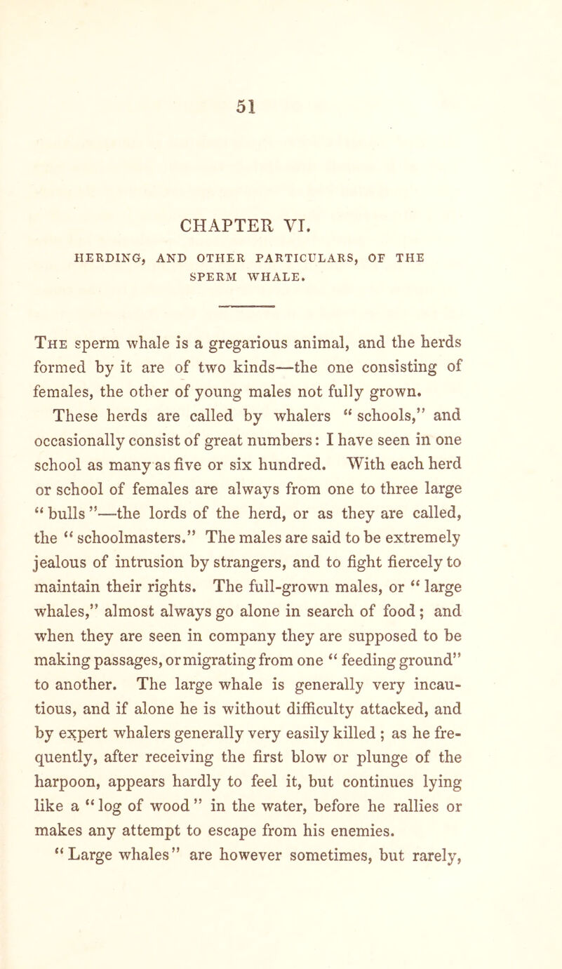 CHAPTER VI. HERDING, AND OTHER PARTICULARS, OF THE SPERM WHALE. The sperm whale is a gregarious animal, and the herds formed by it are of two kinds—the one consisting of females, the other of young males not fully grown. These herds are called by whalers “ schools,” and occasionally consist of great numbers: I have seen in one school as many as five or six hundred. With each herd or school of females are always from one to three large “ bulls ”—the lords of the herd, or as they are called, the “ schoolmasters.” The males are said to be extremely jealous of intrusion by strangers, and to fight fiercely to maintain their rights. The full-grown males, or “ large whales,” almost always go alone in search of food; and when they are seen in company they are supposed to be making passages, or migrating from one “ feeding ground” to another. The large whale is generally very incau- tious, and if alone he is without difficulty attacked, and by expert whalers generally very easily killed ; as he fre- quently, after receiving the first blow or plunge of the harpoon, appears hardly to feel it, but continues lying like a “ log of wood ” in the water, before he rallies or makes any attempt to escape from his enemies. “Large whales” are however sometimes, but rarely.