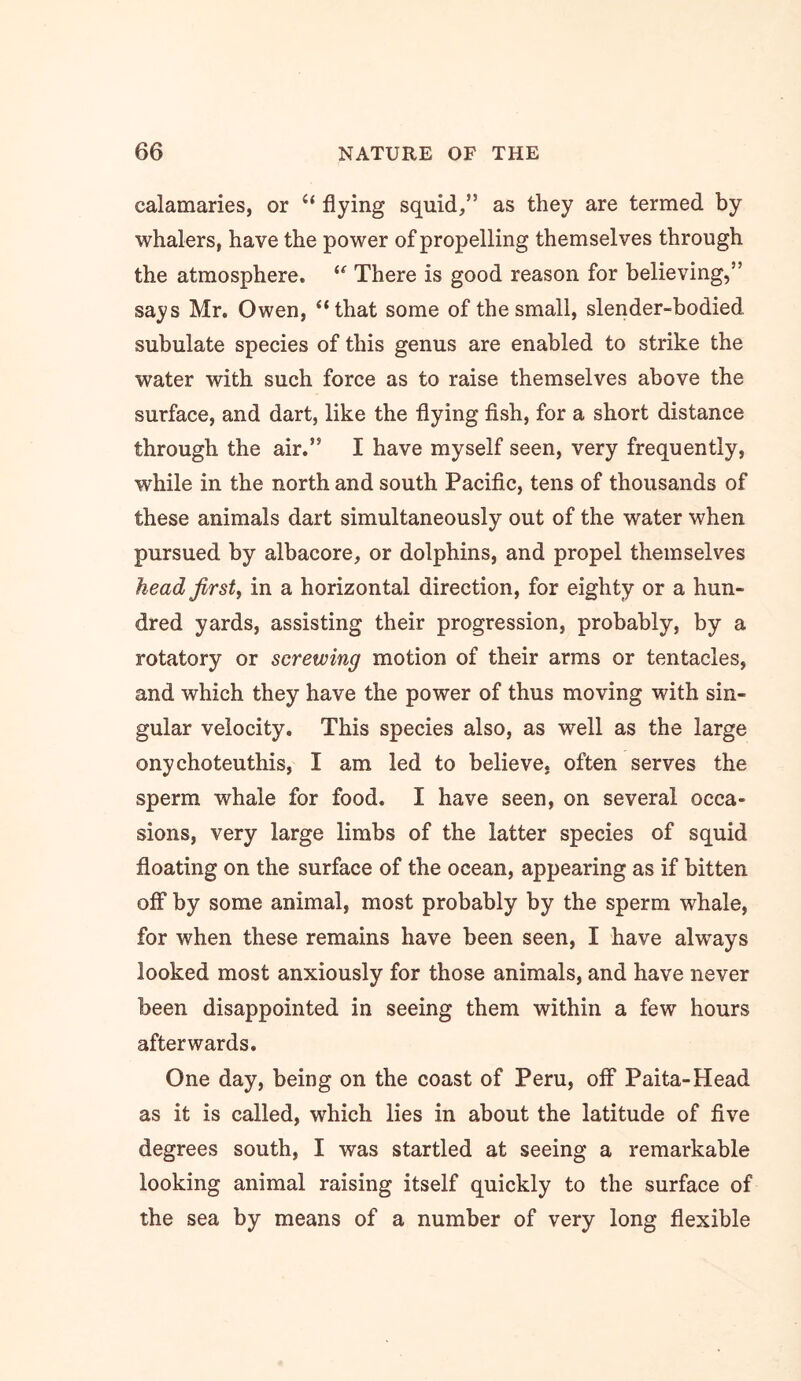 calamaries, or ‘‘ flying squid,” as they are termed by whalers, have the power of propelling themselves through the atmosphere. There is good reason for believing,” says Mr. Owen, “that some of the small, slender-bodied subulate species of this genus are enabled to strike the water with such force as to raise themselves above the surface, and dart, like the flying fish, for a short distance through the air.” I have myself seen, very frequently, while in the north and south Pacific, tens of thousands of these animals dart simultaneously out of the water when pursued by albacore, or dolphins, and propel themselves headjirsty in a horizontal direction, for eighty or a hun- dred yards, assisting their progression, probably, by a rotatory or screwing motion of their arms or tentacles, and which they have the power of thus moving with sin- gular velocity. This species also, as well as the large onychoteuthis, I am led to believe, often serves the sperm whale for food. I have seen, on several occa- sions, very large limbs of the latter species of squid floating on the surface of the ocean, appearing as if bitten off by some animal, most probably by the sperm whale, for when these remains have been seen, I have always looked most anxiously for those animals, and have never been disappointed in seeing them within a few hours afterwards. One day, being on the coast of Peru, off Paita-Head as it is called, which lies in about the latitude of five degrees south, I was startled at seeing a remarkable looking animal raising itself quickly to the surface of the sea by means of a number of very long flexible
