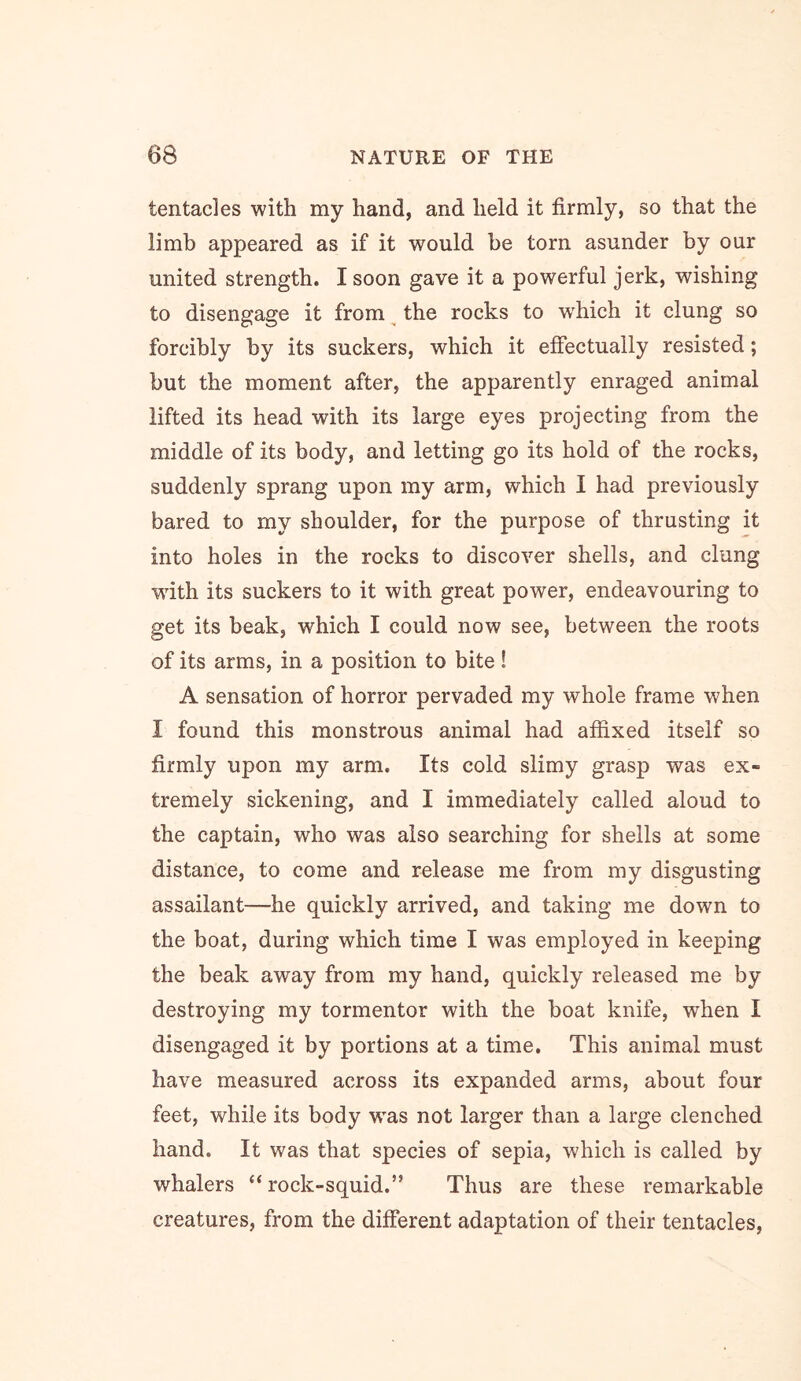 tentacles with my hand, and held it firmly, so that the limb appeared as if it would he torn asunder by our united strength. I soon gave it a powerful jerk, wishing to disengage it from ^ the rocks to w'hich it clung so forcibly by its suckers, which it effectually resisted; but the moment after, the apparently enraged animal lifted its head with its large eyes projecting from the middle of its body, and letting go its hold of the rocks, suddenly sprang upon my arm, which I had previously bared to my shoulder, for the purpose of thrusting it into holes in the rocks to discover shells, and clung wdth its suckers to it with great power, endeavouring to get its beak, which I could now see, between the roots of its arms, in a position to bite! A sensation of horror pervaded my whole frame when I found this monstrous animal had affixed itself so firmly upon my arm. Its cold slimy grasp was ex- tremely sickening, and I immediately called aloud to the captain, who was also searching for shells at some distance, to come and release me from my disgusting assailant—he quickly arrived, and taking me down to the boat, during which time I was employed in keeping the beak away from my hand, quickly released me by destroying my tormentor with the boat knife, when I disengaged it by portions at a time. This animal must have measured across its expanded arms, about four feet, while its body w^as not larger than a large clenched hand. It was that species of sepia, which is called by whalers “ rock-squid.” Thus are these remarkable creatures, from the different adaptation of their tentacles.