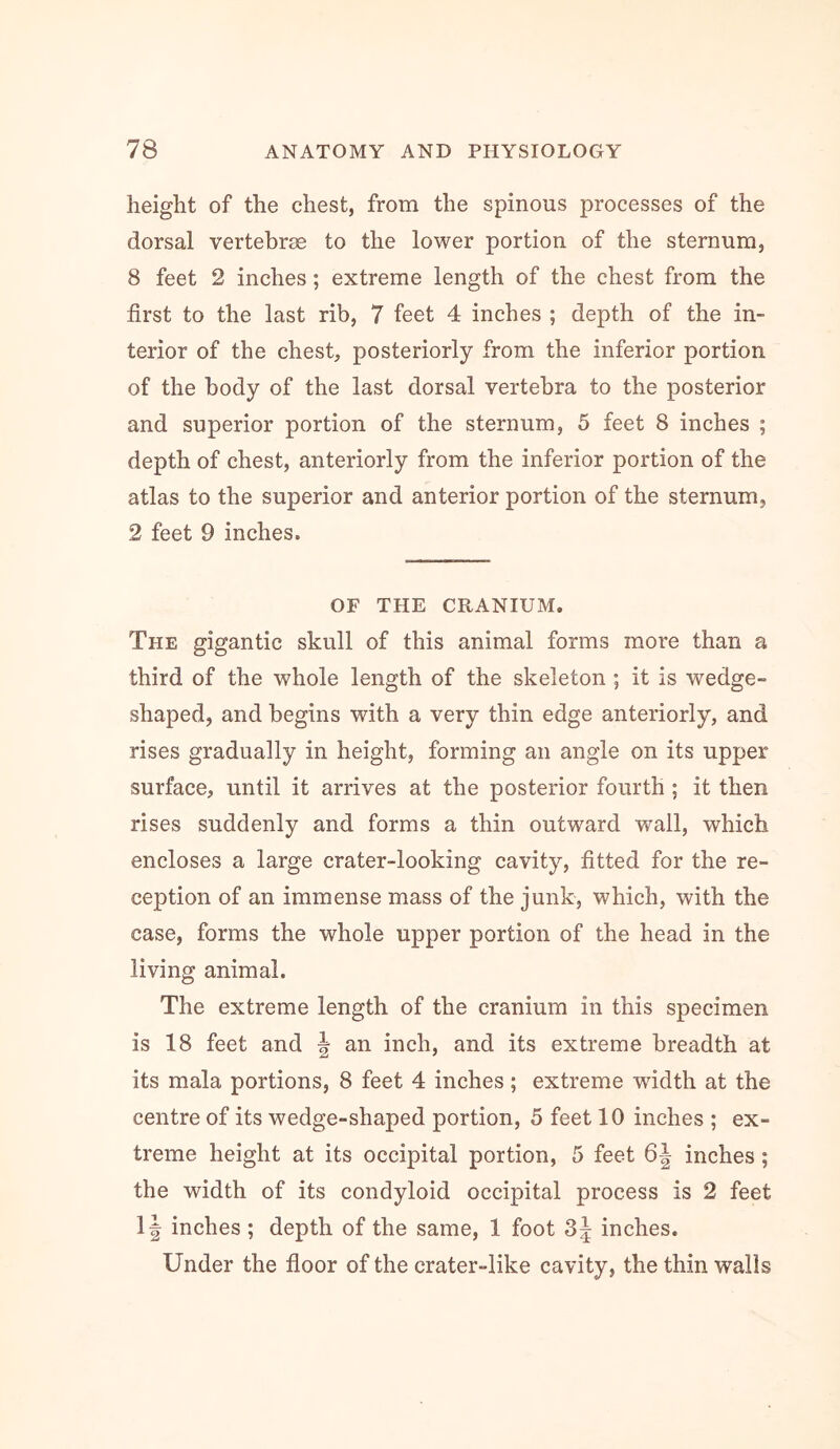 height of the chest, from the spinous processes of the dorsal vertebrae to the lower portion of the sternum, 8 feet 2 inches; extreme length of the chest from the first to the last rib, 7 feet 4 inches ; depth of the in- terior of the chest, posteriorly from the inferior portion of the body of the last dorsal vertebra to the posterior and superior portion of the sternum, 5 feet 8 inches ; depth of chest, anteriorly from the inferior portion of the atlas to the superior and anterior portion of the sternum, 2 feet 9 inches. OF THE CRANIUM. The gigantic skull of this animal forms more than a third of the whole length of the skeleton ; it is wedge- shaped, and begins wdth a very thin edge anteriorly, and rises gradually in height, forming an angle on its upper surface, until it arrives at the posterior fourth ; it then rises suddenly and forms a thin outward wall, which encloses a large crater-looking cavity, fitted for the re- ception of an immense mass of the junk, which, with the case, forms the whole upper portion of the head in the living animal. The extreme length of the cranium in this specimen is 18 feet and | an inch, and its extreme breadth at its mala portions, 8 feet 4 inches; extreme width at the centre of its wedge-shaped portion, 5 feet 10 inches ; ex- treme height at its occipital portion, 5 feet 6 J inches ; the width of its condyloid occipital process is 2 feet If inehes ; depth of the same, 1 foot 3^ inches. Under the floor of the crater-like cavity, the thin walls